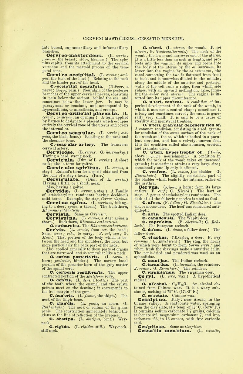 CERVICO-MASTOIDEUS—CESSATIO MENSIUM. into buccal, supramaxillary and inframaxillary branches. Cervi'co masto'i'deus. (L. cervix; yuao-To<;, the breast; eiSov, likeness.) The sple- nius capitis, from its attachment to the cervical vertebra? and the mastoid process of the tem- poral bone. Cervi'co occip ital. (L. cervix ; occi- put, the back of the head.) Relating to the neck and the hinder part of the head. C.-occip'ital neural gia. (Ntvpov, a nerve; a\yos, pain.) Neuralgia of the posterior branches of the upper cervical nerves, consisting in pain below the occiput, behind the ear, and sometimes below the lower jaw. It may be aroxysmal or constant, and accompanied by ypersesthesia, or anaesthesia, and cramps. Cervi co orinc ial placen ta. (L. cervix ; orificiwn, an opening.) A term applied by Barnes to designate a placenta which occupies entirely the cervical zone of the uterus and covers the internal os. Cervi'co scap ular. (L. cervix; sca- pula, the blade-bone?) Relating to the neck and the shoulder-bone. C.-scap'ular ar'tery. The transverse cervical artery. Cer'vicose. (L. cervix. G. hartniickig.) Having a hard, strong neck. Cervic'ula. (Dim. of L. cervix.) A short neck; also, a term for goitre. Cervic'ulae spir'itus. (L. cervus, a stag.) Ruland's term for a spirit obtained from the bone of a stag's heart. (Parr.) Cerviculate. (Dim. of L. cervix.) Having a little, or a short, neck. Also, having a goitre. Cer'vidae. (L. cervus, a stag.) A Family of artiodactylous ruminants having deciduous solid horns. Example, the stag, Cervus elaphus. Cervi'na spi'na. (L. cervinm, belong- ing to a deer; spina, a thorn.) The buckthorn, Rhamnus catharticus. Cervis'ia. Same as Cerevisia. Cervispi'na. (L. cervus, a stag; spina,a. thorn.) Buckthorn, Mhamnus catharticus. C. cathart'ica- The Rhamnuscatharticus. Cer'vix. (L. cervix, from cer, the head ; Sans, ceras; veho, to carry. F. col, cou; G. Sals.) That portion of the body which is be- tween the head and the shoulders ; the neck, but more particularly the back part of the neck. Also, applied generally to those parts of organs that are narrowed, and so somewhat like a neck. C. cor'nu posterio'ris. (L. cornu, a horn ; posterior, hinder.) The narrow basal portion of the posterior horn of the grey matter of the spinal cord. C. cor'poris restiform'is. The upper contracted portion of the Restiform body. C. den'tis. (L. dens, a tooth.) The part of the tooth where the enamel and the crusta petrosa meet on the dentine; it corresponds to the free margin of the gum. C. fern'oris. (L. femur, the thigh.) The neck of the thigh-bone. C. glan'dis. (L. glans, an acorn. G. Ruthenhals.) The neck or collum of the glans penis. The constriction immediately behind the glans at the line of reflection of the prepuce. C. obsti'pa. (L. obstipus, bent.) Wry- neck. C. rig'ida. (L. rigidus, stiff.) Wry-neck, stiff neck.. C. u'teri. (L. uterus, the womb. F. col uterin ; G. Gebiirmutterhals.) The neck of the womb ; the lower and narrower end of the uterus. It is a little less than an inch in length, and pro- jects into the vagina; its upper end opens into the body of the uterus by the os internum, its lower into the vagina by the os externum; the canal connecting the two is flattened from front to back, and is somewhat dilated in the middle ; along the middle of the anterior and posterior walls of the cell runs a ridge, from which side ridges, with an upward inclination, arise, form- ing the arbor vitce uterina. The vagina is in- serted into its upper circumference. C. u'teri, con'ical. A condition of im- perfect development of the neck of the womb, in which it assumes a conical shape; sometimes it is long and sometimes curved; the canal is gene- rally very small. It is said to be a cause of sterility and menstrual troubles. C. u'teri, gran'ular defeneration of. A common condition, consisting in a red, granu- lar condition of the outer surface of the neck of the womb and the os, which is bathed in a puru- lent secretion, and has a velvety, uneven feel. It is the condition called also abrasion, erosion, and granular ulcer. C. u'teri, hyper'trophy of. ('Xtti'p, above; Tpo<pn, nourishment.) A condition in which the neck of the womb takes on increased growth; it sometimes attains a very large size ; occasionally one lip only is affected. C. vesicae. (L. vesica, the bladder. G. Blasenhals.) The slightly constricted part of the bladder which leads to the internal orifice of the urethra. Cer'VUS, (Kipa<s, a horn; from its large antlers. F. cerf; G. Hirsch.) The hart or stag. A genus of artiodactylous ruminants. The flesh of all the following species is used as food. C. al'ces. (F. Velan ; G. Elendthier.) The elk, or moose deer. The hoof was considered anti- epileptic. C. ax'is. The spotted Indian deer. C. canaden'sis. The Wapiti deer. C. capre'olus. (F. chevreuil; G. Reh- bock.) The European roebuck. C. da'ma. (L. dama, a fallow deer.) The fallow deer. C. el'apnus. (EXa<^os, a deer. F. cerf commun; G. Edelhirsch.) The stag, the horns of which were burnt to form Cornu cervi; and when fresh the shavings make a nutritive jelly. The penis dried and powdered was used as an aphrodisiac. C. munt'jac. The Indian roebuck. C.taran'dus. (L. tarandus, the reindeer. F. renne ; G. Rennthier.) The reindeer. C. virginia'nus. The Virginian deer. Ce'ryl. (L. cera, wax.) A hypothetical radical. C. al'cohol. C27H560. An alcohol ob- tained from Chinese wax. It is a waxy sub- stance, melting at 79° C. (174-2° F.) C. ce'rotate. Chinese wax. Cesalpi'no. Italy; near Arezzo, in the Chiano Valley. A chalybeate water, springing from the clay slate, at a temp, of 17° C. (62-6° F.) It contains sodium carbonate 7'7 grains, calcium carbonate 4*2, magnesium carbonate 7, and iron carbonate '53, in 16 ounces, with free carbonic acid. Ces'pitOSe. Same as Cmspitose. Cessa'tio men'sium. (L. ccssatio, i: