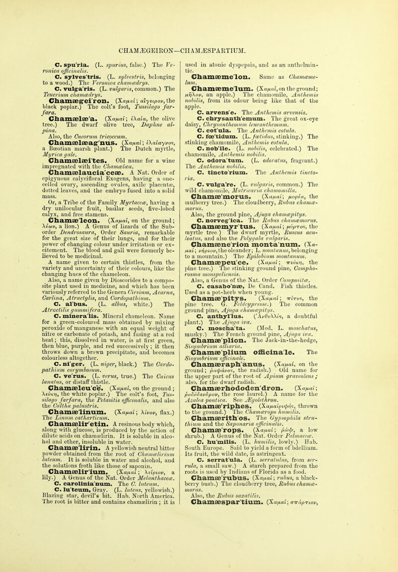CHAM^GEIKON—( CIIAMiESPARTIUM. C. spu'ria. (L. spurius, false.) The Ve- ronica ojicinuiis. C. sylves'tris. (L. sylvcstris, belonging to a wood.) The Veronica chanueclrys. C. vulg-a'ris. (L. vulgaris, common.) The Teucrium chamcedrys. ChSlinSBg'ei rOIla (^.a/iai ; alyitpov, the black poplar.) The colt's foot, Tussilago far- fara. Chamaelae'a. (Xa/iat; iXala, the olive tree.) The dwarf olive tree, Daphne al- pina. Also, the Cncoriim triepccum. Cham88l8eag''nUS. (Xafiai; iXaiayvo';, a BcEotiau marsh plant.) The Dutch myrtle, Myrica gale. ChamEelaei'tes. Old name for a wine impregnated with the Chamcelcea. Cliam8elaucia'ceae. A Nat. Order of cpigyuous calycifloral Exogens, having a one- celled ovary, ascending ovules, axile placenta;, dotted leaves, and the embryo fused into a solid mass. Or, a Tribe of the Family Myrtacece, having a dry unilocular fruit, basilar seeds, five-lobed calyx, and free stamens. Cliamae'leoili {Xafiat, on the ground; Xeoov, a Uon.) A Genus of lizards of the Sub- order Dendrosaura, Order Sauria, remarkable for the great size of their lungs, and for their power of changing colour under irritation or ex- citement. The blood and gall were formerly be- lieved to be medicinal. A name given to certain thistles, from the variety and uncertainty of their colours, like the changing hues of the chameleon. Also, a name given by Dioseorides to a compo- site plant used in medicine, and which has been variously referred to the Genera Girsium, Acarna, Carlina, Atractylis, and Cardopatlimm. C. al'bus. (L. albus, white.) The Atractilis gumnufera. C. minera'lis. Mineral chameleon. Name for a green-coloured mass obtained by mixing peroxide of manganese with an equal weight of nitre or carbonate of potash, and fusing at a red heat; this, dissolved in water, is at first green, then blue, purple, and red successively; it then throws down a brown precipitate, and becomes colourless altogether. C. ni'grer. (L. niger, black.) The Gardo- pathium corymbostan. C. ve'rus. (L. verus, true.) The Giiicus lanatus, or distaff thistle. Cliamseleu'ce. {Xanai, on the ground ; XeuKii, the white poplar.) The colt's foot, I'us- silago farfara, the Tctasitis officinalis, and also the Giilllia pabistris. Chamaelinum. {Xafxai; Xhov, flax.) The Linmn catharticum. Chamaelir'etin. A resinous body which, along with glucose, is produced by the action of dilute acids on chamiElirin. It is soluble in alco- hol and ether, insoluble in water. Chamaelirin. A yellowish neutral bitter powder obtained from the root of Chamcelirmm Inteum. It is soluble in water and alcohol, and the solutions froth like those of saponin. Cliamaelirlum. (Xa/xai; Xeipiov, a lily.) A Genus of the Nat. Order Melanthacece. C. carolinia'num. The G. luteum. C. lu'teum, Gray. (L. luteiis, yellowish.) Blazing star, devil's tit. Hab. North America. The root is bitter and contains chamaslirin ; it is used in atonic dyspepsia, and as an anthelmin- tic. Cliamseme'loil. Same as Ghamceme- lum. Chamaeme'Ium. (Xa/iat, on the ground; /jLrjXou, an apple.) The chamomile, Anthemis nobilis, from its odour beiug like that of the apple. C. arvens'e. The Anthemis arvensis. C. cbrysauth'emum. The great ox-eye daisy, GhrysanthoniDii leucanthemiim. C. cot'ula. The Anthemis cotula. C. foe'tidum. (L. foetidus, stinking.) The stinking chamomile, Anthemis cotula. C. nob'ile. (L. nobilis, celebrated.) The chamomile, Anthemis nobilis. C. odora'tum, (L. odoratus, fragrant.) The Anthemis nobilis. C. tincto'rium. The Anthemis tincto- ria. C. vulgra're. (L. vulgaris, common.) The wild chamomile, Matricaria chamomilla. diamEe'morUS. (Xa^iar, ixopia, the mulberry tree.) The cloudberry, Bubus chamrn- morus. Also, the ground pine, A.juga chamcepitys. C. norvegr'ica. The Rnbus chameemorus. Chameemyr'tus. (X«/tai; /nupTm, the myrtle tree.) The dwarf myrtle, liuscus acu- leatus, and also the Polygala vulgaris. Chamaene I'ion monta'num. (Xa- ixai; ^/ripiov, the oleander; L. )»o«CttWMs, belonging to a mountain.) The Epilobimn montanum. Cliamaepeu'ce. {Xafxcu; tteuki;, the pine tree.) The stinking ground pine, Gampho- rosma monspelicnsis. Also, a Genus of the Nat. Order Compositm. C. casabo'nse, De Cand. Pish thistles. Used as a pot-herb when young. Chamee'pityS. {Xanai; virvs, the pine tree. (5. Feldcypresse.) The common ground pine, Ajuga chamcepitys. C. anthyl'lus. ('Ai/0uX\i's, a doubtful plant.) The Ajnga iva. C. moscba'ta. (Mod. L. moschatus, musky.) The French ground pine, Ajuga iva. Cliainae'plion. The Jack-ia-the-hedge, Sisymbrium. aUiaria. Chamae'plium officinale. The Sisymbrium officinale. Cliamaeraph'anus. {Xafiai, on the ground; pafjx'wo^, the radish.) Old name for the upper part of the root of Apitim graveolens ; also, for the dwarf radish. Chamaerhbdoden'dron. (Xa/xai; po&o&tv&pov, the rose laurel.) A name for the Azalea pontica. See Jigolethron. Chamse'riplies. {Xafiaipicj>ri9, thrown to the ground.) The Ghatncerops humilis. Cliamseritll'os. The Gypsophila stru- tliinm and the Saponaria officinalis. Chamse'rops. (Xaixai; pu<^^, a low shrub.) A Genus of the Nat. Order Palmaceai. C. bu'milis. (L. humilis, lowly.) Hab. South Europe. Said to yield a form of bdellium. Its fruit, the wild date, is astringent. C. serrat'ula. (L. serratulus, from ser- rula, a small saw.) A starch prepared from the roots is used by Indians of Florida as a food. Chamae'rubus. (Xa/ial; rubus, a black- berry bush.) The cloudberry tree, Rubus chamce- morus. Also, the Rubus saxatilis. Cbamsespar'tium. iXapal; airapTiov,
