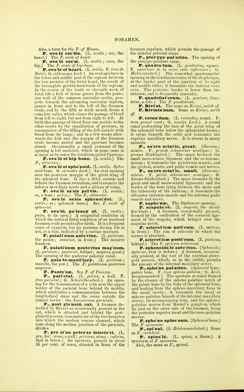 FORAMEN. Also, a terra for the F. of Blunro. P. ova le cor'dis. (L. ovalis; cor, the heart.) The F. ovale of heart. T. ova'le cox'se. (L. ovalis ; coxa, the hip.) The F. ovale of h ip-bone. r. ova'le of heart. (L. ovalis. F. trou de Botal; G. eifbrmiges Loch.) An oval aperture in the lower and middle part of the septum between the two auricles of the foetal heart, the result of the incomplete growth backwards of the septum, [n the course of tlie tenth or eleventh week of fostal life a fold of tissue grows from the poste- rior wall of the common auricular cavity, pro- jects towards the advancing auricular septum, passes in front and to the left of the foramen ovale, and bj' the fifth or sixth month forms a complete valve, which closes the passage of blood from left to right, but not from right to left. At birth this passage of blood from one auricle to the other ceases by the equalisation of pressure, in consequence of the filling of the left auricle with blood from the lungs; and in a few weeks after- wards the fold and the margin of the foramen ovale become united and the aperture becomes closed. Occasionally a small remnant of the opening is left unclosed, which in some cases is so large as to cause the condition called Cyanosis. F. ova'le of hip-bone, (h.ovalis.) The F., ohturntor. P. ova'le of sphe'noid. (L. ovalis. Sphe- noidhowe. ij. eirundes Loch.) An oval opening near the posterior margin of the great wing of the sphenoid bone. It lies a little outside and behind the foramen rotuudum, and transmits the inferior maxillary nerve and a plexus of veins. r. ova'le os'sis pel'vis. (L. ovalis; OS, a bone ; pelvis.) The F., obturator. F. ova'le os'sis sphenoi'dei. (L. ovalis; OS; sphenoid bone.) See F. ovale of sphenoid. F. ova'le, pa'teney of. (L. ovalis; pateo., to lie open.) A congenital condition in which the natural foetal condition of an unclosed foramen ovale persists after birth. It is a frequent cause of cyanosis, but its presence during life is not, as a rule, indicated by a cardiac murmur. F. palati'num ante'rius. (^.palatum, the palate; anterior, in front.) The incisive foramen. F. palati'num poste'rlus magr'num. (L. palatum ; posterior, behind ; magnus, great.) 'The opening of the posterior palatine canal. P. pala'to-maxil'lary. (L. palatum ; maxilla,'Caz'yx^.') The F. palatinum posterius. magnum. P. Paniz'zse. See F. of Panizza. P., parietal. (L. paries, a wall. F. trou parietal; G. Scheitelbeinloch.) An open- ing for the transmission of a vein near the upper border of the parietal bone behind its middle, which establishes a communication between the longitudinal sinus and the veins outside the cranial cavity ; the Fmissnrium parietale. _ P., post-grle'noid, cat. A foramen de- scribed by Mivart as occasionally present in the cat, which is situated just behind the post- glenoid process, transmits one of the two branches into wliich the median venous channel, which runs along the median junction of the parietals, divides. P. pro si'nu petro'so Inferio'ri. (L. pro, for; 6'j)/?<s, a gulf; petrosus, %\.ony ; inferus, that is below.) An aperture, present in about 25 per cent, of cases, situated in front of the foramen jugulaj'e, which permits the passage of the inferior petrosal sinus. P., pter'y§ro-pal'atine. The opening of the pterygo-palatine canal. P. quadra'tum. (L. quadratus, square. F. ouverture de la veine cave inferieure; G. Hohleenenloch.) The somewhat quadrangular opening in the tendinous centre of the diaphragm, at the hinder part of the junction of its right and middle lobes; it transmits the inferior vena cava. The posterior border is lower than the anterior, and is frequently muscular. P. quadrilat'erum. (L. quatuor, four; latus, a side.) The F. quadratum. F. Bivi'nl. The same as Rivini, notch of. P. Rivinia'num. Same as Rivini, notch of. P. rotun'dum. (L. rotundiis, round. F. trou grand rond; G. rundes I,oeh.) A round canal perforating the base of the great wing of the sphenoid bone below the sphenoidal fissure; it opens beneath the orbit and transmits the superior maxillary nerve. It is absent in many animals. P., sa'cro seiat'ic, grreat. {Sacrum; sciatic. P\ graitde eehancrure sciatique; G. grosses Silzbeinloch.) The space between the small sacro-sciatic ligament and the os innomi- natum ; it transmits the pyriformis muscle, and the gluteal, sciatic, and pudic vessels and nerves. P., sa'cro-sciat'ic, small. {Sacrum; sciatic. F. petite eehancrure sciatique; G. kleines Silzbeinloch.) The space bounded by the great and small sacro-sciatic ligaments and the border of the bone lying between the spine and the tuberosity of the ischium ; it transmits the obturator internus muscle and the internal pudic vessels and nerve. P. saphe'nae. The Saphenous opening. P. scapula're. (L. scapula, the shoul- der-blade.) A foramen, occasionally present, formed by the ossification of the coracoid liga- ment of the scapula, which bridges over the scapular notch. P. sclerot'icse anti'cum, (L. aniicns, in front.) The rim of sclerotic to which the cornea is attached. P. sclerot'icae posti'cum. (L. posticus, behind.) The F. opticum scleroticce. P. sphenoida'le ante'rius. {Sphenoid; anterior, that is before.) A foramen, occasion- ally present, at the I'oot of the external ptery- goid process, which, as in the rabbit, permits the passage of the internal maxillary artery. P., sphe'no-pal'atine. {Sphenoid bone; jOflteie bone. F. trou spheno-palatin ; G. Ked- beingaumenloch ) The aperture or canal formed by the closure of the spheno-palatine notch of the palate bone by the body of the sphenoid bone, and leading from the spheno-maxillary fossa to the nasal cavity; it transmits the nasal or spheno-palatine branch of the internal maxillmy artery, its accompanying vein, and the spheno- palatine nerves from Meckel's gangliim, which lie just on the outer side of the foramen, being the posterior superior nasal and the naso-palatine nerves. P. sphe'no-spino'sum. {Sphenoidhone.) The F. spinosutn. P., spi'nal. {(j.RiicJcenmarksloch.) Same as F., vertebral. P. spina'le. (L. spina, a thorn.) A synonym of F. spinostim. Also, the same as F., spinal.