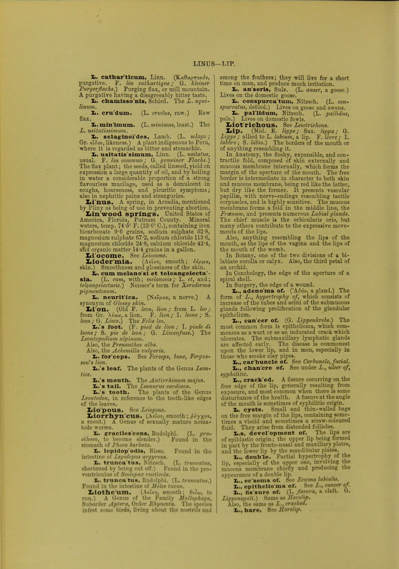 LINUS i L TP. Xi. cattaar'ticum, Linn. (KaOapriKos, purgative. F. lin cathartique; G. kleiner Purgerjlachs.) Purging flax, or mill mountain. A purgative having a disagreeably bitter taste, chamisso'nls, Scliied. The L. aqui- linum. It. cru'dum. (L. crudus, raw.) Raw flax. Xi. min imum. (L. minimus, least.) The L. usitatissimum. It. selaginoides, Lamb. (L. selago; Gr. tloos, likeness.) A plant indigenous to Peru, where it is regarded as bitter and stomachic. Zi. usitatis'simum, Linn. (L. tisitatus, usual. F. lin commun; G. gemeiner Flachs.) The flax plant; the seeds, called linseed, yield on expression a large quantity of oil, and by boiling in water a considerable proportion of a strong flavourless mucilage, used as a demulcent in coughs, hoarseness, and pleuritic symptoms; also in nephritic pains and stranguries. Xii'nus. A spring, in Arcadia, mentioned by Pliny as being of use in preventing abortion. Lin wood spring's. United States of America, Florida, Putnam County. Mineral waters, temp. 74-5° F. (23*6° C), containing iron bicarbonate 9-6 grains, sodium sulphate 52-8, magnesium sulphate 67'2, sodium chloride 113-6, magnesium chloride 24'8, calcium chloride 42-4, and organic matter 14'4 grains in a gallon. Li ocome. See Leiocome. Lioder'mia. (Ado?, smooth; Sippa, skin.) Smoothness and glossiness of the skin. Ii. cum melano'si et teleangeiecta'- sla. (L. cum, with; melanosis; L. et, and; teleangeieetasis.) Neisser's term for Xeroderma pigmentosum. It. neurit ica. (Stvpov, a nerve.) A synonym of Glossy skin. Lion. (Old F. leon, lion; from L. leo; from Gr. \tuiv, a lion. F. lion; I. leone; S. leon ; G. Loice.) The Felis leo. It.'s foot. (F. pied de lion ; I. piede di leone; S. pie de leon; G. Lowenfuss.) The Leontopodium alpinum. Also, the Prenanthes alba. Also, the Achemilla vulgaris. I., for ceps. See Forceps, bone, Fergus- son's lion. It.'s leaf. The plants of the Genus Leon- tice. It.'s mouth. The Antirrhinum majus. It.'s tail. The Leonurus cardiaca. It.'s tooth. The plants of the Genus Leontodon, in reference to the tooth-like edges of the leaves. Lio'pous. See Leiopous. Liorrhyn'cus. (AeTos, smooth; puyxos, a snout.) A Genus of sexually maturo nema- tode worms. Xi. eraciles cens, Rudolphi. (L. gra- cilesco, to become slender.) Found in tho stomach of Phoca barbata. It. lepidop'odis, Risso. Found in the intestine of Leptdopus argyreus. It. trunca tus, Nitzsch. (L. trnncatus, shortened by being cut off.) Found in the pro- ventriculus of Scolopax ruslicola. It. trnncatus, Rudolphi. (L. truncatus.) Found in the intestine of Mcks taxus. Zilothe'um. (smooth; 6ttw, to run.) A Genus of the Family Mallophaga, Suborder Aplera, Order Rhyncota. The species infest some birds, living about the nostrils and among the feathers; they will live for a short time on man, and produce much irritation. Xi. an'serls, Sulz. (L. anser, a goose.) Lives on the domestic goose. Xi. conspurca'tum, Nitzsch. (L. con- spurcatus, defiled.) Lives on geese and swans. Xi. pal lidum, Nitzsch. (L. pallidus, pale.) Lives on domestic fowls. Liot richous. See Leiotrichous. Lip. (Mid. E. lippe; Sax. lippa; G. Lippe; allied to L. labium, a Up. F. levre; I. labbro; S. Idbio.) The borders of the mouth or of anything resembling it. In Anatomy, the fleshy, expansible, and con- tractile fold, composed of skin externally and mucous membrane internally, which forms the margin of the aperture of the mouth. The free border is intermediate in character to both skin and mucous membrane, being red like the latter, but dry like the former. It presents vascular papillae, with nerve-endings resembling tactile corpuscles, and is highly sensitive. The mucous membrane forms a fold in the middle line, the Frcenum, and presents numerous Labial glands. The chief muscle is the orbicularis oris, but many others contribute to the expressive move- ments of the lips. Also, anything resembling the lips of the mouth, as the lips of the vagina and the lips of the mouth of the womb. In Botany, one of the two divisions of a bi- labiate corolla or calyx. Also, the third petal of an orchid. In Conchology, the edge of the aperture of a spiral shell. In Surgery, the edge of a wound. Xi., adeno'ma of. (Aow, a gland.) The form of L., hypertrophy of, which consists of increase of the tubes and acini of the submucous glands following proliferation of the glandular epithelium. Xi., can cer of. (G. Lippenkrebs.) The most common form is epithelioma, which com- mences as a wart or as an indurated crack which ulcerates. The submaxillary lymphatic glands are affected earlv. The disease is commonest upon the lower lip, and in men, especially in those who smoke clay pipes. Xi., car buncle of. See Carbuncle, facial. Xi., chan cre of. See under L., ulcer of, syphilitic. It., crack ed. A fissure occurring on the free edge of the lip, generally resulting from exposure, and most common when there is some disturbance of the health. A fissure at the angle of the mouth is sometimes of syphilitic origin. Xi. cysts. Small and thin-walled bags on the free margin of the lips, containing some- times a viscid and sometimes a straw-coloured fluid. They arise from distended follicles. Xi.s, development of. The lips are of epiblastic origin; the upper lip being formed in part by the fronto-nasal and maxillary plates, and the lower lip by the mandibular plates. Xi., double. Partial hypertrophy of the lip, especially of the upper one, involving the mucous membrane chiefly and producing the appearance of a double lip. ,.. '». Xi., ec'zema of. Sec Eczema labialu. It., epithelio ma of. See L., cancer of . Xi., fissure of. (L. fssura, a cleft. G. Zippcnspalt.) Same as Harelip. Also, the same as L., cracked. I,., bare, 8ee Harelip.