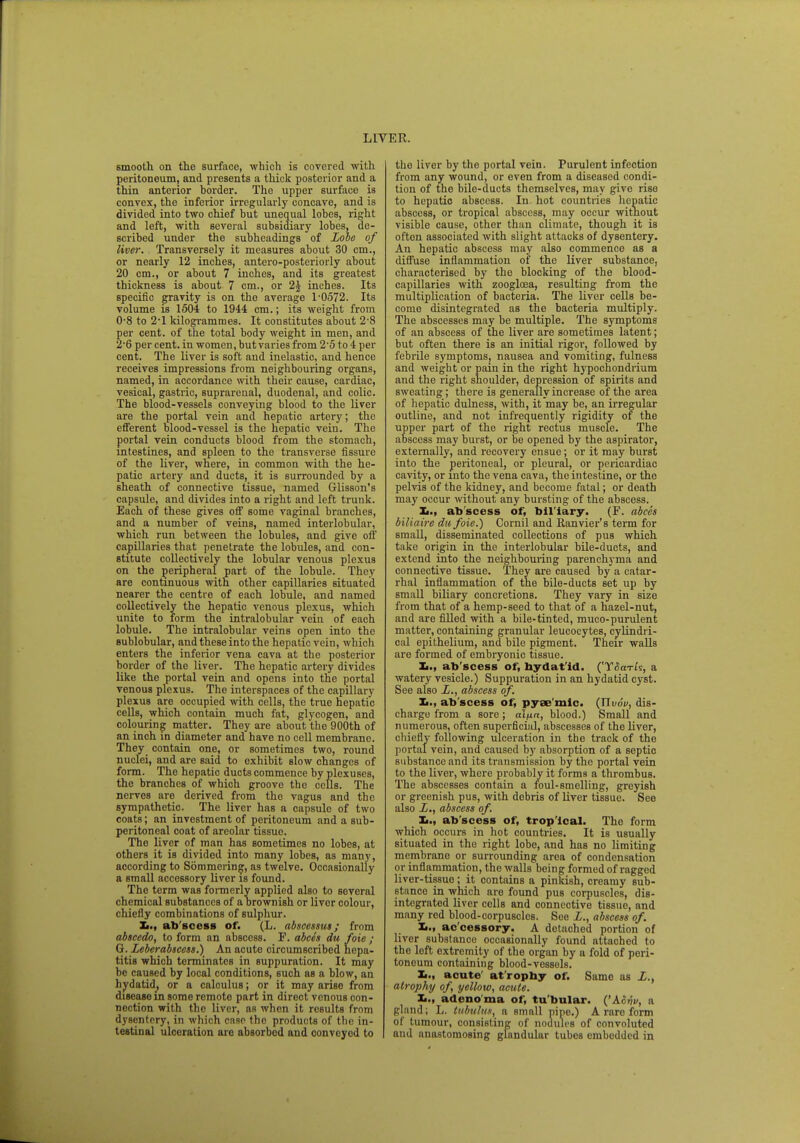 smooth on the surface, which is covered with peritoneum, and presents a thick posterior and a thin anterior border. The upper surface is convex, the inferior irregularly concave, and is divided into two chief but unequal lobes, right and left, with several subsidiary lobes, de- scribed under the subheadings of Lobe of liver. Transversely it measures about 30 cm., or nearly 12 inches, antero-posteriorly about 20 cm., or about 7 inches, and its greatest thickness is about 7 cm., or 2£ inches. Its specific gravity is on the average l-0572. Its volume is 1504 to 1944 cm.; its weight from 0-8 to 2*1 kilogrammes. It constitutes about 2'8 per cent, of the total body weight in men, and 2-6 per cent, in women, but varies from 2'5 to 4 per cent. The liver is soft and inelastic, and hence receives impressions from neighbouring organs, named, in accordance with their cause, cardiac, vesical, gastric, suprarenal, duodenal, and colic. The blood-vessels conveying blood to the liver are the portal vein and hepatic artery; the efferent blood-vessel is the hepatic vein. The portal vein conducts blood from the stomach, intestines, and spleen to the transverse fissure of the liver, where, in common with the he- patic artery and ducts, it is surrounded by a sheath of connective tissue, named Glisson's capsule, and divides into a right and left trunk. Each of these gives off some vaginal branches, and a number of veins, named interlobular, which run between the lobules, and give off capillaries that penetrate the lobules, and con- stitute collectively the lobular venous plexus on the peripheral part of the lobule. They are continuous with other capillaries situated nearer the centre of each lobule, and named collectively the hepatic venous plexus, which unite to form the intralobular vein of each lobule. The intralobular veins open into the sublobular, and these into the hepatic vein, which enters the inferior vena cava at the posterior border of the liver. The hepatic artery divides like the portal vein and opens into the portal venous plexus. The interspaces of the capillary plexus are occupied with cells, the true hepatic cells, which contain much fat, glycogen, and colouring matter. They are about the 900th of an inch in diameter and have no cell membrane. They contain one, or sometimes two, round nuclei, and are said to exhibit slow changes of form. The hepatic ducts commence by plexuses, the branches of which groove the cells. The nerves are derived from the vagus and the sympathetic. The liver has a capsule of two coats; an investment of peritoneum and a sub- peritoneal coat of areolar tissue. The liver of man has sometimes no lobes, at others it is divided into many lobes, as many, according to Sommering, as twelve. Occasionally a small accessory liver is found. The term was formerly applied also to several chemical substances of a Drownish or liver colour, chiefly combinations of sulphur. L., ab scess of. (L. abscessus; from abscedo, to form an abscess. F. abces du foie ; G. Zeberabicess.) An acute circumscribed hepa- titis which terminates in suppuration. It may be caused by local conditions, such as a blow, an hydatid^, or a calculus; or it may arise from disease in some remote part in direct venous con- nection with the liver, as when it results from dysentery, in which case the products of tbe in- testinal ulceration are absorbed and conveyed to the liver by the portal vein. Purulent infection from any wound, or even from a diseased condi- tion of the bile-ducts themselves, may givo rise to hepatic abscess. In hot countries hepatic abscess, or tropical abscess, may occur without visible cause, other than climate, though it is often associated with slight attacks of dysentery. An hepatic abscess may also commenco as a diffuse inflammation of the liver substance, characterised by the blocking of the blood- capillaries with zoogloea, resulting from the multiplication of bacteria. The liver cells be- come disintegrated as the bacteria multiply. The abscesses may be multiple. The symptoms of an abscess of the liver are sometimes latent; but often there is an initial rigor, followed by febrile symptoms, nausea and vomiting, fulness and weight or pain in the right hypochondrium and the right shoulder, depression of spirits and sweating; there is generally increase of the area of hepatic dulness, with, it may be, an irregular outline, and not infrequently rigidity of the upper part of the right rectus muscle. The abscess may burst, or be opened by the aspirator, externally, and recovery ensue; or it may burst into the peritoneal, or pleural, or pericardiac cavity, or into the vena cava, the intestine, or the pelvis of the kidney, and become fatal; or death may occur without any bursting of the abscess. L., abscess of, bil iary. (F. abces biliaire du foie.) Cornil and Eanvier's term for small, disseminated collections of pus which take origin in the interlobular bile-ducts, and extend into the neighbouring parenchyma and connective tissue. They are caused by a catar- rhal inflammation of the bile-ducts set up by small biliary concretions. They vary in size from that of a hemp-seed to that of a hazel-nut, and are filled with a bile-tinted, muco-purulent matter, containing granular leucocytes, cylindri- cal epithelium, and bile pigment. Their walls are formed of embryonic tissue. It., ab'scess of, hydat id. ('Y<5<n-/9, a watery vesicle.) Suppuration in an hydatid cyst. See also £., abscess of. ab'scess of, pyac'mic. (Uvou, dis- charge from a sore; al/xa, blood.) Small and numerous, often superficial, abscesses of the liver, chiefly following ulceration in the track of the portal vein, and caused by absorption of a septic substance and its transmission by the portal vein to the liver, where probably it forms a thrombus. The abscesses contain a foul-smelling, greyish or greenish pus, with debris of liver tissue. See also Z., abscess of. X,., ab'scess of, tropical. The form which occurs in hot countries. It is usually situated in the right lobe, and has no limiting membrano or surrounding area of condensation or inflammation, the walls being formed of ragged liver-tissue ; it contains a pinkish, creamy sub- stance in which are found pus corpuscles, dis- integrated liver cells and connective tissue, and many red blood-corpuscles. Soo Z., abscess of. Xi., accessory. A detached portion of liver substance occasionally found attached to the left extremity of the organ by a fold of peri- toneum containing blood-vessels. It., acute' atrophy of. Same as Z., atrophy of yellow, acute. L., adenoma of, tu'bular. ('ASvv, a gland; L. tubulus, a small pipe.) A rare form of tumour, consisting of nodules of convoluted and anastomosing glandular tubes embedded in