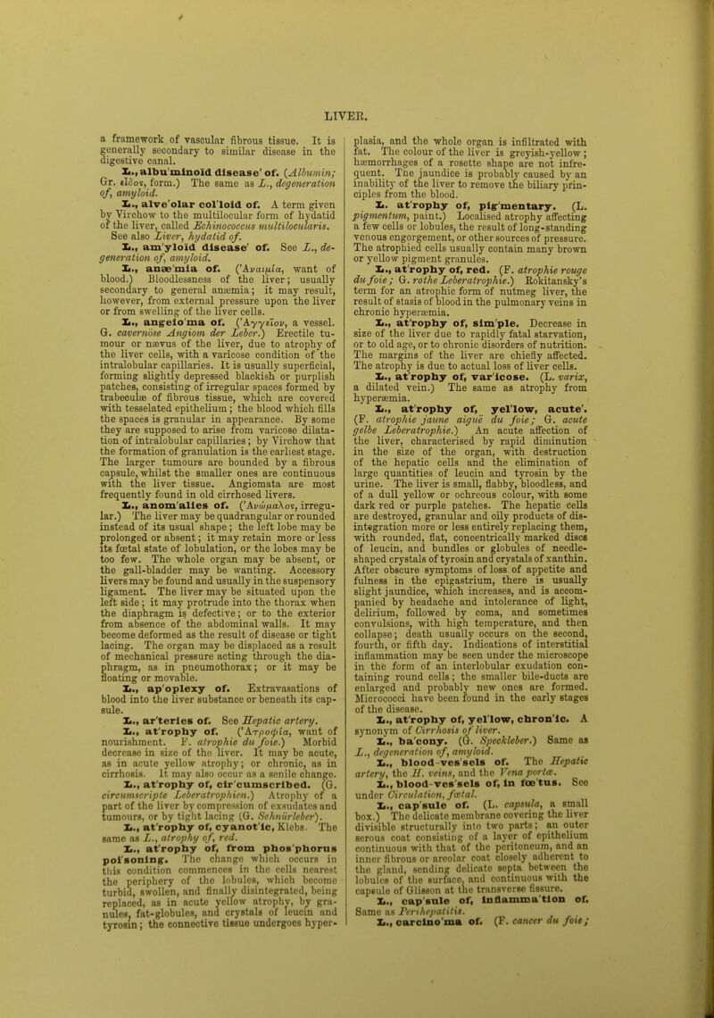a framework of vascular fibrous tissue. It is enerally secondary to similar disease in the igestive canal. albuminoid disease' of. (Albumin; Gr. tloos, form.) The same as L., degeneration of, amyloid. It., alve'olar col loid of. A term given by Virchow to the multilocular form of hydatid of the liver, called Echinococcus multilocularis. See also Liver, hydatid of. It., am yloid disease' of. See L., de- generation of amyloid. 1m., anaemia of. ^kvai^ia, want of blood.) Bloodlessness of the liver; usually secondary to general anaemia; it may result, however, from external pressure upon the liver or from swelling of the liver cells. 1m., angeio ma of. {'Ayyitov, a vessel. G. cavernose Angiom der Leber.) Erectile tu- mour or naevus of the liver, due to atrophy of the liver cells, with a varicose condition of the intralobular capillaries. It is usually superficial, forming slightly depressed blackish or purplish patches, consisting of irregular spaces formed by trabecules of fibrous tissue, which are covered with tesselated epithelium; the blood which fills the spaces is granular in appearance. By some they are supposed to arise from varicose dilata- tion of intralobular capillaries; by Virchow that the formation of granulation is the earliest stage. The larger tumours are bounded by a fibrous capsule, whilst the smaller ones are continuous with the liver tissue. Angiomata are most frequently found in old cirrhosed livers. Ii., anom alies of. ('AixLjuaXos, irregu- lar.) The liver may be quadrangular or rounded instead of its usual shape ; the left lobe may be prolonged or absent; it may retain more or less its foetal state of lobulation, or the lobes may be too few. The whole organ may be absent, or the gall-bladder may be wanting. Accessory livers may be found and usually in the suspensory ligament. The liver may be situated upon the left side; it may protrude into the thorax when the diaphragm is defective; or to the exterior from absence of the abdominal walls. It may become deformed as the result of disease or tight lacing. The organ may be displaced as a result of mechanical pressure acting through the dia- phragm, as in pneumothorax; or it may be floating or movable. Xi., ap'oplexy of. Extravasations of blood into the liver substance or beneath its cap- sule. Xi., ar'teries of. See Hepatic artery. It., at rophy of. ('krrpo<pla, want of nourishment. P. atrophic du foie.) Morbid decrease in size of the liver. It may be acute, as in acute yellow atrophy; or chronic, as in cirrhosis. It may also occur as a senile change. It., at rophy of, cir cumscribed. (G. circumscripta Leberatrophicn.) Atrophy of a part of the liver by compression of exsudatcs and tumours, or by tight lacing (G. Schniirleber). It., at rophy of, cyanot ic, Klcbs. The same as L., atrophy of red. 1m., atrophy of, from phos phorus poisoning'. The change which occurs in this condition commences in the cells nearest the periphery of the lobules, which become turbid, swollen, and finally disintegrated, being replaced, as in acute yellow atrophy, by gra- nules, fat-globules, and crystals of leucin and tyrosin; the connective tissue undergoes hyper- plasia, and the whole organ is infiltrated with fat. The colour of the liver is greyish-yellow ; haemorrhages of a rosette shape are not infre- quent. The jaundice is probaoly caused by an inability of the liver to remove the biliary prin- ciples from the blood. 1m. atrophy of, pigmentary. (L. pigmentum, paint.) Localised atrophy affecting a few cells or lobules, the result of long-standing venous engorgement, or other sources of pressure. The atrophied cells usually contain many brown or yellow pigment granules. Xi., at rophy of, red. (F. atrophie rouge dufoie; G. rothe Leberatrophie.) Eokitansky's term for an atrophic form of nutmeg liver, the result of stasis of blood in the pulmonary veins in chronic hyperemia. Xi., at rophy of, simple. Decrease in size of the liver due to rapidly fatal starvation, or to old age, or to chronic disorders of nutrition. The margins of the liver are chiefly affected. The atrophy is due to actual loss of liver cells. Xi., at rophy of, varicose. (L. varix, a dilated vein.) The same as atrophy from hyperemia. Xi., at rophy of, yel low, acute'. (F. atrophie jaune aigue du foie; G. acute gelbe Leber atrophic) An acute affection of the liver, characterised by rapid diminution in the size of the organ, with destruction of the hepatic cells and the elimination of large quantities of leucin and tyrosin by the urine. The liver is small, flabby, bloodless, and of a dull yellow or ochreous colour, with some dark red or purple patches. The hepatic cells are destroyed, granular and oily products of dis- integration more or less entirely replacing them, with rounded, flat, concentrically marked discs of leucin, and bundles or globules of needle- shaped crystals of tyrosin and crystals of xanthin. After obscure symptoms of loss of appetite and fulness in the epigastrium, there is usually slight jaundice, which increases, and is accom- panied by headache and intolerance of light, delirium, followed by coma, and sometimes convulsions, with high temperature, and then collapse; death usually occurs on the second, fourth, or fifth day. Indications of interstitial inflammation may be seen under the microscope in the form of an interlobular exudation con- taining round cells; the smaller bile-ducts are enlarged and probably new ones are formed. Micrococci have been found in the early stages of the disease. Xi., at'rophy of, yellow, chronic. A synonym of Cirrhosis of liver. 1m., ba'cony. (G. SpechUbcr.) Same as L., degeneration of, amyloid. 1m., blood-ves sels of. The Eepaiic artery, the H. veins, and the Vena porta. Xi., blood-ves sels of, in foe tus. See under Circulation, fatal. Xi., cap'sule of. (L. capsula, a small box.) The delicate membrane covering the liver divisible structurally into two parts; an outer serous coat consisting of a layer of epithelium continuous with that of the peritoneum, and an inner fibrous or areolar coat closely adherent to the gland, sending delicate septa between the lobules of the surface, and continuous with the capsule of Glisson at the transverse fissure. Xi., capsule of, inflamma tion of. Samo as Perihepatitis. It., carcino ma of. (F. cancer du foie;