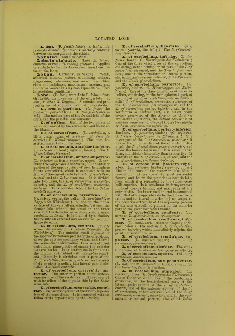 LOBATED—LORE. X,. leaf. (F. feuille lobee.) A leaf which ia deeply divided by incisions reaching midway between the margin and the midrib. XiO'bated. Same as Lobate. Loba to-sin uate. (Late L. lobus; sinuatus, curved. G. buchtig-gelappt.) Applied to a lobate leaf which has curved sinuations be- tween the lobes. Lb bau. Germany, in Saxony. Weak, athermal mineral waters, containing sodium, magnesium, potassium, and ammonium chlo- rides and sulphates, magnesium, calcium, and iron bicarbonates in very small quantities. Used in scrofulous conditions. Iiobe. (F. lobe; from Late L. lobus ; from Gr. \oflds, the lower part of the ear, a lobe. I. lobo ; a. lobo; G. Lappen.) A rounded and pro- jecting part of any organ, animal or vegetable. Xi., fron'to-pari'etal. (L. frons, the forehead ; parietal bone. F. lobe fronto-parie- tal.) The median part of the frontal lobe of the brain and the parietal lobe conjoined. Xi. of an ther. Each of the two halves of an anther united by the connective and borne on the filament. Xi.s of cerebellum. (L. cerebellum, a little brain; dim. of cerebrum. F. lobes du cervelet; G. Kleinhirnlappen.) The lobes de- scribed under the subheadings. Xi. ot cerebel lum, ante'rior Infe'rlor. (L. anterior, in front; inferior, lower.) The L. of cerebellum, biventral. Xi. of cerebellum, an'tcro superior. (L. anterior, in front; superior, upper. G. vor- derer Obei'lappen des Kleinhirns.) The anterior portion of the upper surface of each hemisphere of the cerebellum, which is connected with its fellow of the opposite side by the L. of cerebellum, central, and the Lobus monticuli. It is divided into two lobes, the L. of cerebellum, crescentic, anterior, and the L. of cerebellum, crescentic, posterior. It is bounded behind by the Sulcus cerebelli superior. Xi. of cerebellum, biventral. (L. bis, twice; venter, the belly. G. zweibduchiger Lappen des Kleinhirns.) A lobe on the under surface of the cerebellum, situated between the slender lobe behind, the tonsil on the inner side and the flocculus, separating it from crura cerebelli, in front. It is divided by a shallow fissure into an external and an internal portion, hence its name. Xi. of cerebellum, cen'tral. (F. lobe moyen du cervelet; G. Centralldppchen des Kleinhirns.) The anterior small segment of the superior vermiform process of the cerebellum, above the anterior medullary velum, and behind the eminentia quadrigemina. It consists of about eight folia, immediately adjoining the anterior concave border. It is continuous in front with the lingula, and behind with the Lobus monti- culi ; laterally it stretches over a part of the L. of cerebellum, crescentic, anterior, and consists of six or eight lamellae; this lateral part is also called Ala lobuli centralis. Xi. of cerebellum, crescen'tlc, an- te'rior. The anterior portion of the antero- superior lobo of the cerebellum. It is connected with its fellow of the opposite side by the Lobus monticuli. Xi. of cerebellum, crescen'tlc, poste'- rior. The posterior portion of the antero-supcrior lobe of the cerebellum. It is connectod with its follow of the opposite sido by tho Decline, Xi. of cerebellum, digastric. (Afs, twice; yuan-hp, the belly.) The L. of cerebel- lum, biventral. Ii. of cerebellum, Infe'rlor. (L. in- ferior, lower. G. Unterlappen des Kleinhirns.) One of the three chief lobes of the cerebellum consisting, in the hemispherical part, of the L. of cerebellum, biventral, and the Tonsil of cerebel- lum; and in the vermiform or central portion, also called Lobus vermis inferior, of the Pyramid, and the Uvula of cerebellum. Xi. of cerebellum, poste'rior. (L. posterior, hinder. G. Hinterlappen des Klein- hirns.) One of the three chief lobes of the cere- bellum, consisting, in the hemispherical part, of the part of the L. of cerebellum, antero-superior, called L. of cerebellum, crescentic, posterior, of the L. of cerebellum, postero-superior, and the L. of cerebellum, postero-inferior; and in the vermiform or central part, also called Lobus vermis posterior, of the Declive or Lamina transversa} superiores, the Folium cacuminis or Lamina transversa media, and the Tuber valvules or Laminae transversa inferiores. Xi. of cerebellum, pos'tero-lnfe'rior, Burdach. (L. posterior, hinder; inferior, lower. G. hinlerer Unterlappen des Kleinhirns.) The lower part of the L. of cerebellum, posterior ; it lies on the under surface of the cerebellum, be- neath the L. of cerebellum, postero-superior, and below the horizontal fissure. It is semilunar in form, and thicker internally than externally. It consists of the L. of cerebellum, slender, and the L. of cerebellum, semilunar, inferior. Xi. of cerebellum, pos'tero-supe'- rlor. (L. posterior, hinder; superior, upper.) The middle part of the posterior lobe of the cerebellum. It lies above the great horizontal fissure, and below the posterior crescentic lobe, from which it is separated by the sulcus cere- belli superior. It is semilunar in form, concave in front, convex behind, and narrowing at the extremities. Its inner median end is connected with that of the opposite side by the folium cacu- minis, and its lateral anterior end converges to the posterior extremity of the adjoining process of the crus cerebelli ad pontem in the anterior part of the great horizontal fissure. Xi. of cerebellum, quadrate. The same as L. of cerebellum, antero-supcrior. Xi. of cerebellum, semilunar, infe'- rlor. (L. semilunaris, crescent-shaped; infe- rior, below.) The section of L. of cerebellum, postero-inferior, which immediately adjoins tho great horizontal fissure. Xi. of cerebellum, semilu nar, su pe'rior. (L. superior, upper.) Tho L. of cerebellum, postero-superior. Xi. of cerebellum, slen'der. The ante- rior section of L. of cerebellum, postero-inferior. Xi. of cerebellum, square. The L. of cerebellum, antero-superior. Xi. of cerebellum, sub-pedun'cular. (L. sub, under; peduncle.) Gordon's term for the Flocculus, from its position. Xi. of cerebellum, supe'rlor. (L. superior, upper. G. Oberlappen des Kleinhirns.) One of the thrco chief lobes of tho cerebellum, consisting, in the hemispherical part, of tho lateral prolongations of the L. of cerebellum, central, and of tho anterior segment of tho L. of cerebellum, antero-superior, called the L. of cerebellum, crescentic, anterior; and in the vor- miform or central portion, also called Lobus