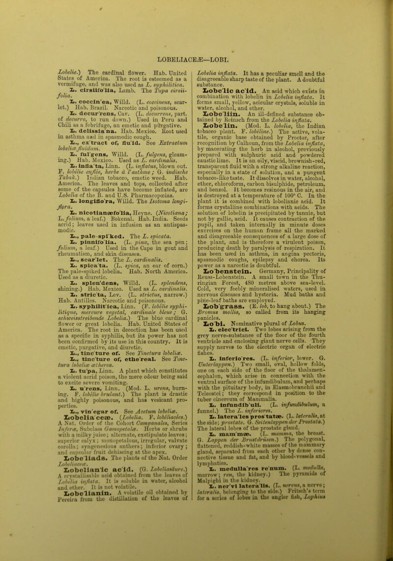 LOBELIACEjE—LOBI. lobelie.) The cardinal flower. Hab. United States of America. The root is esteemed as a vermifuge, and was also used as L. syphilitica. X. clrsiifo'lla, Lamb. The i'upa cirsii- folia. X. coccin'ea, Willd. (L. coccineus, scar- let.) Hab. Brazil. Narcotic and poisonous. X. decur'rens, Car. (L. decurrens, part, of deeurro, to run down.) Used in Peru and Chili as a febrifuge, an ometic and pirrgative. Ii. delissla'na. Hab. Mexico, Root used in asthma and in spasmodic cough. X., ex tract of, flu'id. See Extractum lobelia fluid um. X. ful'gens, Willd. (L. fulgens, gleam- ing.) Hab. Mexico. Used as L. cardinalis. Ii. infla'ta, Linn. (L. inflatus, blown out. F. lobelie enf/ee, herbe d l'ast/ime; G. indische Tabak.) Indian tobacco, emetic weed. Hab. America. The leaves and tops, collected after some of the capsules have become inflated, are Lobelia of the B. and U.S. Pharmacopoeias. L. longiflo'ra, Willd. The Lsotoma longi- Jlora. X. nicotlanaefo'lia, Heyne. {Nicotiana; L. folium, a leaf.) Bokenal. Hab. India. Seeds acrid; leaves used in infusion as an antispas- modic. Ii., pale spi ked. The L. spicata. Ii. pinnifo'lia. (L. pina, the sea pen; folium, a leaf.) Used in the Cape in gout and rheumatism, and skin diseases. Ii., scarlet. The L. cardinalis. Ii. spica'ta. (L. spica, an ear of corn.) The pale-spiked lobelia. Hab. North America. Used as a diuretic. I. splen'dens, Willd. (L. splendens, shining.) Hab. Mexico. Used as L. cardinalis. Ii. stric'ta, Lev. (L. strictus, narrow.) Hah. Antilles. Narcotic and poisonous. Ii. syphilitica, Linn. (F. lobelie syphi- litique, mercure vegetal, cardinale bleue; G. schweisstreibende Lobelia.) The blue cardinal flower or great lobelia. Hab. United States of America. The root in decoction has been used as a specific in syphilis, but its power has not been confirmed by its use in this country. It is emetic, purgative, and diuretic. Ii., tinc ture of. See Tinctura lobelice. I,., tinc'ture of, ethereal. See Tinc- tura lobelia cetlierea. Ii. tu pa, Linn. A plant which constitutes a violent acrid poison, the mere odour being said to excite severe vomiting. X. u'rens, Linn. (Mod. L. urens, burn- ing. F. lobelie brulant.) The plant is drastic and highly poisonous, and has vesicant pro- perties. Ii., vin'egrar of. See Acctum lobelia. Lobelia ceae. {Lobelia. F. lobeliacecs.) A Nat. Order of tho Cohort Campanales, Series In/era, Subclass Qamopetala. Herbs or shrubs with a milky juico; alternate, exstipulato leaves; superior calyx ; monopetnlous, irregular, valvato corolla; syngenesious anthers; inferior ovary; and capsular fruit dehiscing at the apex. ZiObe'liadSi The plants of tho Nat. Order Loheliacca. Xiobellan'ic ac'id. (0. LobeUa»Uur«.) A crystallisable acid obtained from the leaves of Lobelia injlata. It is soluble in water, alcohol and. ether. It is not volatile. ZiObelianin. A volatile oil obtained by Pereira from tho distillation of the leaves of Lobelia injlata. It has a peculiar smell and the disagreeable sharp taste of the plant. A doubtful substance. Lobe lie ac'id. An acid which exists in combination with lobelin in Lobelia injlata. It forms small, yellow, acicular crystals, soluble in water, alcohol, and ether. Lobe liin. An iU-defined substance ob- tained by Reinseh from the Lobelia injlata. Lobe lin. (Mod. L. lobelia, the Indian tobacco plant. F. lobeline.) The active, vola- tile, organic base obtained by Proctor, after recognition by Calhoun, from the Lobelia injlata, by macerating the herb in alcohol, previously prepared with sulphuric acid and powdered caustic lime. It is an oily, viscid, brownish-red, transparent fluid with a strong alkaline reaction, especially in a state of solution, and a pungent tobacco-like taste. It dissolves in water, alcohol, ether, chloroform, carbon bisulphide, petroleum, and benzol. It becomes resinous in the air, and is destroyed at a temperature of 100° C. In the plant it is combined with lobelianic acid. It forms crystalline combinations with acids. The solution of lobelin is precipitated by tannic, but not by gallic, acid. It causes contraction of the pupil, and taken internally in minute doses exercises on the human frame all the marked and disagreeable consequences of a large dose of the plant, and is therefore a virulent poison, producing death by paralysis of respiration. It has been used in asthma, in angina pectoris, spasmodic coughs, epilepsy and chorea. Its power as a narcotic is doubtful. Lo benstein. Germany, Principality of Reuss-Lobenstein. A small town in the Thu- ringian Forest, 480 metres above sea-level. Cold, very feebly mineralised waters, used in nervous diseases and hysteria. Mud baths and pine-leaf baths are employed. Lob'g rass. (E. lob, to hang about.) The Bromus mollis, so called from its hanging panicles. Lo'bi. Nominative plural of Lobus. Ii. elec'tricl. Two lobes arising from the grey nerve-substance of the floor of the fourth ventricle and enclosing giant nerve cells. They supply nerves to the electric organ of electric fishes. Ii. inferio res. (L. inferior, lower. G. Unierlappen.) Two small, oval, hollow folds, one on each side of the floor of the thalamen- oephalon, which arise in connection with the ventral surface of the infundibulum, and perhaps with the pituitary body, in Elasmobranchii and Teleostei; they correspond in position to the tuber cinerenm of Mammalia. X. infundlb'ull. (L. infmidibulum, a funnel.) Tho L. inferiores. Ii. latera les pros tatcc. (L. lateralis, at the side; prostate. G. Seitenlappen der Prostata.) The lateral lobes of the prostate gland. X. mam'mee. (L. mamma, the breast. G. Lappen der Brustdriisen.) The polygonal, flattened, reddish-white masses of the mammary gland, separated from each other by dense con- nective tissue and fat, and by blood- vessels and lymphatics. X. medulla'res re'nnm. (L. medulla, marrow; ren, the kidney.) The pyramids of Malpighi in the kidney. X. ner'vi lateralis. (L. ncrvus, a nerve; lateralis, belonging to the side.) Fritsch's term for a scries of lobes in the angler fish, Lophiui