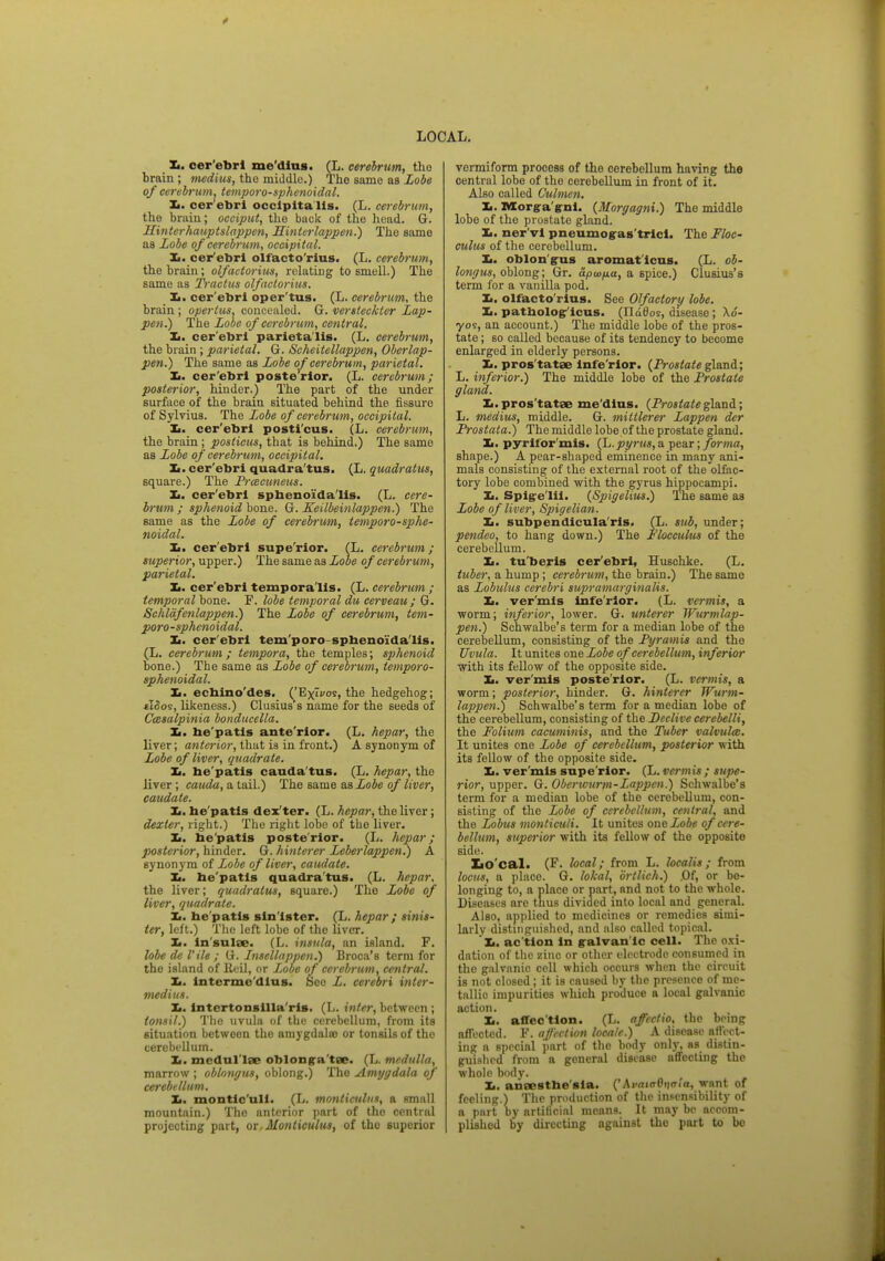 LOCAL. Xi. cer ebri medius. (L. cerebrum, the brain ; medius, the middle.) The same as Lobe of cerebrum, temporo-sphenoidal. It. cer ebri occlpita lis. (L. cerebrum, the brain; occiput, the buck of the head. G. Hinterhauptslappen, Sinter lappen.) The same as Lobe of cerebrum, occipital. It. cer ebri olfacto'rius. (L. cerebrum, the brain ; olfactorius, relating to smell.) The same as Tractus olfactorius. It. cer'ebri oper'tus. (L. cerebrum, the brain; operlus. concealed. G. versteckter Lap- pen.) The Lobe of cerebrum, central. It. cer'ebri parietalis. (L. cerebrum, the brain ; parietal. G. Scheitellappen, Oberlap- pen.) The same as Lobe of cerebrum, par ietal. It. cer'ebri posterior. (L. cerebrum; posterior, hinder.) The part of the under surface of the brain situated behind the fissure of Sylvius. The Lobe of cerebrum, occipital. It. cer'ebri posti'cus. (L. cerebrum, the brain; posticus, that is behind.) The same as Lobe of cerebrum, occipital. It. cer'ebri quadra tus. (L. quadratus, square.) The Prcecuneus. It. cer'ebri sphenoi'dalis. (L. cere- brum ; sphenoid bone. G. Keilbeinlappen.) The same as the Lobe of cerebrum, temporo-sphe- noidal. It. cer'ebri supe'rior. (L. cerebrum ; superior, upper.) The same as Lobe of cerebrum, parietal. It. cer'ebri temporalis. (L. cerebrum ; temporal bone. F. lobe temporal du cerveau ; G. Schlafenlappen.) The Lobe of cerebrum, tem- poro-sphenoidal. Xi. cer'ebri tem'poro-spbenoi'da'lis. (L. cerebrum ; tempora, the temples; sphenoid bone.) The same as Lobe of cerebrum, temporo- sphenoidal. It. ecbino'des. ('ExTvos, the hedgehog; £i5o9, likeness.) Clusius s name for the seeds of Cessalpinia bonducella. It. he'patis ante rior. (L. hepar, the liver; anterior, that is in front.) A synonym of Lobe of liver, quadrate. It. he'patis cauda'tus. (L. hepar, the liver ; cauda, a tail.) The 6ame as Lobe of liver, caudate. It. he'patis dex'ter. (L. hepar, the liver; dexter, right.) The right lobe of the liver. It. he'patis poste'rior. (L. hepar; posterior, hinder. G. hinterer Leberlappen.) A synonym of Lobe of liver, caudate. It. he'patis quadratus. (L. hepar, the liver; quadratus, square.) The Lobe of liver, quadrate. It. he'patis sinister. (L. hepar ; sinis- ter, left.) The left lobe of the liver. Xi. in sn i.e. (L. insula, an island. F. lobe dc Vile ; G. Inscllappen.) Broca's term for the island of Eeil, or Lobe of cerebrum, central. It. lnterme'dlus. See L. cerebri inter- medins. It. intertonsilla'rls. (L. inter, between; tonsil.) The uvula of the cerebellum, from its situation between the amygdala) or tonsils of tho cerebellum. Xi. medul'lse oblonga'tee. (L. medulla, marrow ; oblongus, oblong.) The Amygdala of cerebellum. It. montic'ull. (L. monliculus, a small mountain.) The anterior part of tho central projecting part, or. Monliculus, of the superior vermiform process of the cerebellum having the oentral lobe of tho cerebellum in front of it. Also called Culmen. It. IMtorga'gni. (Morgagni.) The middle lobe of the prostate gland. Xi. ner'vi pneumogas'trici. The Floc- culus of the cerebellum. Xi. oblongus aromaticus. (L. ob- longus, oblong; Gr. apw/xa, a spice.) Clusius's term for a vanilla pod. Xi. olfacto'rius. See Olfactory lobe. It. pathologlcus. (Uados, disease; Xo- 709, an account.) The middle lobe of the pros- tate ; so called because of its tendency to become enlarged in elderly persons. Xi. pros'tatae infe rior. (Prostategland; L. inferior.) The middle lobe of the Prostate gland. It. pros'tatae me'dius. (Prostate gland ; L. medius, middle. G. miltlerer Lappen der Prostata.) The middle lobe of the prostate gland. Xi. pyrifor'mis. (L. pgrus, a pear; forma, shape.) A pear-shaped eminence in many ani- mals consisting of the external root of the olfac- tory lobe combined with the gyrus hippocampi. Xi. Spigelii. (Spigelius.) The same as Lobe of liver, Spigelian. It. subpendicula'ris. (L. sub, under; pendeo, to hang down.) The Flocculus of the cerebellum. Xi. tu'beris cer'ebri, Buschke. (L. tuber, a hump; cerebrum, the brain.) The same as Lobulus cerebri supramarginalis. It. vermis inferior. (L. vermis, a worm; inferior, lower. G. unterer Wurmlap- pen.) Schwalbe's term for a median lobe of the cerebellum, consisting of the Pyramis and the Uvula. It unites one Lobe of cerebellum, inferior with its fellow of the opposite side. Xi. ver'mis poste'rior. (L. vermis, a worm; posterior, hinder. G. hinterer Wurm- lappen.) Schwalbe's term for a median lobe of the cerebellum, consisting of the Declive cerebelli, the Folium cacuminis, and the Tuber valvules. It unites one Lobe of cerebellum, posterior with its fellow of the opposite side. Xi. ver'mis supe'rior. (L. vermis ; supe- rior, upper. G. Oberwurm-Lappen.) Schwalbe's term for a median lobe of the cerebellum, con- sisting of tho Lobe of cerebellum, central, and the Lobus monticuli. It unites one Lobe of cere- bellum, superior with its fellow of the opposite side. XiO'cal. (F. local; from L. hcalis; from locus, a place. G. lokal, ortlich.) .Of, or be- longing to, a place or part, and not to the whole. Diseases are thus divided into local and general. Also, applied to medicines or remedies simi- larly distinguished, and also called topical. Xi. ac tion In galvanic cell. The oxi- dation of the zinc or other electrode consumed in the galvanic cell which occurs when the circuit is not closed; it is caused by the presence of me- tallic impurities which produce a local galvanic action. Xi. affection. (L. affeclto, the bring affected. F. affection locale.) A disease affect- ing a special part of the body only, as distin- guished from a general disease affecting the whole body. Xi. anaesthe sia. ('Ai>ni<r8ij<n'«, want of feeling.) The production of the insensibility of a part by artificial means. It may be accom- plished by directing against tho part to be