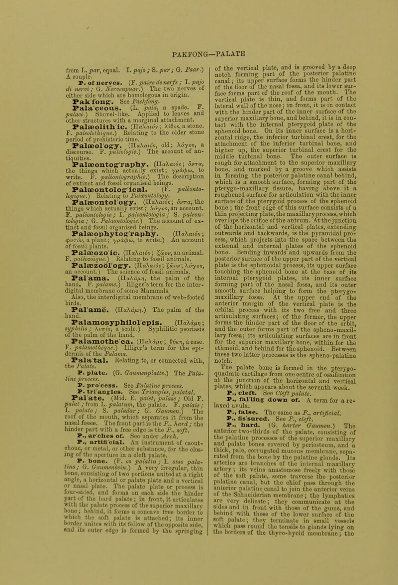PAKFONG from L. par, equal. I. pajo ; S. par ; G. Paar.) A couple. P. of nerves. (F. paire de nerfs ; I. pajo di ttervi; G. Nervenpaar.) The two nerves of either side which ure homologous in origin. Fak long. See Packfong. Pala'ceous. (L. pala, a spade. F. palaci.) Suovel-like. Applied to leaves and other structures with a marginal attachment. Palaeolithic. (IlaXaio's; XtOos, a stone. F. paleolUhique.) Isolating to the older stone period of prehistoric time. FalaeoTog'y. (TlaXaio's, old; Xdyor, a discourse. F. palvologie.) The account of an- tiquities. FalaBOntOSr'raphy. (IlaXatds; ovra, the things which actually exist; ypa<pw, to write. F. paleontographie.) The description of extinct and fossil organised beings. Palaeontolog-'ical. (F. paleonto- logique.) Relating to Palaeontology. Palaeontol ogy. (IlaXaio's; 6Wa, the things which actually exist; Xdyos, an account. F. paleontologie; I. paleontologia; S. paleon- tologia ; G. Paldontologie.) The account of ex- tinct and fossil organised beings. Palaeophytog raphy. (IloXaids; <pvTov, a plant; yputpta, to write.) An account of fossil plants. Palaeozo ic. (IlaXaio's ; X,wov, an animal. F. paleozo'ique.) Relating to fossil animals. Palaezobl ogy. (IlaXaids ; J5o»; Xdyos, an account.) The science of fossil animals. Pal ama. (IIa\d;u?), the palm of the hand. F. palame.) Illiger's term for the inter- digital membrane of some Mammals. Also, the interdigital membrane of web-footed birds. Pal ame. (HaW/iii.) The palm of the hand. Palamosyphilolepis. (UaXAp^; syphilis; \iirh, a scale.) Syphilitic psoriasis of the palm of the hand. Paiamothe ca. (JlaXdpij; Owi}, a case. F. palamotheque.) Illiger's term for the epi- dermis of the Palama. Pala tal. Relating to, or connected with, the Palate. P. plate. (G. Gauinenplatte.) The Pala- tine process. P. pro cess. See Palatine process. P. triangles. See Triangles,palatal. Pal'ate. (-Mid. E. palet, palase ; Old F. palat ; from L. palatum, the palate. F. palais ; I. palato; S. paladar; G. Gaumen.) The roof of the mouth, which separates it from the nasal fossa. The front part is the P., hard; the hinder part with a free edge is the P., soft. P., ar ches of. See under Arch. P., artificial. An instrument of caout- chouc, or metal, or other substance, for the clos- ing of the aperture in a cleft palate. P. bone. (F. os palalin ; I. osso pala- lino; G. Gaumenbein.) A very irregular, thin bone, consisting of two portions united at a right angle, a horizontal or palato plate and a vertical or nasal plate. The palato plate or process is four-sidecf, and forms on eacn side the hinder part of the hard palate ; in front, it articulates with the palate process of the superior maxillary bone; behind, it forms a concave free border to which the soft palato is attached; its inner border unites with its fellow of the opposite side, and its outer edge is formed by the springing —PALATE of the vertical plate, and is grooved by a deep notch forming part of the posterior palatine canal; its upper surface forms the hinder part of the floor of the nasal fossa, and its lower sur- face forms part of the roof of the mouth. The vertical plate is thin, and forms part of the lateral wall of the nose; in front, it is in contact with the hinder part of the inner surface of the superior maxillary bone, and behind, it is in con- tact with the internal pterygoid plate of the sphenoid bone. On its inner surface is a hori- zontal ridge, the inferior turbinal crest, for the attachment of the inferior turbinal bone, and higher up, the superior turbinal crest for the middle turbinal bone. The outer surface is rough for attachment to the superior maxillary bone, and marked by a groove which assists in forming the posterior palatine canal behind, which is a smooth surface, forming part of the pterygo-maxillary fissure, having above it a roughened surface for articulation with the inner surface of the pterygoid process of the sphenoid bone ; the front edge of this surface consists of a thin projecting plate, the maxillary process, which overlaps the orifice of the antrum. At the junction of the horizontal and vertical plates, extending outwards and backwards, is the pyramidal pro- cess, which projects into the space between the external and internal plates of the sphenoid bone. Bending inwards and upwards from the posterior surface of the upper part of the vertical plate is the sphenoidal process, its upper surface touching the sphenoid bone at the base of its internal pterygoid plates, its inner surface forming part of the nasal fossa, and its outer smooth surface helping to form the pterygo- maxillary fossa. At the upper end of the anterior margin of the vertical plate is the orbital process with its two free and three articulating surfaces; of the former, the upper forms the hinder part of the floor of the orbit, and the outer forms part of the spheno-maxil- lary fossa; its articulating surfaces are in front for the superior maxillary bone, within for the ethmoid, and behind for the sphenoid. Between these two latter processes is the spheno-palatine notch. The palate bone is formed in the pterygo- quadrate cartilage from one centre of ossification at the junction of the horizontal and vertical plates, which appears about the seventh week. P., cleft. See Cleft palate. P., falling down of. A term for a re- laxed uvula. P., false. The same as P., artificial. P., fissured. See P., cleft. P., hard. (G. harter Gaumen.) The anterior two-thirds of the palate, consisting of the palatine processes of the superior maxillary and palate bones covered by periosteum, and a thick, pale, corrugated mucous membrane, sepa- rated from the bone by the palatine glands. Its arteries are branches of the internal maxillary artery ; its veins anastomose freely with those of the soft palate, some traverse the posterior palatine canal, but tho chief pass through the anterior palatine cannl to join the anterior veins of the Schneiderian membrane ; the lymphatics are very delicate; they communicate at the sides and in front with those of the gums, and behind with thoso of the lower surface of the soft palate; they terminato in small vessels which pass round the tonsils to glands lying on the borders of the thyro-hyoid membrane; the