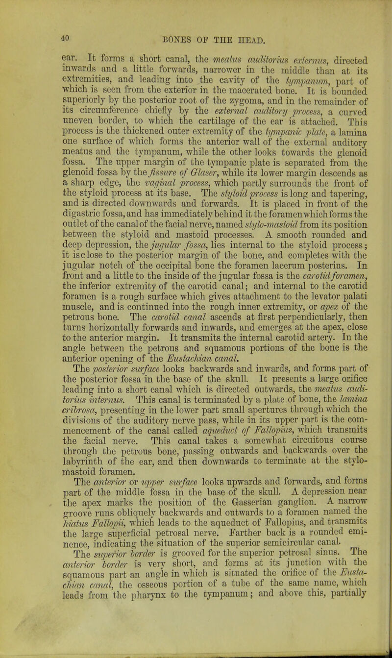 ear. It forms a short canal, the meatus auditorius exlemus, directed inwards and a little forwards, narrower in the middle than at its extremities, and leading into the cavity of the tympanum, part of which is seen from the exterior in the macerated bone. It is bounded superiorly by the posterior root of the zygoma, and in the remainder of its circumference chiefly by the external auditory process, a curved uneven border, to which the cartilage of the ear is attached. This process is the thickened outer extremity of the tympanic plate, a lamina one surface of which forms the anterior wall of the external auditory meatus and the tympanum, while the other looks towards the glenoid fossa._ The upper margin of the tympanic plate is separated from the glenoid fossa by the fissure of Glaser, while its lower margin descends as a sharp edge, the vaginal process, which partly surrounds the front of the styloid process at its base. The styloid process is long and tapering, and is directed downwards and forwards. It is placed in front of the digastric fossa, and has immediately behind it the foramen which forms the outlet of the canal of the facial nerve, named stylo-mastoid from its position between the styloid and mastoid processes. A smooth rounded and deep depression, the jugular fossa, lies internal to the styloid process; it is close to the posterior margin of the bone, and completes with the jugular notch of the occipital bone the foramen lacerum posterius. In front and a little to the inside of the jugular fossa is the carotid foramen, the inferior extremity of the carotid canal; and internal to the carotid foramen is a rough surface which gives attachment to the levator palati muscle, and is continued into the rough inner extremity, or apex of the petrous bone. The carotid canal ascends at first perpendicularly, then turns horizontally forwards and inwards, and emerges at the apex, close to the anterior margin. It transmits the internal carotid artery. In the angle between the petrous and squamous portions of the bone is the anterior opening of the Eustachian canal. The posterior surface looks backwards and inwards, and forms part of the posterior fossa in the base of the skull. It presents a large orifice leading into a short canal which is directed outwards, the meatus audi- torius interims. This canal is terminated by a plate of bone, the lamina cribrosa, presenting in the lower part small apertures through which the divisions of the auditory nerve pass, while in its upper part is the com- mencement of the canal called aqueduct of Fallopius, which transmits the facial nerve. This canal takes a somewhat circuitous course through the petrous bone, passing outwards and backwards over the labyrinth of the ear, and then downwards to terminate at the stylo- mastoid foramen. The anterior or upper surface looks upwards and forwards, and forms part of the middle fossa in the base of the skull. A depression near the apex marks the position of the Gasserian ganglion. A narrow groove runs obliquely backwards and outwards to a foramen named the hiatus Fallopii, which leads to the aqueduct of Fallopius, and transmits the large superficial petrosal nerve. Farther back is a rounded emi- nence, indicating the situation of the superior semicircular canal. The superior border is grooved for the superior petrosal sinus. The anterior border is very short, and forms at its junction with the squamous part an angle in which is situated the orifice of the Eusta- chian canal, the osseous portion of a tube of the same name, which leads from the pharynx to the tympanum; and above this, partially