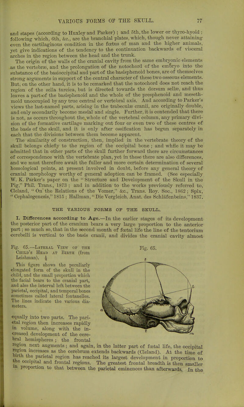 and stapes (according to Huxley and Parker) ; and 5th, the lower or thyro-hyoid : following- which, 6th, &c, are the branchial plates, which, though never attaining even the cartilaginous condition in the foetus of man and the higher animals, yet give indications of the tendency to the continuation backwards of visceral arches in the region between the head and the trunk. The origin of the walls of the cranial cavity from the same embryonic elements as the vertebra;, and the prolongation of the notochord of the embryo into the substance of the basioccipital and part of the basisphenoid bones, are of themselves strong arguments in support of the central character of these two osseous elements. But, on the other hand, it is to be remarked that the notochord does not reach the region of the sella turcica, but is directed towards the dorsum sellse. and thus leaves a part-of the basisphenoid and the whole of the presphenoid and meseth- moid unoccupied by any true central or vertebral axis. And according to Parker's views the last-named parts, arising in the trabecular cranii, are originally double, and only secondarily become mesial and single. Further, it is contended that there is not, as occurs throughout the whole of the vertebral column, any primary divi- sion of the formative cartilage marking out four or even two of these centres of the basis of the skull, and it is only after ossification has begun separately in each that the divisions between them become apparent. The similarity of construction, then, implied in the vertebrate theoiy of the skull belongs chiefly to the region of the occipital bone ; and while it may be admitted that in other parts of the skull further forward there are circumstances of correspondence with the vertebrate plan, yet in these there are also differences, and we must therefore await the fuller and more certain determination of several homological points, at present involved in doubt, before any general theory of cranial morphology worthy of general adoption can be framed. (See especially W. K. Parker's paper on the  Structure and Development of the Skull in the Pig, Phil. Trans., 1873 ; and in addition to the works previously referred to, Cleland, On the Relations of the Vomer,'' &c, Trans. Roy. Soc, 18(52; Spix,  Cephalogenesis, 1815 ; HaUman, Die Vergleich. Anat. des Schlafenbeins.'' 1837. THE VARIOUS FORMS OF THE SKULL. I. Differences according- to Age.—In the earlier stages of its development the posterior part of the cranium bears a very large proportion to the anterior part ; so much so, that in the second month of fcetal life the line of the tentorium cerebeUi is vertical to the basis cranii, and divides the cranial cavity almost Fig. 65.—Lateral View op the Child's Head at Biuth (from Leishman). ^ This figure shows the peculiarly elongated form of the skull in the child, and the small proportion which the facial bears to the cranial part, and also the interval left between the parietal, occipital, and temporal bones sometimes called lateral fontanelles. The lines indicate the various dia- meters. equally into two parts. The pari- etal region then increases rapidly in volume, along with the in- creased development of the cere- bral hemispheres ; the frontal region next augments; and again, in the latter part of fcetal life, the occipital region increases as the cerebrum extends backwards (Cleland). At the time of birth the parietal region has reached its largest development in proportion to the occipital and frontal regions. The greatest frontal breadth is then smaller m proportion to that between the parietal eminences than afterwards. In the