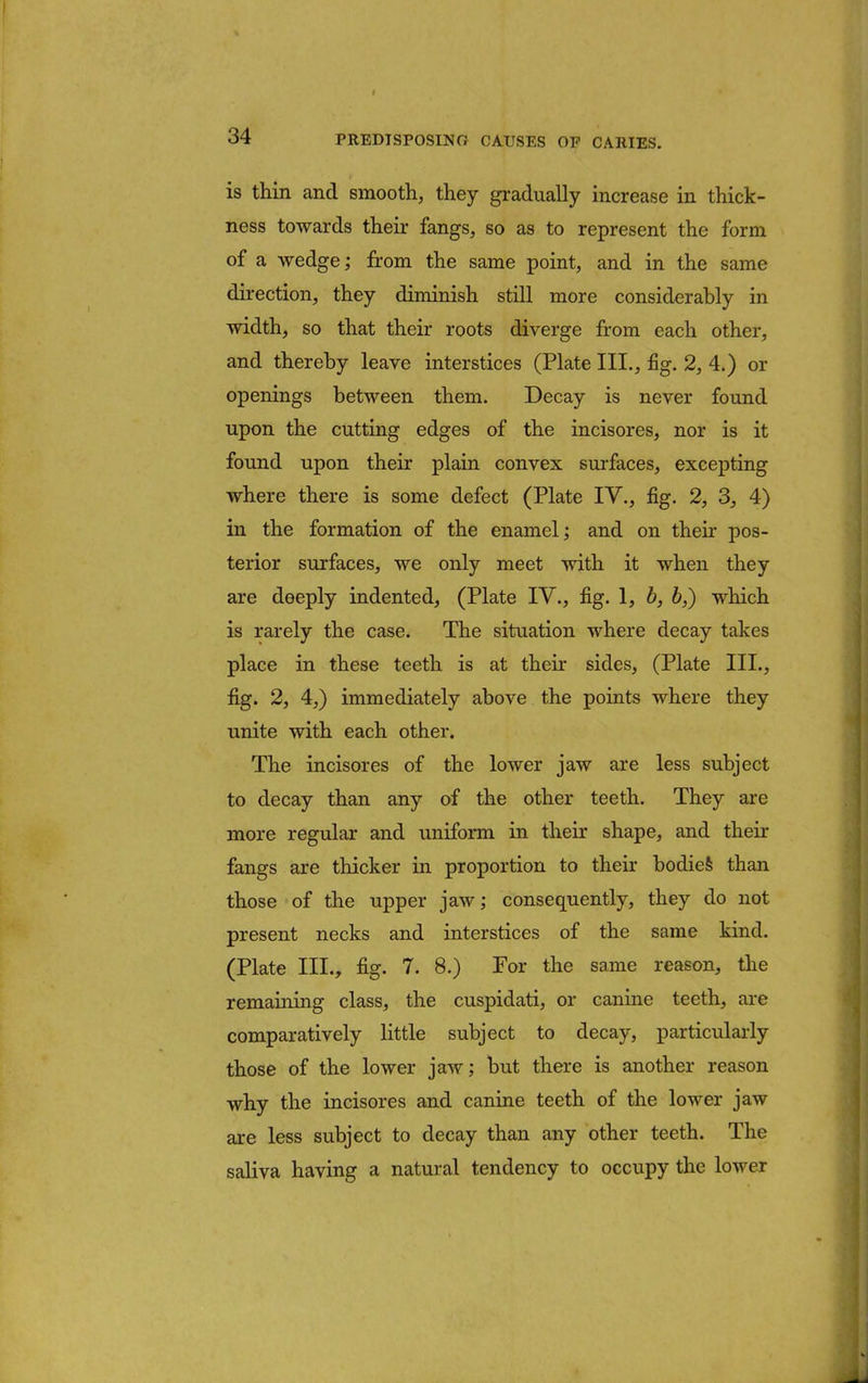 is thin and smooth, they gradually increase in thick- ness towards their fangs, so as to represent the form of a wedge; from the same point, and in the same direction, they diminish still more considerably in width, so that their roots diverge from each other, and thereby leave interstices (Plate III., fig. 2, 4.) or openings between them. Decay is never found upon the cutting edges of the incisores, nor is it found upon their plain convex surfaces, excepting where there is some defect (Plate IV., fig. 2, 3, 4) in the formation of the enamel; and on their pos- terior surfaces, we only meet with it when they are deeply indented, (Plate IV., fig. 1, b, b,) which is rarely the case. The situation where decay takes place in these teeth is at their sides, (Plate III., fig. 2, 4,) immediately above the points where they unite with each other. The incisores of the lower jaw are less subject to decay than any of the other teeth. They are more regular and uniform in their shape, and their fangs are thicker in proportion to their bodies than those of the upper jaw; consequently, they do not present necks and interstices of the same kind. (Plate III., fig. 7. 8.) For the same reason, the remaining class, the cuspidati, or canine teeth, are comparatively little subject to decay, particularly those of the lower jaw; but there is another reason why the incisores and canine teeth of the lower jaw are less subject to decay than any other teeth. The saliva having a natural tendency to occupy the lower