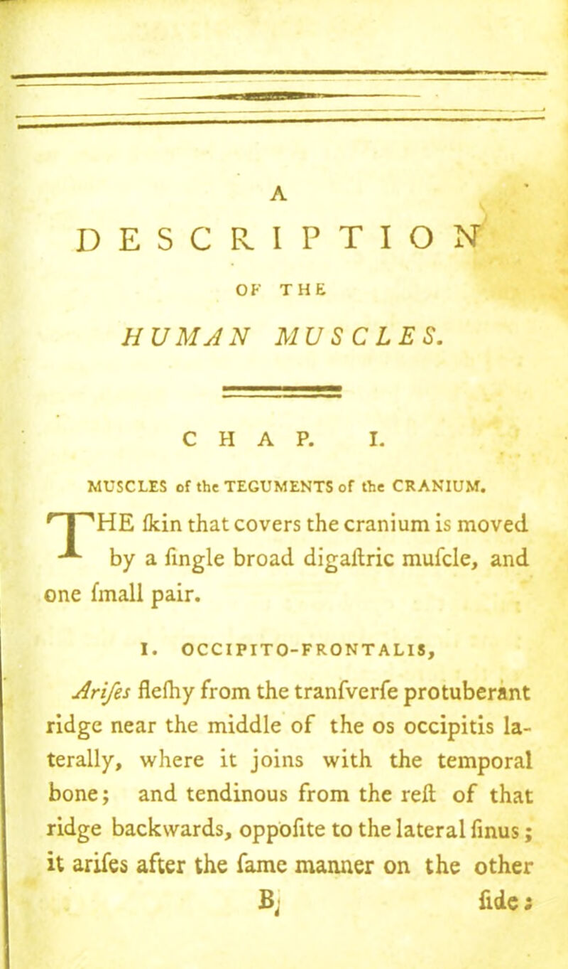 DESCRIPTION OF THE HUMAN MUSCLES. CHAP. I. MUSCLES of the TEGUMENTS of the CRANIUM. t I 'HE (kin that covers the cranium is moved by a Tingle broad digaftric mufcle, and one fmall pair. I. OCCIPITO-FRONTALIS, Arifes flefhy from the tranfverfe protuberant ridge near the middle of the os occipitis la- terally, where it joins with the temporal bone; and tendinous from the reft of that ridge backwards, oppofite to the lateral finus; it arifes after the fame manner on the other Bj fide;