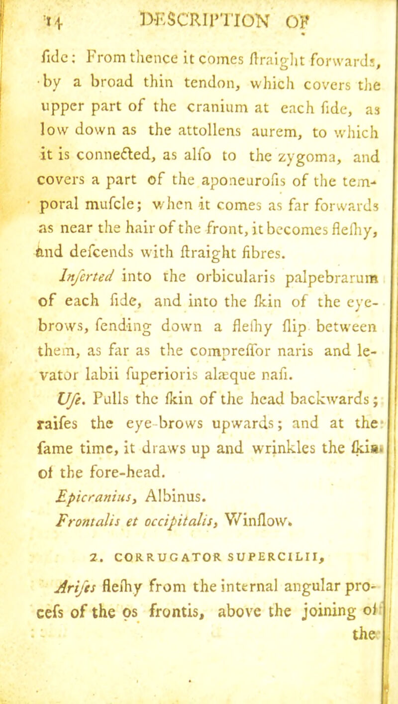 fide; From thence it comes flraight forwards, ■by a broad thin tendon, which covers the upper part of the cranium at each fide, as low down as the attollens aurem, to which it is conne&ed, as alfo to the zygoma, and covers a part of the aponeurofis of the tem- poral mufcle; v/hen it comes as far forwards as near the hair of the front, it becomes fleiliy, and defeends with flraight fibres. lnferted into the orbicularis palpebrarum of each fide, and into the fkin of the eye- brows, fending down a fleiliy flip between them, as far as the compreffor naris and le- vator labii fuperioris ala;que nafi. Ufe. Pulls the fkin of the head backwards; raifes the eye brows upwards; and at the- fame time, it draws up and wrinkles the fkin. of the fore-head. Epicranius, Albinus. Frontalis et occipitalis, Winflow. 2. CORRUGATOR SUPERCILII, Arifts flefhy from the internal angular pro- cefs of the os frontis, above the joining of the .