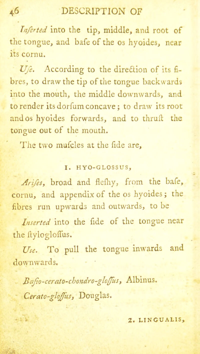 htferted into the tip, middle, and root of the tongue, and bafe of the os hyoides, near its cornu. Ufe. According to the dire&ion of its fi- bres, to draw the tip of the tongue backwards into the mouth, the middle downwards, and to render its dorfum concave; to draw its root and os hyoides forwards, and to thrull the tongue out of the mouth. The two mufcles at the fide are, I. HYO-GLOSSUS, Ari/es, broad and flefhy, from the bafe, cornu, and appendix of the os hyoides; the fibres run upwards and outwards, to be Inserted into the fide of the tongue near the ItyloglofTus. Use. To pull the tongue inwards and downwards. Bajio-cerato-cbondro-gloflits, Albinus. Cerato-glofliis, Douglas. * '• v 2. LINGUALIS,