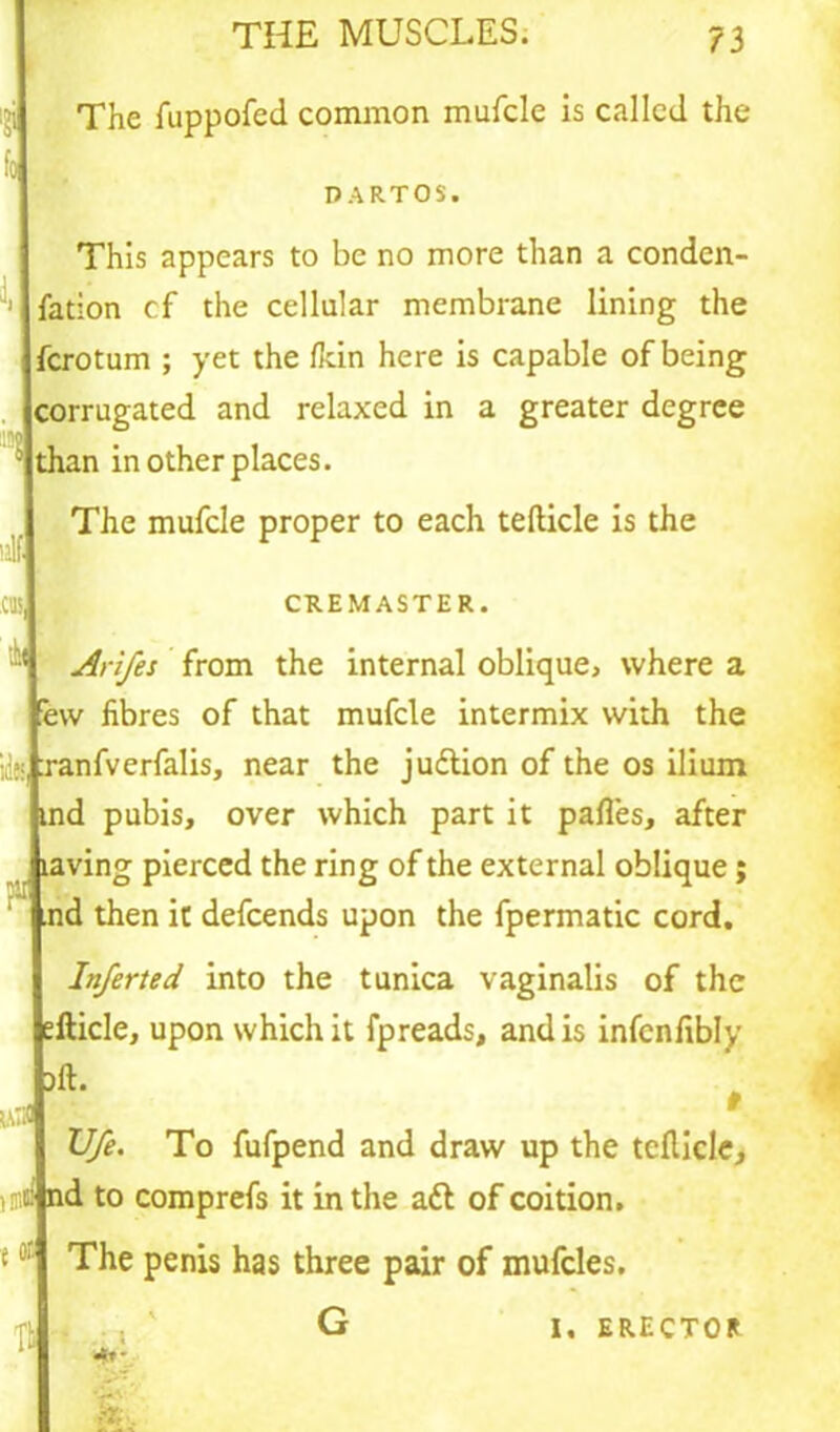 The fuppofed common mufcle is called the L *0 PARTOS. This appears to be no more than a conden- 1 fation cf the cellular membrane lining the ferotum ; yet the fkin here is capable of being corrugated and relaxed in a greater degree : than in other places. The mufcle proper to each telticle is the CREMASTER. Arifes from the internal oblique, where a 'ew fibres of that mufcle intermix with the ide!, :ranfverfalis, near the juftion of the os ilium tnd pubis, over which part it pafles, after laving pierced the ring of the external oblique; .nd then it defeends upon the fpermatic cord. Inferted into the tunica vaginalis of the efticle, upon which it fpreads, and is infcnfibly dIL t Vfe. To fufpend and draw up the tcflicle, toid nd to comprefs it in the aft of coition. The penis has three pair of mufdes. «»- m. I, ERECTOR