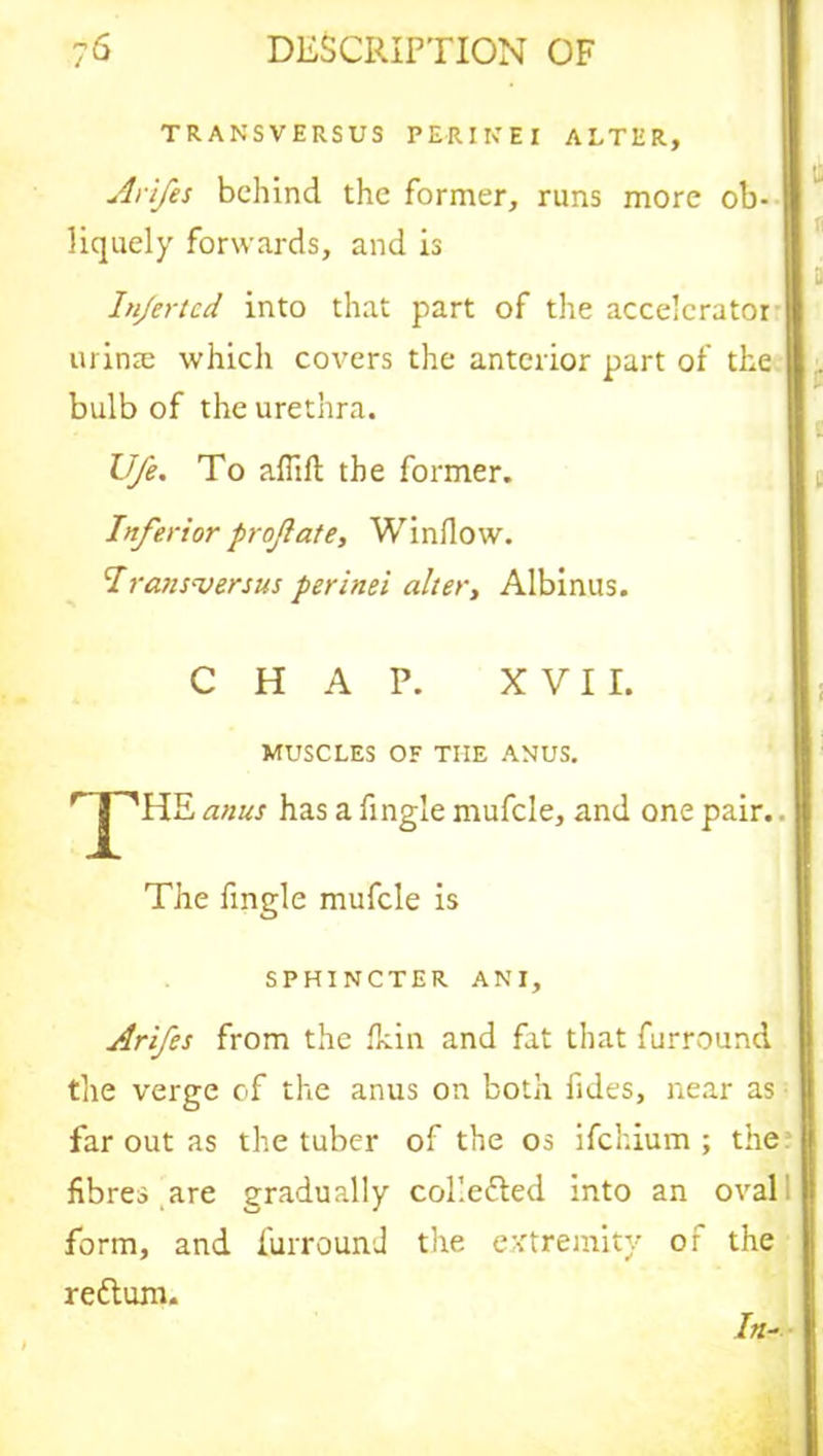 TRANSVERSUS PERIKEI ALTER, Arifes behind the former, runs more ob- liquely forwards, and is D Infertcd into that part of the accelerator urinte which covers the anterior part of the bulb of the urethra. Ufe, To aflift the former. Inferior profate. Window. Iransversus perinei alter, Albinus. CHAP. XVII. MUSCLES OF THE ANUS. rjpiIE anus has a fingle mufcle, and one pair.. The fingle mufcle is SPHINCTER ANI, Arifes from the Ik in and fat that furround the verge of the anus on both fides, near as far out as the tuber of the os ifehium ; the fibres are gradually collected into an oval' form, and furrounJ the extremity of the redlum. /«-