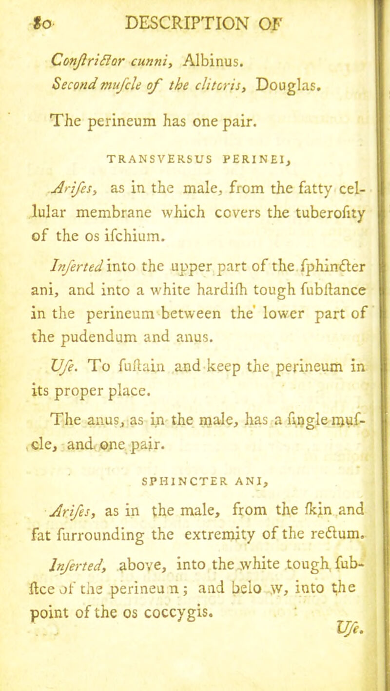 Conjlrittor cunni, Albinus. Secondmu/cle of the clitoris, Douglas. The perineum has one pair. transversus perinei, Arifes, as in the male, from the fatty cel- lular membrane which covers the tuberofity of the os ifchium. Inferted into the upper part of the fphin&er ani, and into a white hardifh tough fubllance in the perineum between the' lower part of the pudendum and anus. TJfe. To fuflain and keep the perineum in its proper place. The anus, as in the male, has a angle rpuf- cle, and. one pair. SPHINCTER ANI, Arifes, as in the male, from the fkin and fat furrounding the extremity of the redlum. Inferted, above, into the white tough fub- ftce of the perineun; and beio w, into fhe point of the os coccygis. life.