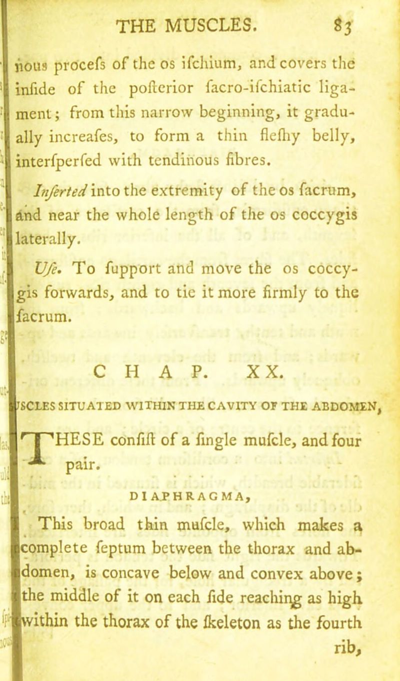 lious procefs of the os ifehium, and covers the infide of the poftcrior facro-ifchiatic liga- ment ; from this narrow beginning, it gradu- ally increafes, to form a thin flefliy belly, interfperfed with tendinous fibres. Inferted into the extremity of the os facrum, and near the whole length of the os coccygis laterally. Ufe. To fupport and move the os coccy- gis forwards, and to tie it more firmly to the facrum. CHAP. XX. SCLES SITUATED WITHIN THE CAVITY OF THE ABDOMEN, HPHESE confift of a fingle mufcle, and four *•* pair. DIAPHRAGM A, This broad thin mufcle, which makes a complete feptum between the thorax and ab- domen, is concave below and convex above; the middle of it on each fide reaching as high ithin the thorax of the Ikeleton as the fourth rib.
