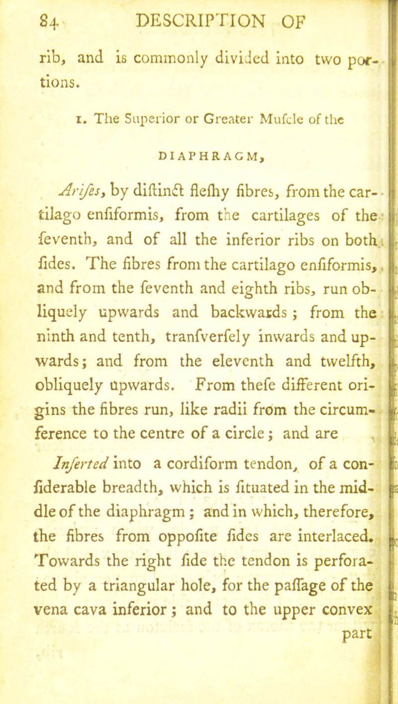 rib, and is commonly divided into two por- tions. i. The Superior or Greater Mufcle of the DIAPHRAGM, Arifes, by diftinft flefhy fibres, from the car- tilage enfiformis, from the cartilages of the feventh, and of all the inferior ribs on both lides. The fibres from the cartilago enfiformis, and from the feventh and eighth ribs, run ob- liquely upwards and backwards; from the ninth and tenth, tranfverfely inwards and up- wards; and from the eleventh and twelfth, obliquely upwards. From thefe different ori- gins the fibres run, like radii from the circum- ference to the centre of a circle; and are Inferted into a cordiform tendon, of a con- fiderable breadth, which is fituated in the mid- dle of the diaphragm ; and in which, therefore, the fibres from oppofite fides are interlaced. Towards the right fide the tendon is perfora- ted by a triangular hole, for the paffage of the vena cava inferior; and to the upper convex ■ part