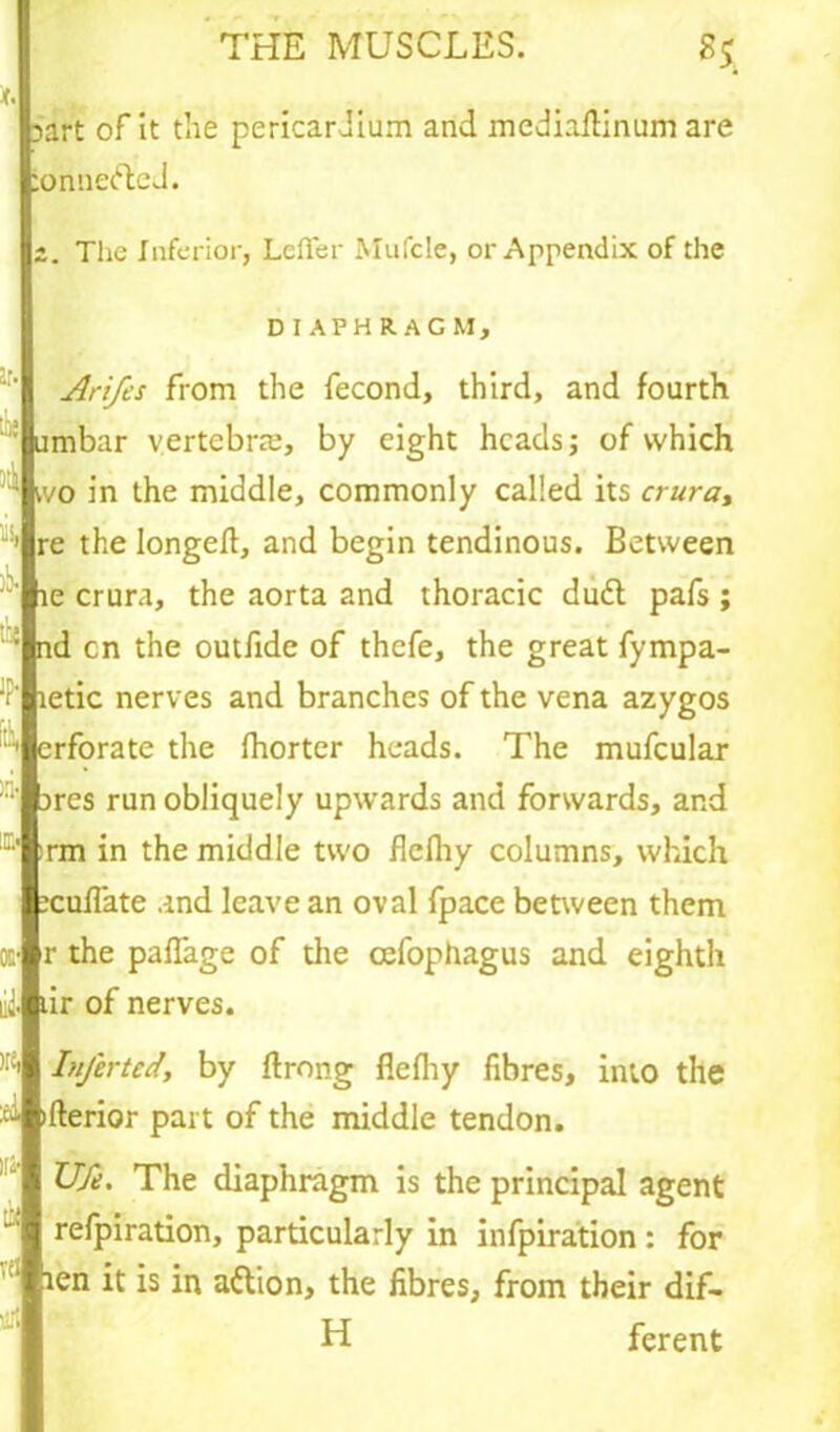 3art of it the pericardium and mcdiaflinum are ionnefted. z. The Inferior, Leffer Mufcle, or Appendix of the DIAPHRAGM, Arifes from the fecond, third, and fourth urnbar vertebra;, by eight heads; of which ' wo in the middle, commonly called its crura, 1 re the longed, and begin tendinous. Between le crura, the aorta and thoracic dudt pafs ; ; nd cn the outfide of thefe, the great fympa- ' letic nerves and branches of the vena azygos erforate the fhorter heads. The mufcular •' jres run obliquely upwards and forwards, and r-' :rm in the middle two flefliy columns, which icuffate and leave an oval fpace between them os- r the paflage of the cefophagus and eighth lid. ur of nerves. ,I£| Infer ted, by ftrong flefliy fibres, into the ;:i ifterior part of the middle tendon. Ufe. The diaphragm is the principal agent - refpiration, particularly in infpiration : for ten it is in attion, the fibres, from their dif- H ferent