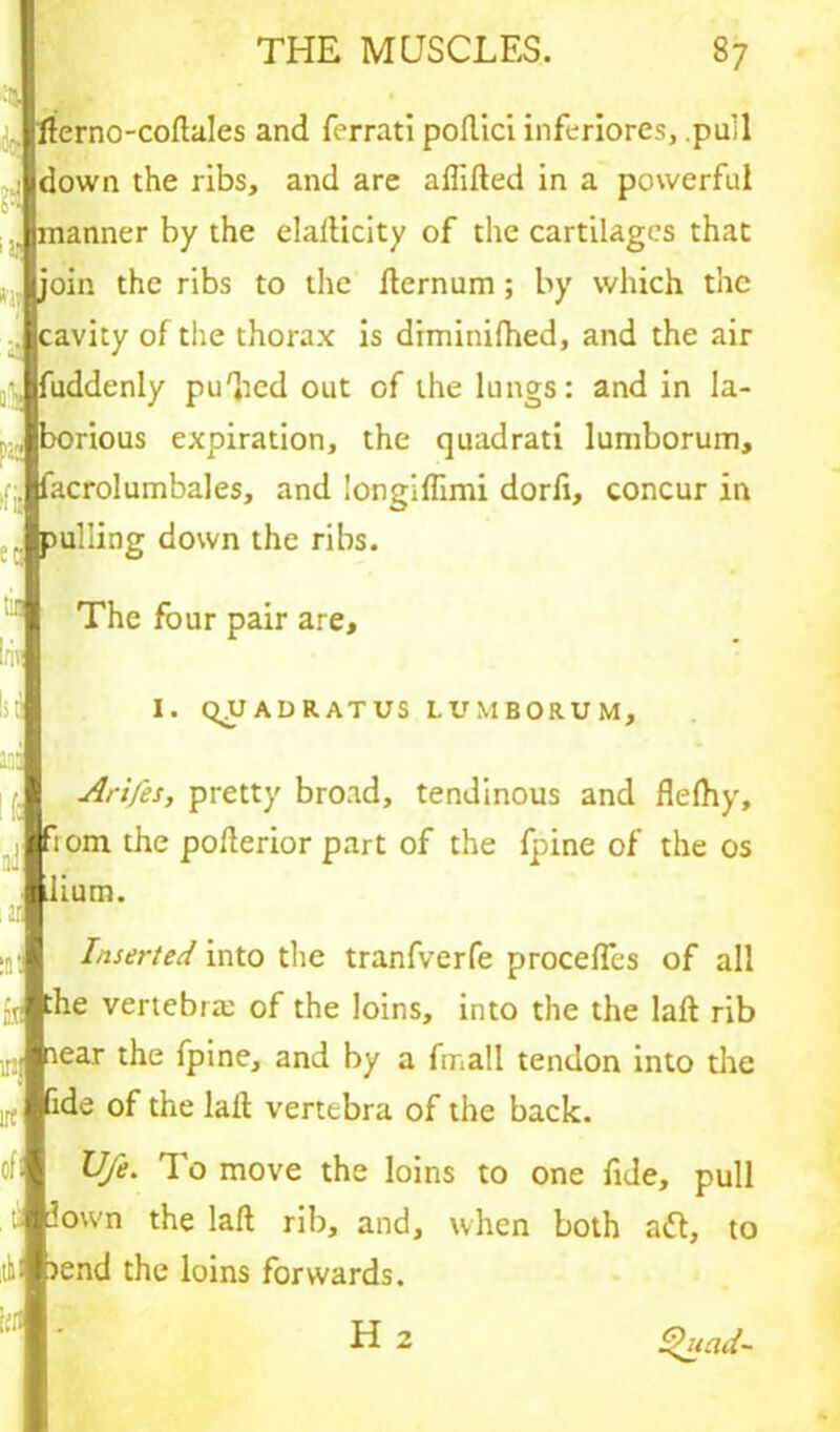 fterno-coftales and ferrati poftici inferiores, pall down the ribs, and are aflifted in a powerful .. manner by the elallicity of the cartilages that join the ribs to the fternum ; by which the cavity of the thorax is diminilhed, and the air uddenly pu'hed out of the lungs: and in la- borious expiration, the quadrati lumborum, acrolumbales, and longiflimi dorfi, concur in pulling down the ribs. ifij The four pair are. I. QUADRATUS LUMBORUM, Arifes, pretty broad, tendinous and flelhy, iom the pofterior part of the fpine of the os dium. Inserted into the tranfverfe procefles of all :he vertebra: of the loins, into the the laft rib Qear the fpine, and by a fmall tendon into the ide of the Jail vertebra of the back. U/e. To move the loins to one fide, pull ‘own the laft rib, and, when both aft, to till lend the loins forwards.