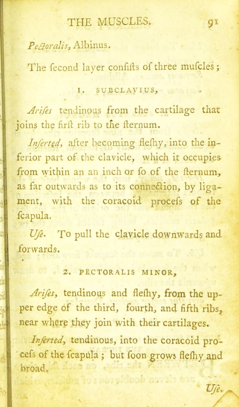 PeBpralist Albums. The fecond layer confifts of three mufcles; I. SUBCLAV I US, Arifes tendinous from the cartilage that joins the firft rib to the fternum. In/erted, after becoming flefhy, into the in- ferior part of the clavicle, which it occupies from within an an inch or fo of the fternum, as far outwards as to its connexion, by liga- ment, with the coracoid procefs of the fcapula. Ufe. To pull the clavicle downwards and forwards. 2. PECTORAL IS MINOR, Arifes, tendinous and flefhy, from the up- per edge of the third, fourth, and fifth ribs, near where they join with their cartilages. In/erted, tendinous, into the coracoid pro- cefs of the fcapula ; but foon grows flefhy and broad.