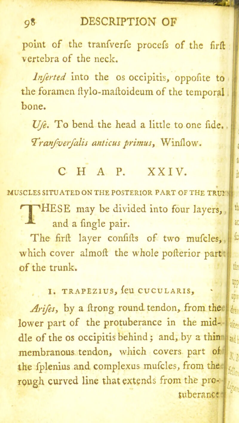 point of the tranfverfe procefs of the firft vertebra of the neck. lnferted into the os occipitis, oppofite to the foramen ilylo-mailoideum of the temporal bone. U/e. To bend, the head a little to one fide. 'Tranfverfalis anticus primus, Window. CHAP. XXIV. MUSCLES SITUATED ON THE POSTERIOR PART OF THE TRUI f | 1HESE may be divided into four layers, |:- -*■ and a fingle pair. The firft layer confifts of two mufcles, Ij • which cover almoft the whole pofterior part: of the trunk. I to I. TRAPEZIUS, feu CUCULARIS, tppi Ari/es, by a ftrong round tendon, from the Irfr, lower part of the protuberance in the mid- die of the os occipitis behind; and, by a thin membranous tendon, which covers part oi . the fplenius and complexus mufcles, from the j. rough curved line that extends from the pro- j tuberance