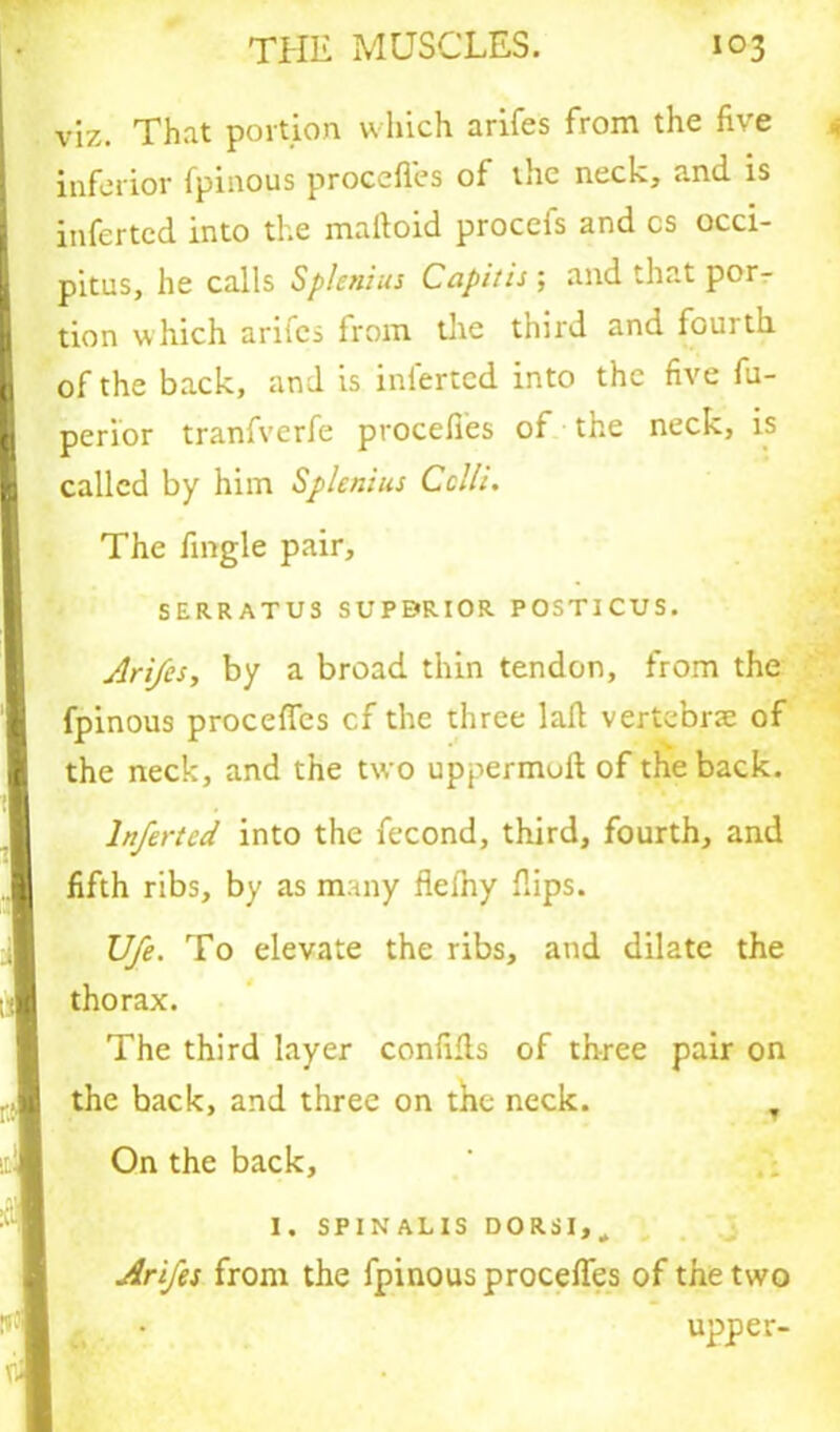 viz. That portion which arifes from the five inferior fpinous procefies of the neck, and is I inferted into the maftoid procefs and cs occi- pitus, he calls Splenius Capitis ; and that por- I tion which arifes from the third and fourth I of the back, and is inferted into the five fu- I perior tranfverfe procefies of the neck, is I called by him Splenius Cclli. The fingle pair, SERRATUS SUPERIOR POSTICUS. Arifes, by a broad thin tendon, from the fpinous procefies cf the three laid vertebrae of I the neck, and the two uppermuft of the back. I Inferted into the fecond, third, fourth, and fifth ribs, by as many flefhy flips. Ufe. To elevate the ribs, and dilate the thorax. The third layer confifls of three pair on . I the back, and three on the neck. T !rj| On the back, I. SPINALIS DORSI,„ Arifes from the fpinous procefies of the two • 1 uPPer-