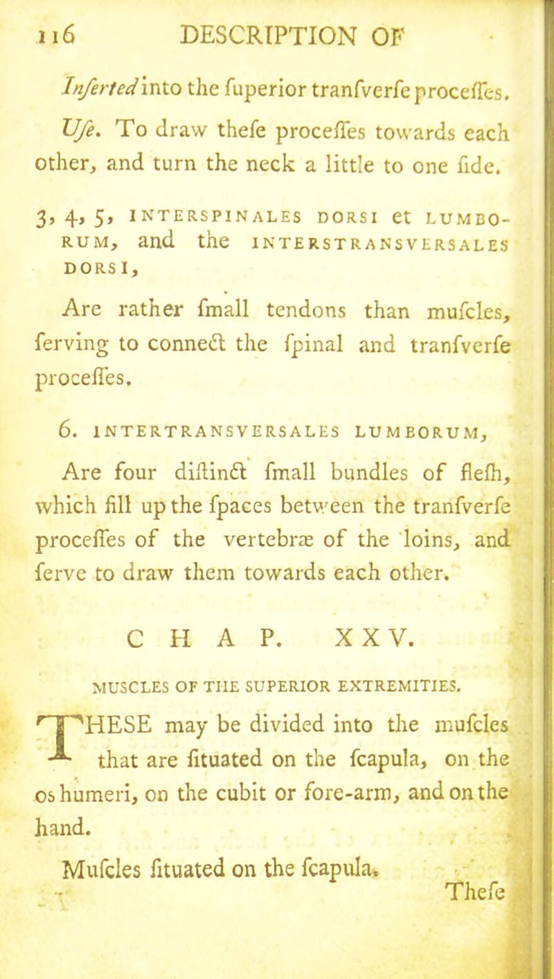 Infer ted into the fuperior tranfverfeprocefles. Ufe. To draw thefe procefles towards each other, and turn the neck a little to one fide. 3, 4, 5, interspinales dorsi et lumbo- rum, and the interstransversales DORS I, Are rather fmall tendons than mufcles, ferving to conned the fpinal and tranfverfe procefles. 6. intertransversal.es lumeorum. Are four diflind fmall bundles of flefh, which fill up the fpaces between the tranfverfe procefles of the vertebras of the loins, and ferve to draw them towards each other. \ ] C PI A P. XXV. MUSCLES OF THE SUPERIOR EXTREMITIES. r_jr‘'HESE may be divided into the mufcles -*■ that are fituated on the fcapula, on the os humeri, on the cubit or fore-arm, and on the hand. Mufcles fituated on the fcapula, Thefe.