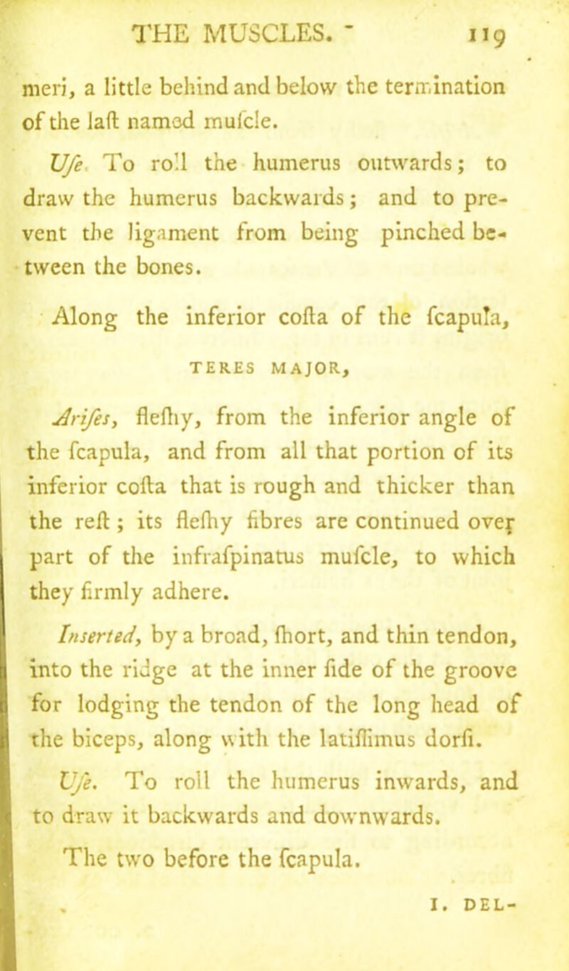 meri, a little behind and below the termination of the laft named naulcle. TJfe To roll the humerus outwards; to draw the humerus backwards; and to pre- vent the ligament from being pinched be- tween the bones. Along the inferior cofta of the fcapula, TERES MAJOR, Jri/es, flefliy, from the inferior angle of the fcapula, and from all that portion of its inferior cofta that is rough and thicker than the reft ; its flefhy fibres are continued over part of the infrafpinatus mufcle, to which they firmly adhere. Inserted, by a broad, fhort, and thin tendon, into the ridge at the inner fide of the groove for lodging the tendon of the long head of the biceps, along with the latifiimus dorfi. XJj'e. To roll the humerus inwards, and to draw it backwards and downwards. The two before the fcapula.