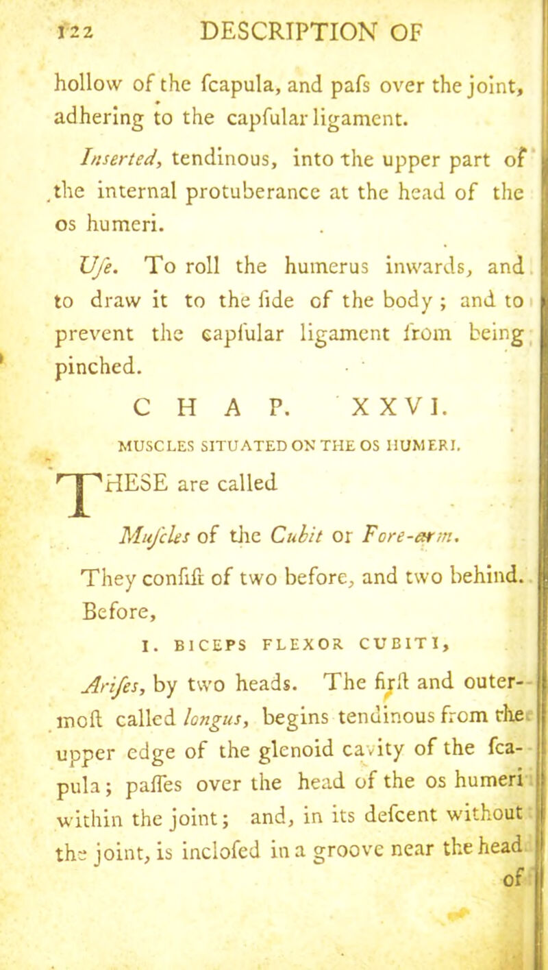 hollow of the fcapula, and pafs over the joint, adhering to the capfular ligament. Inserted, tendinous, into the upper part of the internal protuberance at the head of the os humeri. JJje. To roll the humerus inwards, and to draw it to the fide of the body ; and to prevent the capfular ligament from being pinched. CHAP. XXVI. MUSCLES SITUATED ON THE OS HUMERI. T HESE are called Mufcles of the Cubit or Fore-arm. They confifr of two before, and two behind. Before, I. BICEPS FLEXOR CUBITI, Ari/es, by two heads. The fijft and outer- inofl called longus, begins tendinous from the upper edge of the glenoid cavity of the fca- pula ; palfes over the head of the os humeri within the joint; and, in its defeent without the joint, is inclofed in a groove near the head