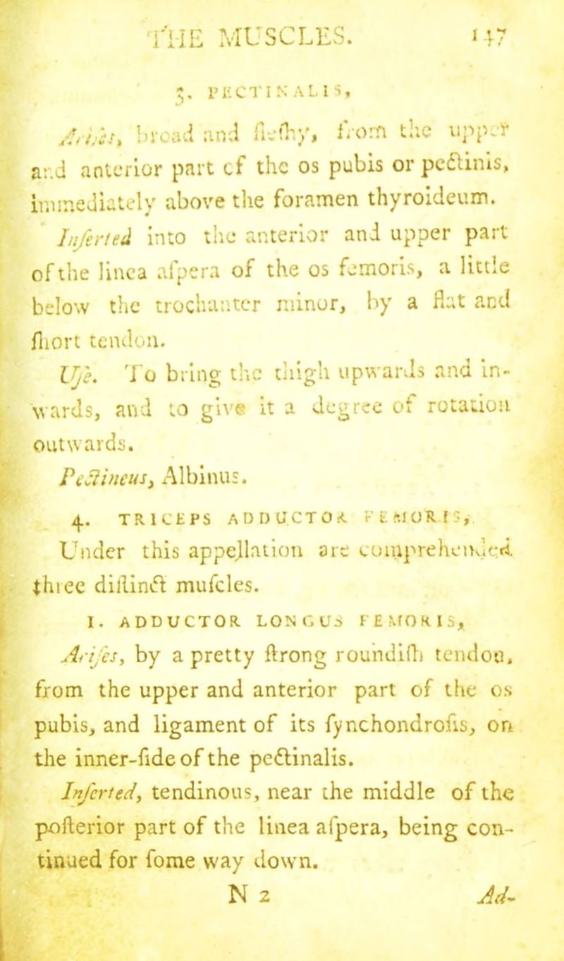 J. PECTIN ALl 5, /,hei> broad and flelhy, from the upper ar.d anterior part cf the os pubis or peftinis, immediately above the foramen thyroideum. Infer ted into the anterior and upper part of the linca afpera of the os femoris, a little below the trochanter minor, by a fiat and fiiort tendon. Ujh To bring the thigh upwards and in- wards, and to give it a degree ot rotation outwards. PcJiineus, Albinus. 4. TRICEPS ADDUCTOR FEMORIS, Under this appellation arc comprehended thiec dillinft mufcles. I. ADDUCTOR LON C Ui FEMORIS* Arij'es, by a pretty flrong roundifli tendon, from the upper and anterior part of the os pubis, and ligament of its fynchondrofts, on the inner-fideof the pettinalis. Inferred, tendinous, near the middle of the pofterior part of the linea afpera, being con- tinued for fome way down. N 2 Ad-
