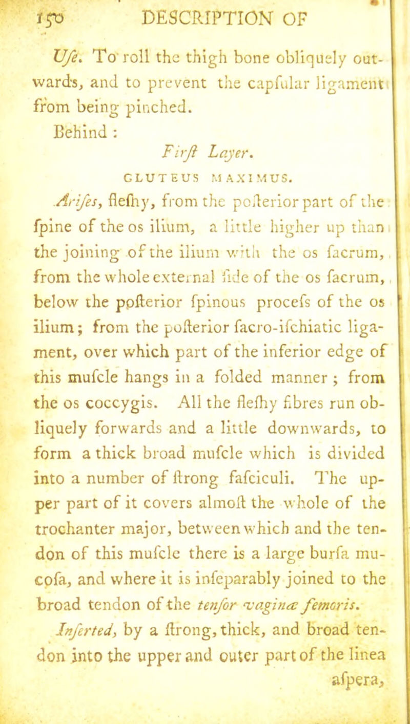 Vfe. To roll the thigh bone obliquely out- ward's, and to prevent the capfular ligament from being pinched. Behind : Firjl Layer. GLUTEUS MAXIMUS. Arifes, flefny, from the poderior part of the fpine of the os ilium, a little higher up than the joining of the ilium with the os facrum, from the whole external fide of the os facrum, below the pofterior fpinous procefs of the os ilium; from the poderior facro-ifchiatic liga- ment, over which part of the inferior edge of this mufcle hangs in a folded manner ; from the os coccygis. All the flelhy fibres run ob- liquely forwards and a little downwards, to form a thick, broad mufcle which is divided into a number of llrong fafciculi. The up- per part of it covers almod the whole of the trochanter major, between which and the ten- don of this mufcle there is a large burfa mu- cofa, and where it is infeparably joined to the broad tendon of the ten/or vagina? femoris. Inferted, by a drong, thick, and broad ten- don into the upper and outer part of the Iinea afpera.