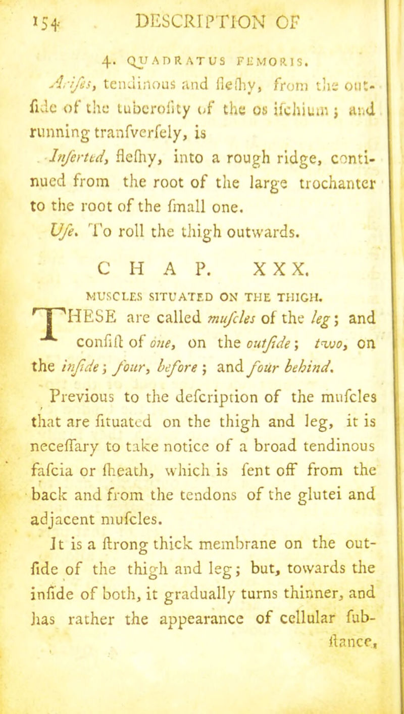 4. QIJADRATUS FEMORIS. Arifes, tendinous and fielhy, from the out- fide of* the tubcrofity of the os ifehium j ami running tranfverfely, is Inferttd, flelhy, into a rough ridge, conti- nued from the root of the large trochanter to the root of the frnall one. Ufe. To roll the thigh outwards. CHAP. XXX. MUSCLES SITUATED ON THE THIGH. nPHESE are called mu/cles of the leg; and confift of one, on the outfide; two, on the injtde; four, before ; and four behind. Previous to the defeription of the mufcles that are fituated on the thigh and leg, it is neceffary to take notice of a broad tendinous fafeia or fheath, which is fent off from the r back and from the tendons of the glutei and adjacent nnifcles. J t is a ftrong thick membrane on the out- fide of the thigh and leg; but, towards the infide of both, it gradually turns thinner, and Jus rather the appearance of cellular fub- llance.