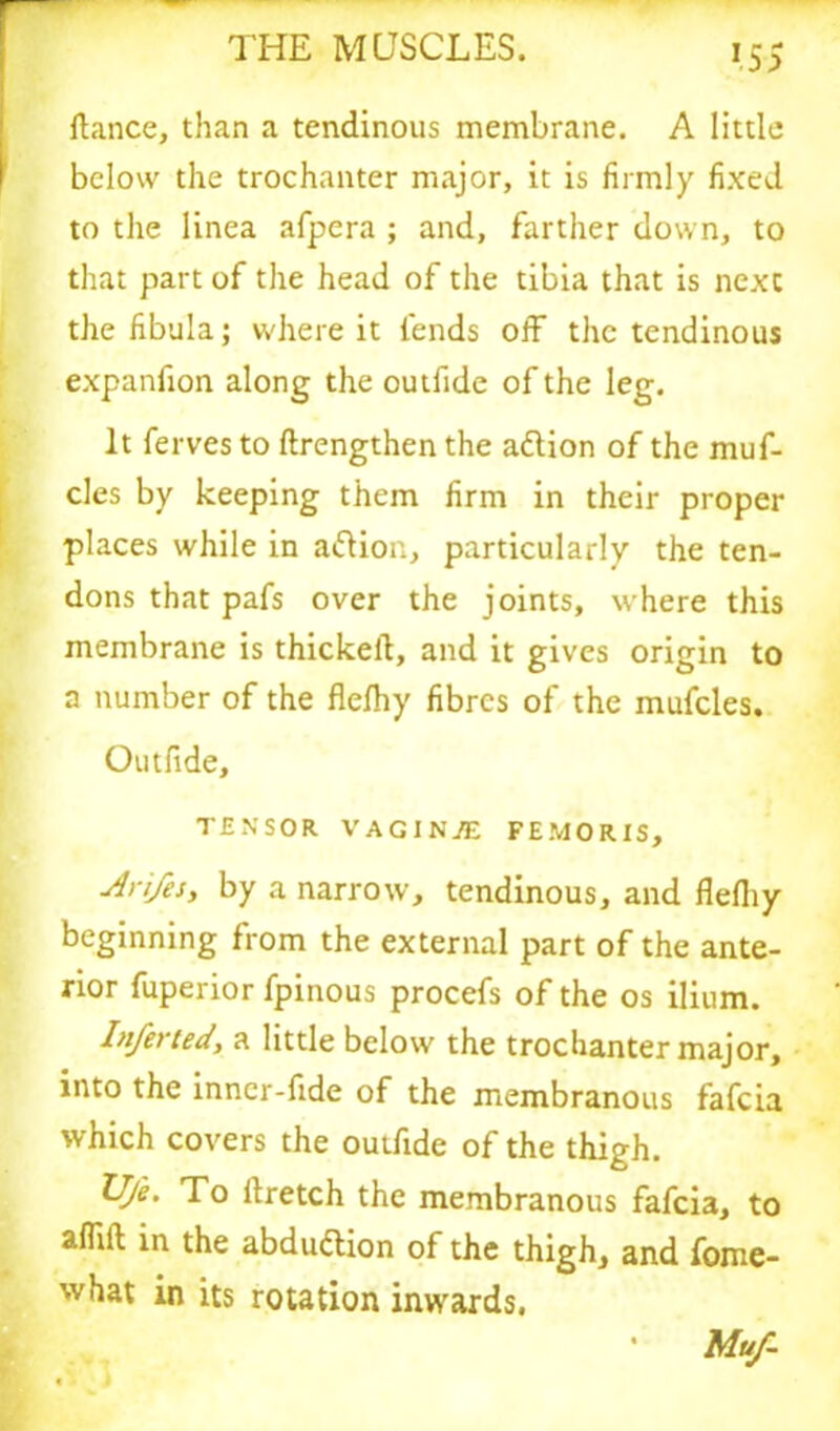 fiance, than a tendinous membrane. A little below the trochanter major, it is firmly fixed to the linea afpera ; and, farther down, to that part of the head of the tibia that is next the fibula; where it lends off the tendinous expanfion along the outfide of the leg. It ferves to (Lengthen the attion of the muf- cles by keeping them firm in their proper places while in a&ion, particularly the ten- dons that pafs over the joints, where this membrane is thickefi, and it gives origin to a number of the flefliy fibres of the mufcles. Outfide, TENSOR VAGIN/E FEMORIS, Ari/es, by a narrow, tendinous, and flefiiy beginning from the external part of the ante- rior fuperior fpinous procefs of the os ilium. Inferted, a little below the trochanter major, into the inner-fide of the membranous fafeia which covers the outfide of the thigh. U/e. To ftretch the membranous fafeia, to afiilt in the abduction of the thigh, and fome- what in its rotation inwards. Mu/-