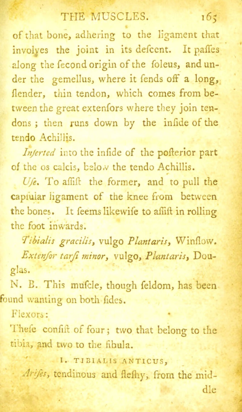 nr THE MUSCLES. 16; of that bone, adhering to the ligament that involves the joint in its aefccnt. It paffes along the fecond origin of the foleus, and un- der the gemellus, where it fends off a long, (lender, tixin tendon, which comes from be- tween the great exter.fors where they join ten- dons ; then runs down by the infide of the tendo Achillis. Injertcd into the infide of the pofterior part of the os calcis, belo.v the tendo Achillis. Ufe. To affift the former, and to pull the capfuiar ligament of the knee from between the bones. It feems like wife to alhft in rolling the foot inwards. Tibialis gracilis, vulgo Plantaris, Window. Extenfor tarfi minor, vulgo, Plantaris, Dou- glas. N. B. This mufcle, though feldom, has been found wanting on both fides. Flexors: '1 hefe confhf of four; two that belong to the tibia, jmd two to the fibula. 1. TIBIALIS ANT1CUS, Arifes, tendinous and flefliy, from the mid- dle