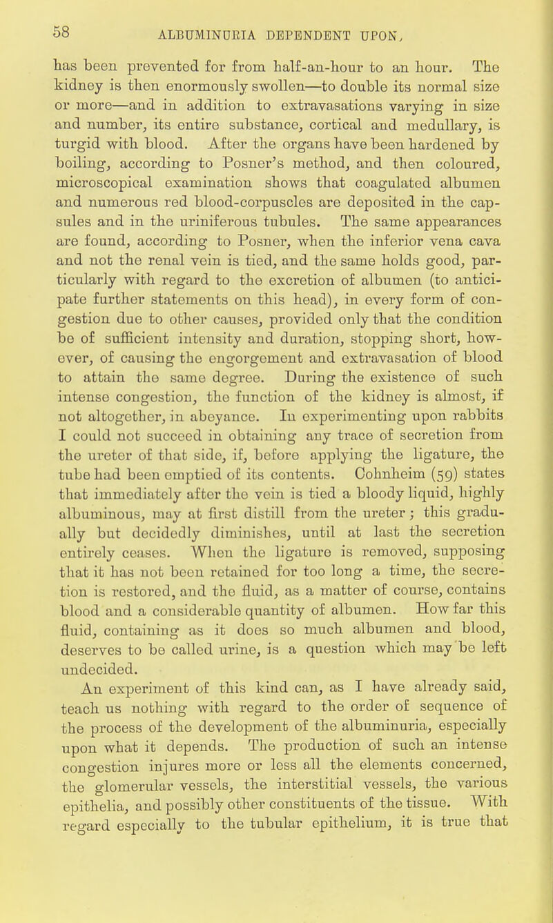 has been prevented for from half-an-hour to an hour. The kidney is then enormously swollen—to double its normal size or more—and in addition to extravasations varying in size and number, its entire substance, cortical and medullary, is tui'gid with blood. After the organs have been hardened by boiling, according to Posner's method, and then coloured, microscopical examination shows that coagulated albumen and numerous red blood-corpuscles are deposited in the cap- sules and in the uriniferous tubules. The same appearances are found, according to Posner, when the inferior vena cava and not the renal vein is tied, and the same holds good, par- ticularly with regard to the excretion of albumen (to antici- pate further statements on this head), in every form of con- gestion due to other causes, provided only that the condition be of sufficient intensity and duration, stopping short, how- over, of causing the engorgement and extravasation of blood to attain the same degree. During the existence of such intense congestion, the function of the kidney is almost, if not altogether, in abeyance. In experimenting upon rabbits I could not succeed in obtaining any trace of secretion from the ureter of that side, if, before applying the ligature, the tube had been omptied of its contents. Cohnheim (59) states that immediately after the vein is tied a bloody liquid, highly albuminous, may at first distill from the ureter; this gradu- ally but decidedly diminishes, until at last the secretion entirely ceases. When the ligature is removed, supposing that it has not been retained for too long a time, the secre- tion is restored, and tho fluid, as a matter of course, contains blood and a considerable quantity of albumen. How far this fluid, containing as it does so much albumen and blood, deserves to be called urine, is a question which may be left undecided. An experiment of this kind can, as I have already said, teach us nothing with regard to the order of sequence of the process of the development of the albuminuria, especially upon what it depends. The production of such an intense congestion injures more or less all the elements concerned, the glomerular vessels, the interstitial vessels, the various epithelia, and possibly other constituents of the tissue. With regard especially to the tubular epithelium, it is true that