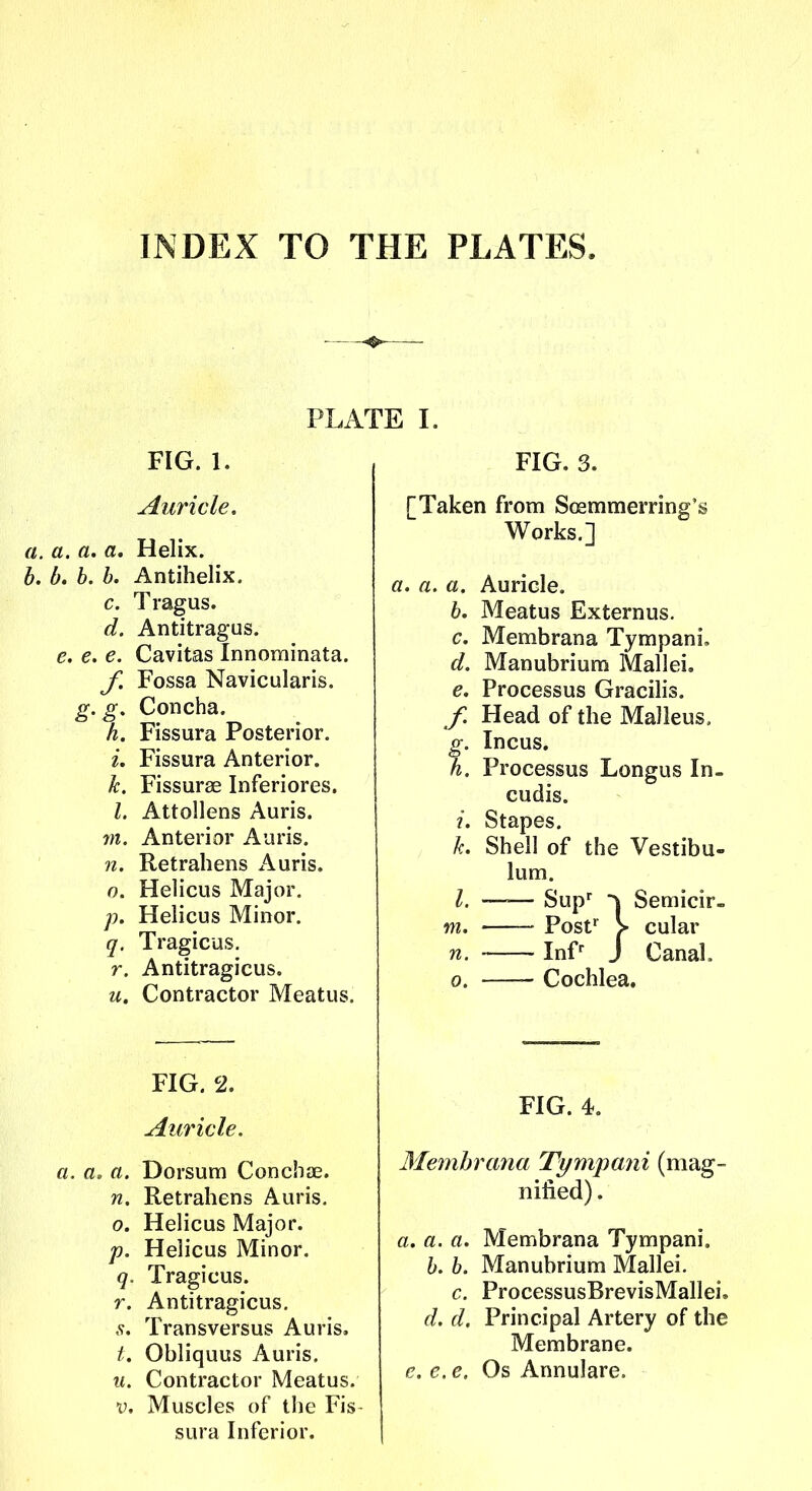 INDEX TO THE PLATES. PLATE I. FIG. 1. Auricle. a. a. a, a. Helix. b. b, b. b. Antihelix. c. Tragus. d. Antitragus. e. e, e. Cavitas Innominata. Fossa Navicularis. g.g. Concha. h. Fissura Posterior. i. Fissura Anterior. k. Fissurse Inferiores. I. Attollens Auris. m. Anterior Auris. n. Retrahens Auris. 0. Helicus Major. p. Helicus Minor. q. Tragicus. r. Antitragicus. u. Contractor Meatus. FIG. 2. Auricle. a, a. n. 0. V- r. Dorsum ConchiE. Retrahens Auris. Helicus Major. Helicus Minor. Tragicus. Antitragicus. s, Transversus Auris, /. Obliquus Auris. u. Contractor Meatus. V. Muscles of the Fis- sura Inferior. FIG. 3. [Taken from Sosmmerring's Works.] a. a. a. Auricle. b. Meatus Externus. c. Membrana Tympani, d. Manubrium Mallei. e. Processus Gracilis. /■ Head of the Malleus. Incus. f. Processus Longus In- cudis. i. Stapes. k. Shell of the Vestibu- lum. I. —— Sup^ ^ Semicir- m. Post^ > cular n. Inf^ J Canal. 0. Cochlea. FIG. 4. 3Iembrana Tympani (mag- nified) . a, a. a. Membrana Tympani. 6. b. Manubrium Mallei. c. ProcessusBrevisMallei, d. d. Principal Artery of the Membrane. e. e. e. Os Annulare.