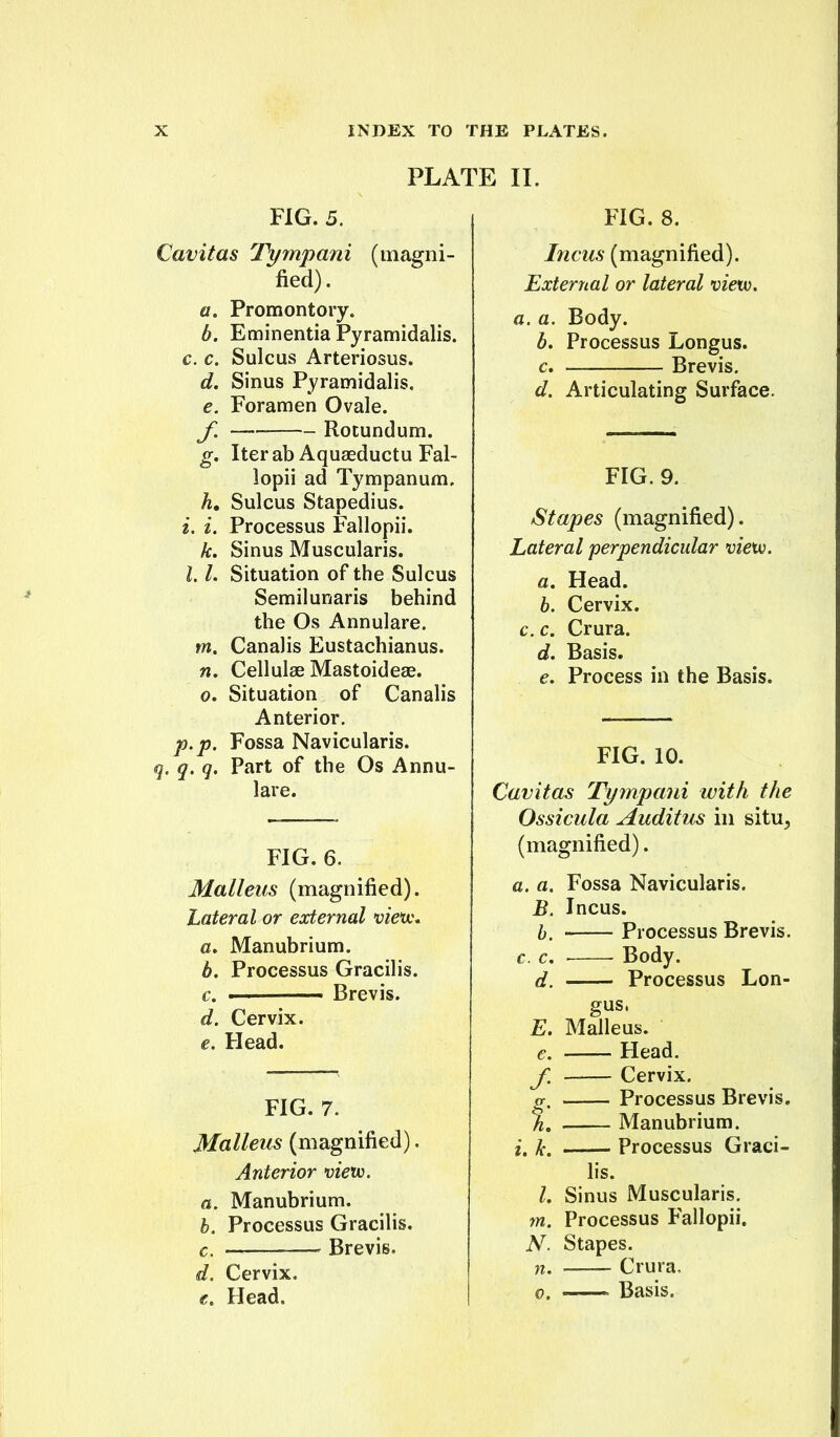 PLATE II. FIG. 5. Cavitas Tympani (magni- fied). a. Promontory. b. Eminentia Pyramidalis. c. c. Sulcus Arteriosus. d. Sinus Pyramidalis. e. Foramen Ovale. y. Rocundum. g. Iterab Aquaeductu Fal- lopii ad Tympanum. h. Sulcus Stapedius. i. i. Processus Fallopii. k. Sinus Muscularis. 1.1. Situation of the Sulcus Semilunaris behind the Os Annulare, m. Canalis Eustachianus. n. Cellulae Mastoideae. 0, Situation of Canalis Anterior. p.p. Fossa Navicularis. q. q. q. Part of the Os Annu- lare. FIG. 6. Malleus (magnified). Lateral or external vienc^ a. Manubrium. b. Processus Gracilis. c. ■ ■ Brevis. d. Cervix. e. Head. FIG. 7. Malleus (magnified). Anterior vierv. a. Manubrium. b. Processus Gracilis. c. . Brevis. d. Cervix. €. Head. FIG. 8. Incus (magnified). External or lateral vieiv. a. a. Body. b. Processus Longus. c. Brevis. d. Articulating Surface. FIG. 9. Stapes (magnified). Lateral perpendicular vie^w. a. Head. b. Cervix. c. c. Crura. d. Basis. e. Process in the Basis. FIG. 10. Cavitas Tympani with the Ossicula AuditiAs in situ, (magnified). a. a. Fossa Navicularis. B. Incus. b. • Processus Brevis. c. c, ■ Body. d. Processus Lon- gus. E. Malleus. e. Head. f, Cervix. g, Processus Brevis. h, Manubrium. i. k. Processus Graci- lis. I. Sinus Muscularis. 7n. Processus Fallopii. N. Stapes. n. Crura. 0. Basis.