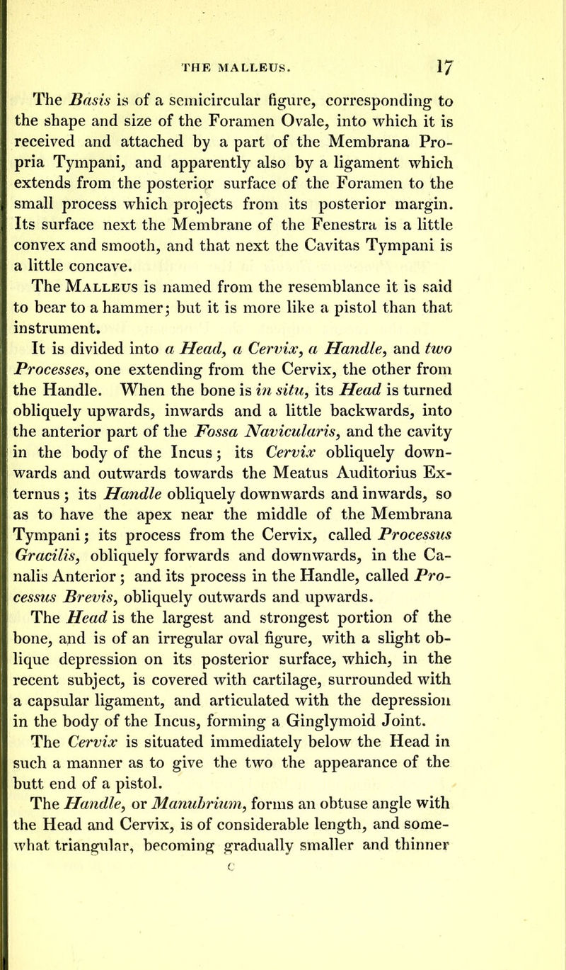 The Basis is of a semicircular figure, corresponding to the shape and size of the Foramen Ovale, into which it is received and attached by a part of the Membrana Pro- pria Tympani, and apparently also by a ligament which extends from the posterior surface of the Foramen to the small process which projects from its posterior margin. Its surface next the Membrane of the Fenestra is a little convex and smooth, and that next the Cavitas Tympani is a little concave. The Malleus is named from the resemblance it is said to bear to a hammer; but it is more like a pistol than that instrument. It is divided into a Head, a Cervix, a Handle, and two Processes, one extending from the Cervix, the other from the Handle. When the bone is in situ, its Head is turned obliquely upwards, inwards and a little backwards, into the anterior part of the F'ossa JVavicularis, and the cavity in the body of the Incus; its Cervix obliquely down- wards and outwards towards the Meatus Auditorius Ex- ternus ; its Handle obliquely downwards and inwards, so as to have the apex near the middle of the Membrana Tympani; its process from the Cervix, called Processus Gracilis, obliquely forwards and downwards, in the Ca- nalis Anterior; and its process in the Handle, called Pro- cessus Brevis, obliquely outwards and upwards. The Head is the largest and strongest portion of the bone, apd is of an irregular oval figure, with a slight ob- lique depression on its posterior surface, which, in the recent subject, is covered with cartilage, surrounded with a capsular ligament, and articulated with the depression in the body of the Incus, forming a Ginglymoid Joint. The Cervix is situated immediately below the Head in such a manner as to give the two the appearance of the butt end of a pistol. The Handle, or Manubrium, forms an obtuse angle with the Head and Cervix, is of considerable length, and some- what triangular, becoming gradually smaller and thinner c