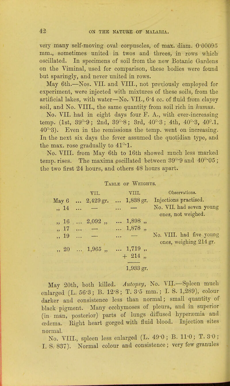 very many self-moving oval corpuscles, of max. diam. 0'0009o mm., sometimes united in twos and threes, in rows which oscillated. In specimens of soil from the new Botanic Gardens on the Viminal, used for comparison, these hodies were found but sparingly, and never united in rows. May 6th.—Nos. VII. and VIII., not previously employed for experiment, were injected with mixtures of these soils, from the artificial lakes, with water—No. VII., 6'4 cc. of fluid from clayey soil, and No. VIII., the same quantity from soil rich in humus. No. VII. had in eight days four F. A., with ever-increasing temp. (1st, 39°'9; 2nd, 39°-8; 3rd, 40° 3; 4th, 40°-3, 40°.l, 40o,3). Even in the remissions the temp, went on increasing. In the next six days the fever assumed the quotidian type, and the max. rose gradually to 410,1. No. VIII. from May 6th to 16th showed much less marked temp, rises. The maxima oscillated between 390,9 and 40°05 ; the two first 24 hours, and others 48 hours apart. Table of Weights VII. MayG ... 2,429gr. „ 14 „ 16 „ 17 „ 19 „ 20 2,092 „ 1,965 „ VIII. Observations. 1,838 gr. Injections practised. — No. VII. had seven young ones, not weighed. 1,898 „ 1,878 „ — No. VIII. had five yoimg ones, weighing 214 gr. 1,719 „ + 214 „ 1,933 gr. May 20th, both killed. Autopsy, No. VII.—Spleen much enlarged (L. 56'3; B. 12'8; T. 3-5 mm.; I. S. 1,289), colour darker and consistence less than normal; small quantity of black pigment. Many ecchymoses of pleura, and in superior (in man, posterior) parts of lungs diffused hyperemia and cedcma. Eight heart gorged with fluid blood. Injection sites normal. No. VIIL, spleen less enlarged (L. 49'0 ; B. 11-0; T. 8 0 ; I. S. 837). Normal colour and consistence; very few granules