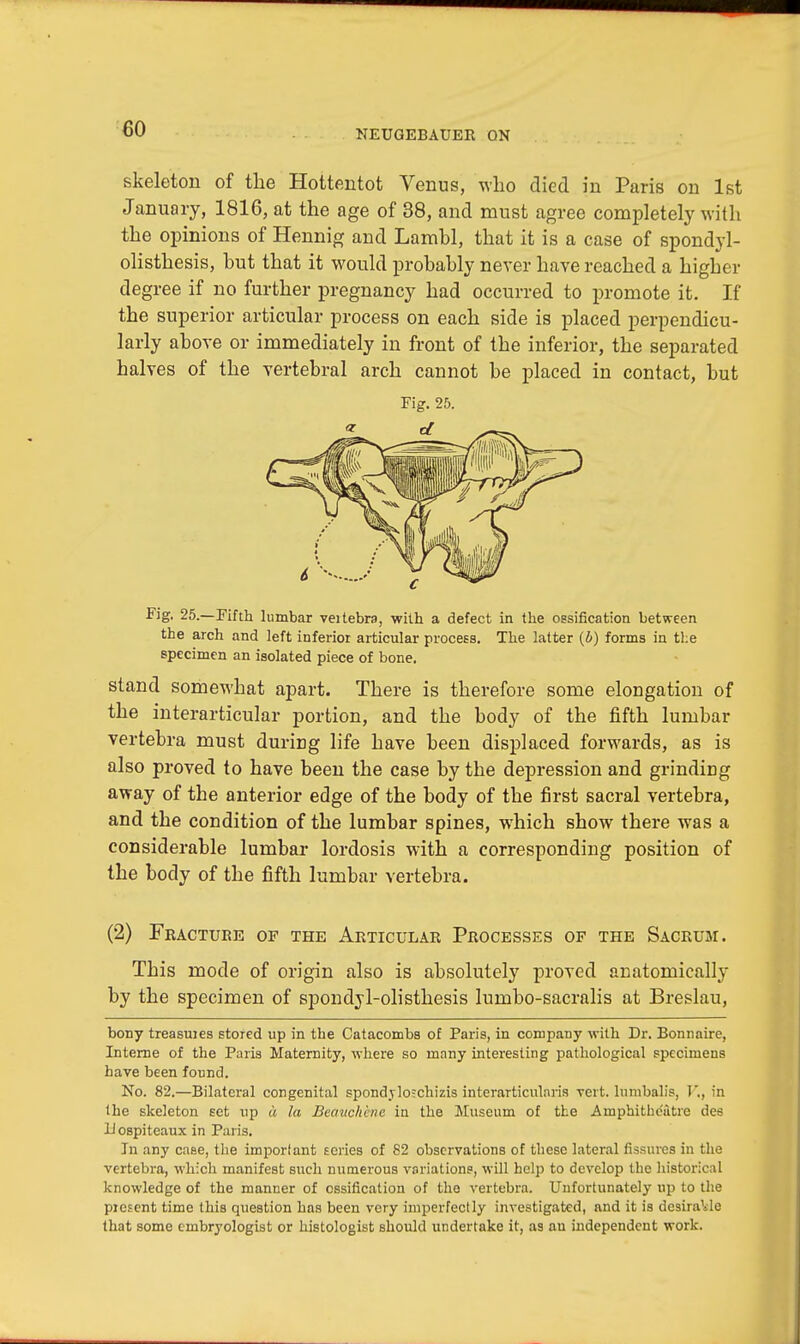 skeleton of the Hottentot Venus, who died in Paris on 1st January, 1816, at the age of 38, and must agree completely with the opinions of Hennig and Lambl, that it is a case of spondyl- olisthesis, but that it would probably never have reached a higher degree if no further pregnancy had occurred to promote it. If the superior articular process on each side is placed perpendicu- larly above or immediately in front of the inferior, the separated halves of the vertebral arch cannot be placed in contact, but Fig. 25. Fig. 25.—Fifth lumbar veitebra, with a defect in the ossification between the arch and left inferior articular process. The latter (b) forms in the specimen an isolated piece of bone. stand somewhat apart. There is therefore some elongation of the interarticular portion, and the body of the fifth lumbar vertebra must during life have been displaced forwards, as is also proved to have been the case by the depression and grinding away of the anterior edge of the body of the first sacral vertebra, and the condition of the lumbar spines, which show there was a considerable lumbar lordosis with a corresponding position of the body of the fifth lumbar vertebra. (2) Fracture of the Articular Processes of the Sacrum. This mode of origin also is absolutely proved anatomically by the specimen of spondylolisthesis lumbo-sacralis at Breslau, bony treasuies stored up in the Catacombs of Paris, in company with Dr. Bonnaire, Interne of the Paris Maternity, where so many interesting pathological specimens have been found. No. 82.—Bilateral congenital spondyloichizis interarticulnris vert, lumbalis, V., in the skeleton Ect up a la Beauch'ene in the Museum of the Amphitheatre des II ospiteaux in Paris. In any case, the important Eeries of 82 observations of these lateral fissures in the vertebra, which manifest such numerous variations, will help to develop the historical knowledge of the manner of ossification of the vertebra. Unfortunately up to the present time this question has been very imperfectly investigated, and it is desirable that some cmbryologist or histologist should undertake it, as au independent work.