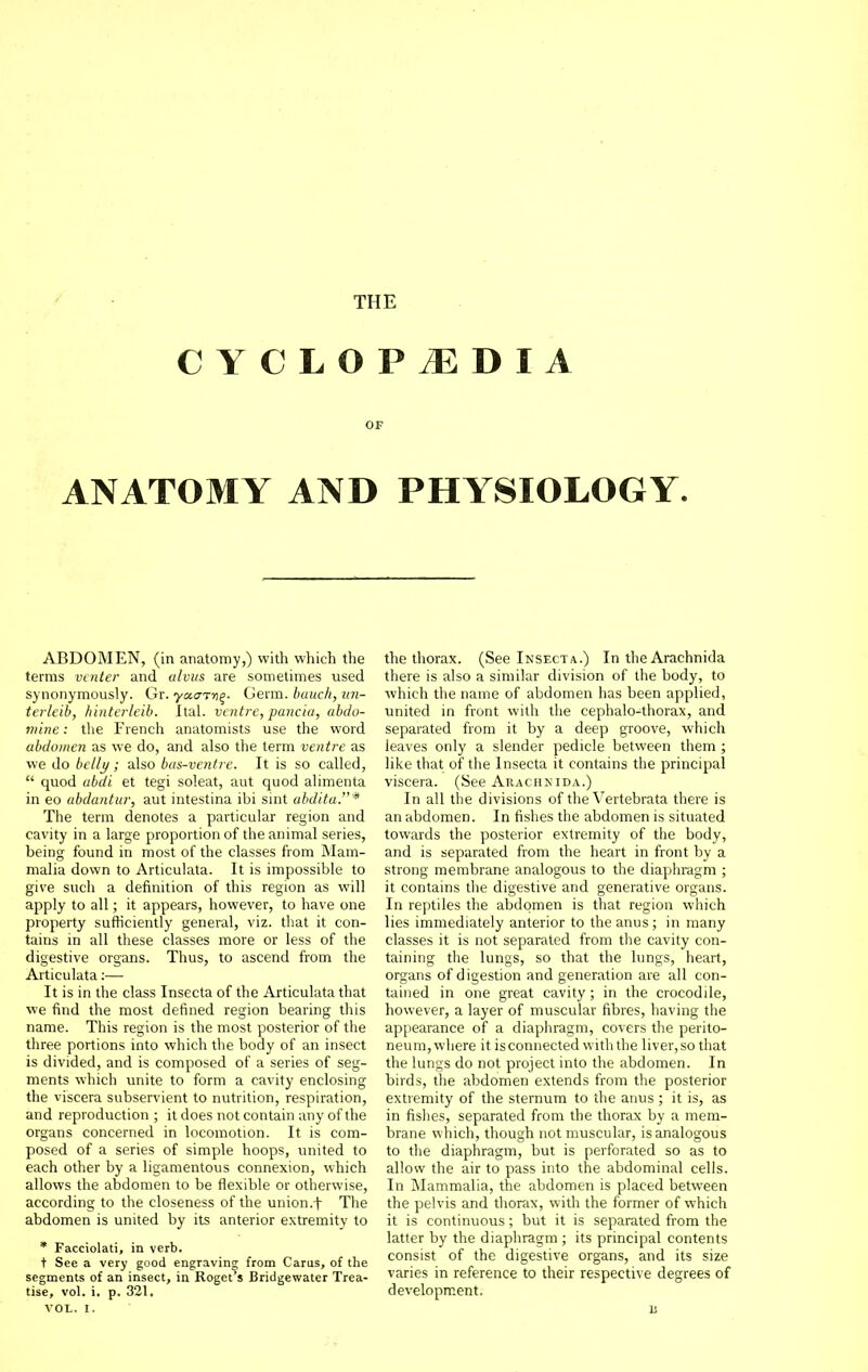 THE CYCLOPAEDIA OF ANATOMY AND PHYSIOLOGY. ABDOMEN, (in anatomy,) with which the terms venter and alvus are sometimes used synonymously. Gr. yctari)^. Germ, bauch, iin- terleib, hinterleib. Ital. ventre, pancki, abdo- mine: the French anatomists use the word abdomen as we do, and also the term ventre as we do belly; also bas-ventre. It is so called,  quod ubdi et tegi soleat, aut quod alimenta in 60 abdantur, aut intestina ibi sint ahditu.* The term denotes a particular region and cavity in a large proportion of the animal series, being found in most of the classes from Mam- malia down to Articulata. It is impossible to give such a definition of this region as will apply to all; it appears, however, to have one property sufficiently general, viz. that it con- tains in all these classes more or less of the digestive organs. Thus, to ascend from the Articulata:— It is in the class Insecta of the Articulata that we find the most defined region bearing this name. This region is the most posterior of the three portions into which the body of an insect is divided, and is composed of a series of seg- ments which unite to form a cavity enclosing the viscera subservient to nutrition, respiration, and reproduction ; it does not contain any of the organs concerned in locomotion. It is com- posed of a series of simple hoops, united to each other by a ligamentous connexion, which allows the abdomen to be flexible or otherwise, according to the closeness of the union.f The abdomen is united by its anterior extremity to * Facciolati, in verb. t See a very good engraving from Cams, of the segments of an insect, in Roget's Bridgewater Trea- tise, vol. i. p. 321. the thorax. (See Insecta.) In the Arachnida there is also a similar division of the body, to which the name of abdomen has been applied, united in front with the cephalo-thorax, and separated from it by a deep groove, which leaves only a slender pedicle between them ; like that of the Insecta it contains the principal viscera. (See Arachnida.) In all the divisions of the Vertebrata there is an abdomen. In fishes the abdomen is situated towards the posterior extremity of the body, and is separated from the heart in front by a strong membrane analogous to the diaphragm ; it contains the digestive and generative organs. In reptiles the abdomen is that region which lies immediately anterior to the anus; in many classes it is not separated from the cavity con- taining the lungs, so that the lungs, heart, organs of digestion and generation are all con- tained in one great cavity ; in the crocodile, however, a layer of muscular fibres, having the appearance of a diaphragm, covers the perito- neum,where it is connected with the liver,so that the lungs do not project into the abdomen. In birds, the abdomen extends from the posterior extremity of the sternum to the anus ; it is, as in fislies, separated from the thorax by a mem- brane which, though not muscular, is analogous to the diaphragm, but is perforated so as to allow the air to pass into the abdominal cells. In Mammalia, the abdomen is placed between the pelvis and thorax, with the former of which it is continuous; but it is separated from the latter by the diaphragm ; its principal contents consist of the digestive organs, and its size varies in reference to their respective degrees of developm.ent.