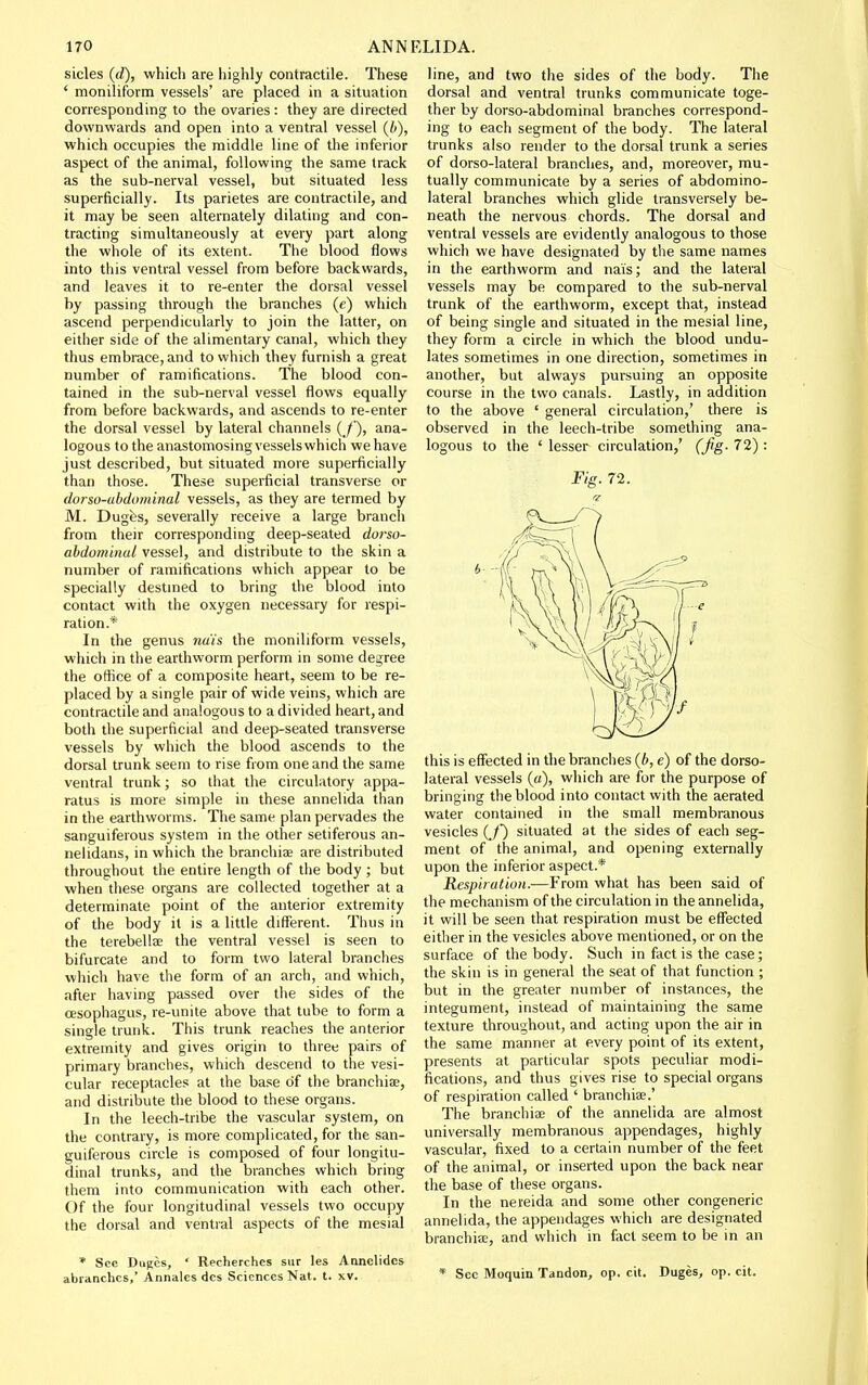 sides (d), which are highly contractile. These ' moniliform vessels' are placed in a situation corresponding to the ovaries : they are directed downwards and open into a ventral vessel (b), which occupies the middle line of the inferior aspect of the animal, following the same track as the sub-nerval vessel, but situated less superficially. Its parietes are contractile, and it may be seen alternately dilating and con- tracting simultaneously at every part along the whole of its extent. The blood flows into this ventral vessel from before backwards, and leaves it to re-enter the dorsal vessel by passing through the branches (e) which ascend perpendicularly to join the latter, on either side of the alimentary canal, which they thus embrace, and to which they furnish a great number of ramifications. The blood con- tained in the sub-nerval vessel flows equally from before backwards, and ascends to re-enter the dorsal vessel by lateral channels (_/'), ana- logous to the anastomosing vessels which we have just described, but situated more superficially than those. These superficial transverse or dor so-abdominal vessels, as they are termed by M. Dugfes, severally receive a large branch from their corresponding deep-seated dorso- abdominal vessel, and distribute to the skin a number of ramifications which appear to be specially destmed to bring the blood into contact with the oxygen necessary for respi- ration.* In the genus nuis the moniliform vessels, which in the earthworm perform in some degree the office of a composite heart, seem to be re- placed by a single pair of wide veins, which are contractile and analogous to a divided heart, and both the superficial and deep-seated transverse vessels by which the blood ascends to the dorsal trunk seem to rise from one and the same ventral trunk; so that the circulatory appa- ratus is more simple in these annelida than in the earthworms. The same plan pervades the sanguiferous system in the other setiferous an- nelidans, in which the branchiae are distributed throughout the entire length of the body ; but when these organs are collected together at a determinate point of the anterior extremity of the body it is a little different. Thus in the terebellae the ventral vessel is seen to bifurcate and to form two lateral branches which have the form of an arch, and which, after having passed over the sides of the oesophagus, re-unite above that tube to form a single trunk. This trunk reaches the anterior extremity and gives origin to three pairs of primary branches, which descend to the vesi- cular receptacles at the base of the branchiae, and distribute the blood to these organs. In the leech-tribe the vascular system, on the contrary, is more complicated, for the san- guiferous circle is composed of four longitu- dinal trunks, and the branches which bring them into communication with each other. Of the four longitudinal vessels two occupy the dorsal and ventral aspects of the mesial * See Dupes, ' Recherches sur les Aanclides abranchcs,' Annales dcs Sciences Nat. t. xv. line, and two the sides of the body. The dorsal and ventral trunks communicate toge- ther by dorso-abdominal branches correspond- ing to each segment of the body. The lateral trunks also render to the dorsal trunk a series of dorso-lateral branches, and, moreover, mu- tually communicate by a series of abdomino- lateral branches which glide transversely be- neath the nervous chords. The dorsal and ventral vessels are evidently analogous to those which we have designated by the same names in the earthworm and nais; and the lateral vessels may be compared to the sub-nerval trunk of the earthworm, except that, instead of being single and situated in the mesial line, they form a circle in which the blood undu- lates sometimes in one direction, sometimes in another, but always pursuing an opposite course in the two canals. Lastly, in addition to the above ' general circulation,' there is observed in the leech-tribe something ana- logous to the ' lesser circulation,' (fig. 72) : Fig. 72. this is effected in the branches (6, e) of the dorso- lateral vessels (a), which are for the purpose of bringing the blood into contact with the aerated water contained in the small membranous vesicles (,/■) situated at the sides of each seg- ment of the animal, and opening externally upon the inferior aspect.* Respiration.—From what has been said of the mechanism of the circulation in the annelida, it will be seen that respiration must be effected either in the vesicles above mentioned, or on the surface of the body. Such in fact is the case; the skin is in general the seat of that function ; but in the greater number of instances, the integument, instead of maintaining the same texture throughout, and acting upon the air in the same manner at every point of its extent, presents at particular spots peculiar modi- fications, and thus gives rise to special organs of respiration called ' branchiae.' The branchiae of the annelida are almost universally membranous appendages, highly vascular, fixed to a certain number of the feet of the animal, or inserted upon the back near the base of these organs. In the neieida and some other congeneric annelida, the appendag;es which are designated branchiee, and which in fact seem to be in an * Sec Moquin Tandon, op. cit. Duges, op. cit.