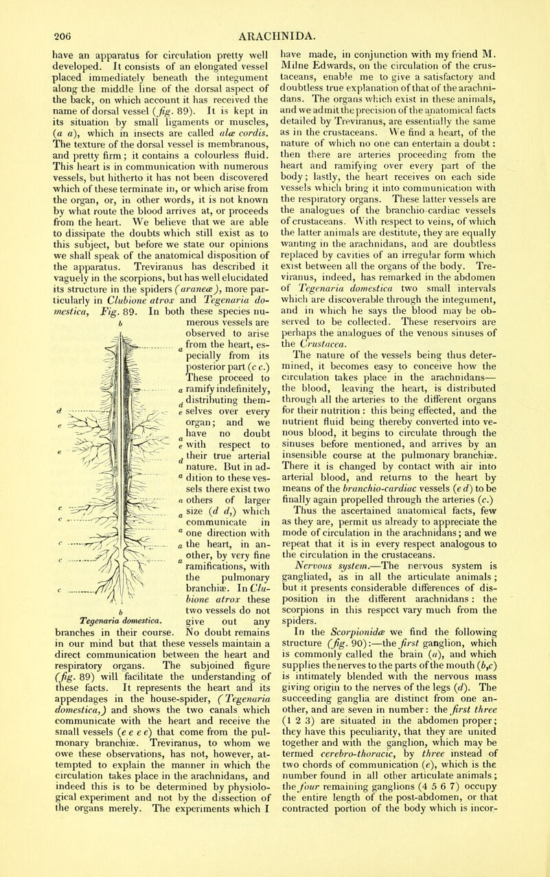 have an apparatus for circulation pretty well developed. It consists of an elongated vessel placed immediately beneath the integument along the middle line of the dorsal aspect of the back, on which account it has received the name of dorsal vessel {Jig. 89). It is kept in its situation by small ligaments or muscles, (a a), which in insects are called alte cordis. The texture of the dorsal vessel is membranous, and pretty firm ; it contains a colourless fluid. This heart is in communication with numerous vessels, but hitherto it has not been discovered which of these terminate in, or which arise from the organ, or, in other words, it is not known by what route the blood arrives at, or proceeds from the heart. We believe that we are able to dissipate the doubts which still exist as to this subject, but before we stale our opinions we shall speak of the anatomical disposition of the apparatus. Treviranus has described it vaguely in the scorpions, but has well elucidated its structure in the spiders (aranecB), more par- ticularly in Clubione atrox and Tegenaria do- mestica, Fig. 89. In both these species nu- b merous vessels are observed to arise ^ from the heart, es- pecially from its posterior part (c c.) These proceed to a ramify indefinitely, ^distributing them- e selves over every organ; and we ^ have no doubt e with respect to ^ their true arterial nature. But in ad- ° dition to these ves- sels there exist two n others of larger ^ size {d d,) which communicate in  one direction with a the heart, in an- other, by very fine ramifications, with the pulmonary branchiae. In Clu- hione atrox these two vessels do not Tegenaria domestica. give out any branches in their course. No doubt remains in our mind but that these vessels maintain a direct communication between the heart and respiratory organs. The subjoined figure (Jig- 89) will facilitate the understanding of these facts. It represents the heart and its appendages in the house-spider, (Tegenaria domestica,) and shows the two canals which communicate with the heart and receive the small vessels (e e e e) that come from the pul- monary branchiae. Treviranus, to whom we owe these observations, has not, however, at- tempted to explain the manner in which the circulation takes place in the arachnidans, and indeed this is to be determined by physiolo- gical experiment and not by the dissection of the organs merely. The experiments which I have made, in conjunction with my friend M. Milne Edwards, on the circulation of the crus- taceans, enable me to give a satisfactory and doubtless true explanation of that of the arachni- dans. The organs which exist in these animals, and we admit the precision of the anatomical facts detailed by Treviranus, are essentially the same as in the crustaceans. VVe find a heart, of the nature of which no one can entertain a doubt: then there are arteries proceeding from the heart and ramifying over every part of the body; lastly, the heart receives on each side vessels whicii bring it into communication with the respiratory organs. These latter vessels are the analogues of the branchio-cardiac vessels of crustaceans. With respect to veins, of which the latter animals are destitute, they are equally wanting in the arachnidans, and are doubtless replaced by cavities of an irregular form which exist between all the organs of the body. Tre- viranus, indeed, has remarked in the abdomen of Tegenaria domestica two small intervals which are discoverable through the integument, and in which he says the blood may be ob- served to be collected. These reservoirs are perhaps the analogues of the venous sinuses of the Crustacea. The nature of the vessels being thus deter- mined, it becomes easy to conceive how the circulation takes place in the arachnidans-— the blood, leaving the heart, is distributed through all the arteries to the different organs for their nutrition : this being effected, and the nutrient fluid being thereby converted into ve- nous blood, it begins to circulate through the sinuses before mentioned, and arrives by an insensible course at the pulmonary branchiae. There it is changed by contact with air into arterial blood, and returns to the heart by means of the branchio-cardiac vessels (e rf) to be finally again propelled through the arteries (c.) Thus the ascertained anatomical facts, few as they are, permit us already to appreciate the mode of circulation in the arachnidans; and we repeat that it is in every respect analogous to the circulation in the crustaceans. Nervous si/ste7n.—The nervous system is gangliated, as in all the articulate animals; but it presents considerable differences of dis- position in the different arachnidans: the scorpions in this respect vary much from the spiders. In the Scorpionidce we find the following structure (Jig.90):—the _^rs< ganglion, which is commonly called the brain («), and which supplies the nerves to the parts of the mouth (6,c) is intimately blended with the nervous mass giving origin to the nerves of the legs {d). The succeeding ganglia are distinct from one an- other, and are seven in number: the first three (12 3) are situated in the abdomen proper; they have this peculiarity, that they are united together and with the ganglion, which may he termed cerebro-thuracic, by three instead of two chords of communication (e), which is the number found in all other articulate animals ; the Jour remaining ganglions (4 5 6 7) occupy the entire length of the post-abdomen, or that contracted portion of the body which is incor-