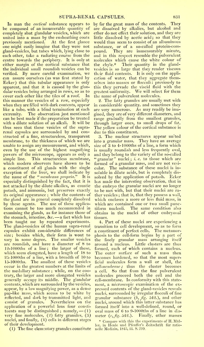 In man the cortical substance appears to be composed of an innumerable quantity of completely shut glandular vesicles, which are united into a mass by the ensheathing coats previously mentioned. At the first glance one might easily imagine that they were not gland-vesicles, but tubes which, lying close to each other, take a radiating course from the centre towards the periphery. It is only at cither margin of the cortical substance that the individual small roundish vesicles can be verified. By more careful examination, we can assure ourselves (as was first stated by Ecker) that this tubular appearance is only apparent, and that it is caused by the glan- dular vesicles being arranged in rows, so as to cover each other like the tiles of a roof. In this manner the vesicles of a row, especially when they are filled with dark contents, appear like a tube, with a blind termination at each extremity. The observation just mentioned can be best made if the preparation be treated with a dilute solution of an alkali. It will be thus seen that these vesicles of the supra- renal capsules are surrounded by and con- structed of a fine, structureless, transparent membrane, to the thickness of which we are unable to assign any measurement, and which, even by the use of the highest magnifying powers of the microscope, appears as only a simple line. This structureless membrane, which modern observers have shown to be a constituent of all glands with the single exception of the liver, we shall indicate by the name of the  membrana propria. It is especially distinguished by the fact, that it is not attacked by the dilute alkalies, as caustic potash, and ammonia, but preserves exactly its original appearance ; while the contents of the gland are in general completely dissolved by these agents. The use of these applica- tions cannot be too much recommended in examining the glands, as for instance those of the stomach, intestine, &c.—a fact which has been taught me by repeated experiments. The gland-vesicles of the human supra-renal capsules exhibit considerable differences of size; besides which, their form is wont to vary in some degree. The smaller vesicles are roundish, and have a diameter of 8 to 12-1000ths of a line; the larger of these, which seem elongated, have a length of 18 to 25-1000ths of a line, with a breadth of 10 to 15-1000ths. The smallest of these vesicles occur in the greatest numbers at the limits of the medullary substance ; while, on the con- trary, the larger and more elongated vesicles generally occupy its middle. The glandular contents, which are surrounded by the vesicles, appear, by a low magnifying power, as a dense pap-like mass, which seems to be white by reflected, and dark by transmitted light, and consist of granules. Nevertheless on the application of a powerful lens four consti- tuents maybe distinguished; namely, — (1) very fine molecules, (2) fatty granules, (3) nuclei, and finally, (4) cells in different stages of their development. (1) The fine elementary granules constitute by far the great mass of the contents. They are dissolved by alkalies, but alcohol and ether do not effect their solution, and they are little dissolved by acetic acid; so that they would thus seem to consist of an albuminous substance, or of a so-called protein-com- pound. They are immeasurably minute, anil in this respect resemble the pulverulent molecules which cause the white colour of the chyle.* Their quantity in the gland- vesicles is so large that they render viscous their fluid contents. It is only on the appli- cation of water, that they aggregate them- selves into masses or flocculi: previously to this they pervade the viscid fluid with the greatest uniformity. We will select for them the name of pulverulent molecules. 2. The fatty granules are usually met with in considerable quantity) and sometimes they are very numerous. As may readily be ima- gined, they are of very different diameters, and range graduallj' from the smallest granules, through larger ones, to small drops of fat. The yellow colour of the cortical substance is due to this constituent. 3. The nuclear structures appear uirted into a granular mass. They have an average size of 3 to 4-1000ths of a line, a form which is usually roundish and less frequently oval, and they belong to the variety of the so-called granular nuclei; i.e. to those which are formed of a granular mass, and are not vesi- cular. The substance of these nuclei is in- soluble in dilute acids, but is completely dis- solved by the application of potash. Ecker has made the interesting observation, that in the embryo the granular nuclei are no longer to be met with, but that their nuclei are ra- ther vesicles ; that is, that they possess a wall, which encloses a more or less fluid mass, in which are contained one or two small punc- tiform nucleoli. The same condition also obtains in the nuclei of other embryonal tissues. 4. Part of these nuclei are experiencing a transition to cell development, so as to form a constituent of perfect cells. The metamor- phosis to the cell-form begins by a part of the finely granular mass arranging itself around a nucleus. Little clusters are thus formed, each of which contains a nucleus. The outer surface of such a mass then becomes hardened, so that the most super- ficial molecules form a wall or shell, the cell-membrane; thus the cluster becomes a cell. So that from the fine pulverulent molecules proceed both the cell and the cell-membrane. In conformity with this state- ment, a microscopic examination of the ex- pressed contents of the gland-vesicles reveals nuclei, surrounded by irregular flocculi of fine granular substance {b, fig. 542.), and other nuclei, around which this latter tubstance has formed itself into a well-defined, round, or oval mass of 6 to 9-1000ths of a line in dia- meter (c,fig. 542.). Finally, other masses * Compare with this the experiments of H. Mid- ler, in Henle und Pfeufter's Zeitschrift flir ratio- nelle Medizin, 1845, iii. S. 299.