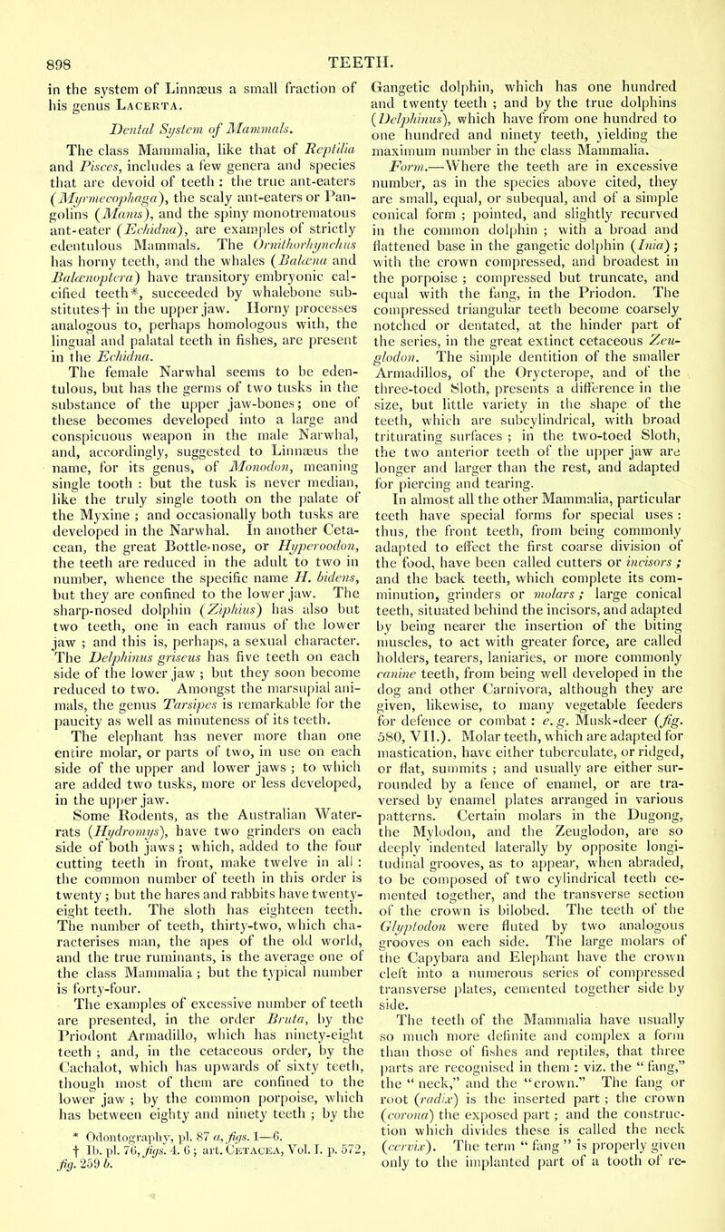 in the system of Linnaeus a small fraction of his genus Lacerta. Dental System of Mammals. The class Mammalia, like that of Rcptilia and Pisces, includes a few genera and species that are devoid of teeth : the true ant-eaters (Myrmecophaga), the scaly ant-eaters or Pan- golins {Mams), and the spiny monotrematous ant-eater (Echidna), are examples of strictly edentulous Mammals. The Ornithorkynchus has horny teeth, and the whales (Bahcna and BalcBnoptera) have transitory embryonic cal- cified teeth*, succeeded by whalebone sub- stitutesf in the upper jaw. Horny processes analogous to, perhaps homologous with, the lingual and palatal teeth in fishes, are present in the Echidna. The female Narwhal seems to be eden- tulous, but has the germs of two tusks in the substance of the upper jaw-bones; one of these becomes developed into a large and conspicuous weapon in the male Narwhal, and, accordingly, suggested to Linnaeus the name, for its genus, of Monodon, meaning single tooth : but the tusk is never median, like the truly single tooth on the palate of the Myxine ; and occasionally both tusks are developed in the Narwhal. In another Ceta- cean, the great Bottle-nose, or Hyperoodon, the teeth are reduced in the adult to two in number, whence the specific name H. bidens, but they are confined to the lower jaw. The sharp-nosed dolphin (Ziphius) has also but two teeth, one in each ramus of the lower jaw ; and this is, perhaps, a sexual character. The Delphinus griseus has five teeth on each side of the lower jaw ; but they soon become reduced to two. Amongst the marsupial ani- mals, the genus Tarsipcs is remarkable for the paucity as well as minuteness of its teeth. The elephant has never more than one entire molar, or parts of two, in use on each side of the upper and lower jaws ; to which are added two tusks, more or less developed, in the upper jaw. Some Rodents, as the Australian Water- rats (Hydromys), have two grinders on each side of both jaws; which, added to the four cutting teeth in front, make twelve in all : the common number of teeth in this order is twenty ; but the hares and rabbits have twenty- eight teeth. The sloth has eighteen teeth. The number of teeth, thirty-two, which cha- racterises man, the apes of the old world, and the true ruminants, is the average one of the class Mammalia ; but the typical number is forty-four. The examples of excessive number of teeth are presented, in the order Bruta, by the Priodont Armadillo, which has ninety-eight teeth ; and, in the cetaceous order, by the Cachalot, which has upwards of sixty teeth, though most of them are confined to the lower jaw ; by the common porpoise, which has between eighty and ninety teeth ; by the * Odontography, pi. 87 a,_fit/s. 1—G. t lb. pi. 7ii,Ji(js. 4. G; art. Cetacea, Vol. I. p. 572, fig. 259 b. Gangetic dolphin, which has one hundred and twenty teeth ; and by the true dolphins (Delphinus), which have from one hundred to one hundred and ninety teeth, yielding the maximum number in the class Mammalia. Form.—Where the teeth are in excessive number, as in the species above cited, they are small, equal, or subequal, and of a simple conical form ; pointed, and slightly recurved in the common dolphin ; with a broad and flattened base in the gangetic dolphin (Inia); with the crown compressed, and broadest in the porpoise ; compressed but truncate, and equal with the fang, in the Priodon. The compressed triangular teeth become coarsely notched or dentated, at the hinder part of the series, in the great extinct cetaceous Zeu- glodon. The simple dentition of the smaller Armadillos, of the Orycterope, and of the three-toed Sloth, presents a difference in the size, but little variety in the shape of the teeth, which are subcylindrical, with broad triturating surfaces ; in the two-toed Sloth, the two anterior teeth of the upper jaw are longer and larger than the rest, and adapted for piercing and tearing. In almost all the other Mammalia, particular teeth have special forms for special uses : thus, the front teeth, from being commonly adapted to effect the first coarse division of the food, have been called cutters or incisors ; and the back teeth, which complete its com- minution, grinders or molars; large conical teeth, situated behind the incisors, and adapted by being nearer the insertion of the biting muscles, to act with greater force, are called holders, tearers, laniaries, or more commonly canine teeth, from being well developed in the dog and other Carnivora, although they are given, likewise, to many vegetable feeders for defence or combat: e.g. Musk-deer (Jig. 580, VII.). Molar teeth, which are adapted for mastication, have either tuberculate, or ridged, or flat, summits ; and usually are either sur- rounded by a fence of enamel, or are tra- versed by enamel plates arranged in various patterns. Certain molars in the Dugong, the Mylodon, and the Zeuglodon, are so deeply indented laterally by opposite longi- tudinal grooves, as to appear, when abraded, to be composed of two cylindrical teeth ce- mented together, and the transverse section of the crown is bilobed. The teeth of the Glyptodon were fluted by two analogous grooves on each side. The large molars of the Capybara and Elephant have the crown cleft into a numerous series of compressed transverse plates, cemented together side by side. The teeth of the Mammalia have usually so much more definite and complex a form than those of fishes and reptiles, that three parts are recognised in them : viz. the  fang, the neck, and the crown. The fang or root (radix) is the inserted part ; the crown (corona) the exposed part; and the construe tion which divides these is called the neck (cervix). The term  fang  is properly given only to the implanted part of a tooth of re-