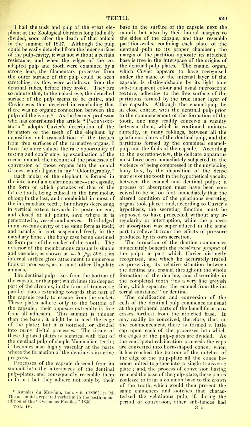 I had the tusk and pulp of the great ele- phant at the Zoological Gardens longitudinally divided, soon after the death of that animal in the summer of 1847. Although the pulp could be easily detached from the inner surface of the pulp-cavity, it was not without a certain resistance, and when the edges of the co- adapted pulp and tooth were examined by a strong lens, the filamentary processes from the outer surface of the pulp could be seen stretching, as they were withdrawn from the dentinal tubes, before they broke. They are so minute that, to the naked eye, the detached surface of the pulp seems to be entire, and Cuvier was thus deceived in concluding that there was no organic connection between the pulp and the ivory.* As the learned professor who has contributed the article  Paciiyder- mata  adopts Cuvier's description of the formation of the teeth of the elephant by deposition and transudation of the tissues from free surfaces of the formative organs, I have the more valued the rare opportunity of testing and confirming, by examination of the recent animal, the account of the processes of conversion of those organs into the dental tissues, which I gave in my  Odontography. Each molar of the elephant is formed in the interior of a membranous sac—the capside, the form of which partakes of that of the future tooth, being cubical in the first molar, oblong in the last, and rhomboidal in most of the intermediate teeth ; but always decreasing in vertical extent towards its posterior end, and closed at all points, save where it is penetrated by vessels and nerves. It is lodged in an osseous cavity of the same form as itself, and usually in part suspended freely in the maxillary bone ; the bony case being destined to form part of the socket of the tooth. The exterior of the membranous capsule is simple and vascular, as shown at m. 5, fg. 592. ; its internal surface gives attachment to numerous folds or processes, as in most other Ungulate animals. The dentinal pulp rises from the bottom of the capsule, or that part which lines the deepest part of the alveolus, in the form of transverse parallel plates extending towards that part of the capsule ready to escape from the socket. These plates adhere only to the bottom of the capsule ; their opposite extremity is free from all adhesion. This summit is thinner than the base ; it might be termed the edge of the plate: but it is notched, or divided into many digital processes. The tissue of these digitated plates is identical with that of the dentinal pulp of simple Mammalian teeth ; it becomes also highly vascular at the parts where the formation of the dentine is in active progress. Processes of the capsule descend from its summit into the interspaces of the dentinal pulp-plates, and consequently resemble them in form ; but they adhere not only by their * Annales du Museum, torn. viii. (1806), p. 94. The account is repeated verbatim in the posthumous edition of the Ossemens Fossiles, 183G. VOL. IV. base to the surface of the capsule next the mouth, but also by their lateral margins to the sides of the capsule, and thus resemble partition-walls, confining each plate of the dentinal pulp to its proper chamber ; the margin of the partition opposite its attached base is free in the interspace of the origins of the dentinal pulp plates. The enamel organ, which Cuvier appears to have recognised under the name of the internal layer of the capsule, is distinguishable by its light blue sub-transparent colour and usual microscopic texture, adhering to the free surface of the partitions formed by the true inner layer of the capsule. Although the enamel-pulp be in close contact with the dentinal pulp prior to the commencement of the formation of the tooth, one may readily conceive a vacuity between them, which is continued uninter- ruptedly, in many foldings, between all the gelatinous plates of the dentinal pulp, and the partitions formed by the combined enamel- pulp and the folds of the capsule. According to the excretion-view, this delicate apparatus must have been immediately subjected to the violence of being compressed in the unyielding bony box, by the deposition of the elense matters of the tooth in the hypothetical vacuity between the enamel and dentinal pulps; a process of absorption must have been con- ceived to be set on foot immediately that the altered condition of the gelatinous secreting organs took place ; and, according to Cuvier's hypothesis, the secreting function must be supposed to have proceeded, without any ir- regularity or interruption, while the process of absorption was superinduced in the same part to relieve it from the effects of pressure produced by its own secretion. The formation of the dentine commences immediately beneath the membrana prriprla of the pulp: a part which Cuvier distinctly recognised, and which he accurately traced as preserving its relative situation between the dentine and enamel throughout the whole formation of the dentine, and discernible in the completed tooth i£ as a verv fine greyish line, which separates the enamel from the in- ternal substance  or dentine. The calcification and conversion of the cells of the dentinal pulp commence as usual at the peripheral parts of the lamelliform pro- cesses furthest from the attached base. It may readily be conceived, therefore, that, at the commencement, there is formed a little cap upon each of the processes into which the edges of the pulp-plates are divided. As the centripetal calcification proceeds the caps are converted into horn-shaped cones ; when it has reached the bottom of the notches of the edge of the pulp-plate all the cones be- come united together into a single transverse plate ; and, the process of conversion having reached the base of the pulp-plate, these plates coalesce to form a common base to the crown of the tooth, which would then present the same eminences and notches that charac- terised the gelatinous pulp, if, during the period of conversion, other substances had 3 o