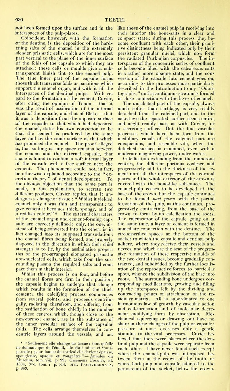 not been formed upon the surface and in the interspaces of the pulp-plates. Coincident, however, with the formation of the dentine, is the deposition of the hard- ening salts of the enamel in the extremely slender prismatic cells, which are for the most part vertical to the plane of the inner surface of the folds of the capsule to which they are attached ; these cells or moulds give a sub- transparent bluish tint to the enamel pulp. The true inner part of the capsule forms those thick transverse folds or partitions which support the enamel organ, and with it fill the interspaces of the dentinal pulps. With re- gard to the formation of the cement, Cuvier, alter citing the opinion of Tenon — that it was the result of ossification of the internal layer of the capsule, and that of Blake — that it was a deposition from the opposite surface of the capsule to that which had deposited the enanael, states his own conviction to be that the cement is produced by the same iayer and by the same surface as that which has produced the enamel. The proof alleged is, that so long as any space remains between the cement and the external capsule, that space is found to contain a soft internal layer of the capsule with a free surface next the cement. The phenomena could not, in fact, be otherwise explained according to the  ex- cretion theory  of dental development. To the obvious objection that the same part is made, hi this explanation, to secrete two different products, Cuvier replies, that it un- dergoes a change of tissue :  Whilst it yielded enamel only it was thin and transparent; to give cement it becomes thick, spongy, and of a reddish colour. * The external characters of the enamel organ and cement-forming cap- sule are correctly defined; only, the one, in- stead of being .converted into the other, is in fact changed into its supposed transudation : the enamel fibres being formed, and properly disposed in the direction in which their chief Strength is to lie, by the assimilatiye proper- ties of the pre-arranged elongated prismatic non-nneleated cells, which take from the sur- rounding plasma the required salts and com- pact them in their interior. Whilst this process is on foot, and before the enamel fibres are firm in their position, the capsule begins to undergo that change which results in the formation of the thick cement; the calcifying process commences from several points, and proceeds centrifu- gaily, radiating therefrom, and differing from the ossification of bone chief!)' in the number of these centres, which, though close to the new-formed enamel, are in the substance of the inner vascular surface of the capsular folds. The cells arrange themselves in con- centric layers around the vessels, and act *  Seulement elle change de tissue: tant qu'elle ne dounait que de l'email, elle etait mince et fcransr parents; pour doaner du cortical elle devient epaisse, spongieuse, opaque et rougeatre. — Annales du Museum, torn. viii. p. 99; Ossemens Fossiles, ed. 1S;J4, 8vo. torn, i p. 514. Art. Pachydermata, p. 869. like those of the enamel pu!p in receiving into their interior the bone-salts in a clear and compact state; during this process they be- come confluent with each other, their primi- tive distinctness being indicated only by their persistent granular nuclei, which now form the radiated Purkiujian corpuscles. The in- terspaces of the concentric series of confluent cells become filled with the calcareous salts in a rather more opaque state, and the con- version of the capsule into cement goes on, according to the processes more particularly described in the Introduction to my  Odon- tography, until a continuous stratum is formed in close connection with the layer of enamel. The uncalcified part of the capsule, always much softer than cartilage, is very readily detached from the calcified part, and to the naked eye the separated surface seems entire, and might readily pass, as with Cuvier, for a secreting surface. But the fine vascular processes which have been torn from the medullary canals of the calcified part are conspicuous, and resemble villi, when the detached surface is examined, even with a moderate magnifying power, under water. Calcification extending from the numerous centres, the different portions coalesce and progressively add to the thickness of the ce- ment until all the interspaces of the coronal plates and the whole exterior of the crown is covered with the bone-like substance. The enamel-pulp ceases to be developed at the base of the crown, but the capsule continues to be formed pari passu with the partial formation of the pulp, as this continues, pro- gressively contracting, from the base of the crown, to form by its calcification the roots. The calcification of the capsule going on at the same time, a layer of cement is formed in immediate connection with the dentine. The circumscribed spaces at the bottom of the socket to which the capsule and dentinal pulp adhere, where they receive their vessels and nerves, and which are the seat of the progres- sive formation of these respective moulds of the two dental tissues, become gradually con- tracted, and subdivided by the further localis- ation of the reproductive forces to particular spots, whence the subdivision of the base into roots. The surrounding bone undergoes cor- responding modifications, growing and filling up the interspaces left by the dividing and contracting points of attachment of the re- siduary matrix. All is subordinated to one harmonious law of growth by vascular action and cell-formation, and of molecular decre- ment modifying form by absorption. Me- chanical squeezing or drawing out have no share in these changes of the pulp or capsule ; pressure at most exercises only a gentle stimulus to the vital processes. Cuvier be- lieved that there were places where the den- tinal pulp and the capsule were separate from each other. I have never found such except where the enamel-pulp was interposed be- tween them in the crown of the tooth, or where both pulp and capsule adhered to the periosteum of the socket, below the crown.