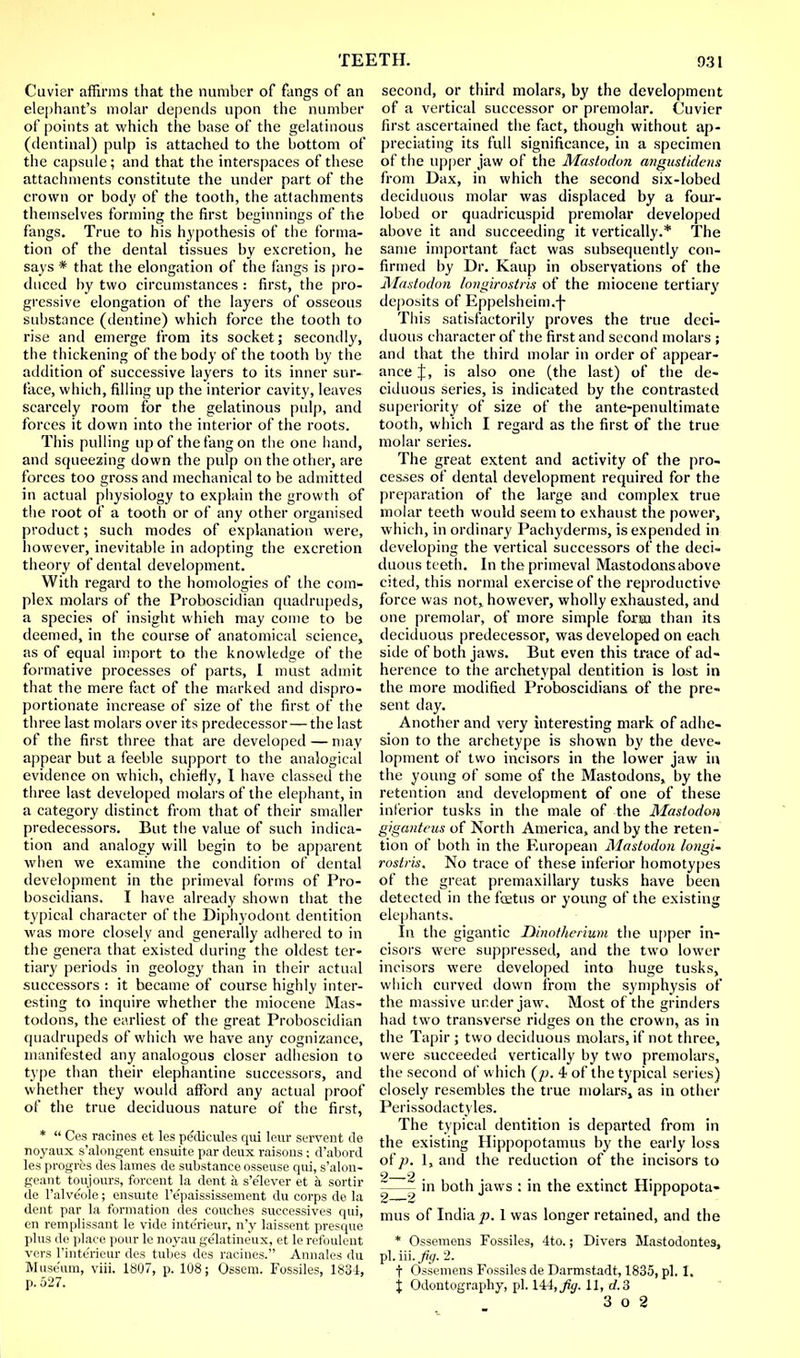 Cuvier affirms that the number of fangs of an elephant's molar depends upon the number of points at which the base of the gelatinous (dentinal) pulp is attached to the bottom of the capsule; and that the interspaces of these attachments constitute the under part of the crown or body of the tooth, the attachments themselves forming the first beginnings of the fangs. True to his hypothesis of the forma- tion of the dental tissues by excretion, he says * that the elongation of the fangs is pro- duced by two circumstances : first, the pro- gressive elongation of the layers of osseous substance (dentine) which force the tooth to rise and emerge from its socket; secondly, the thickening of the body of the tooth by the addition of successive layers to its inner sur- face, which, filling up the interior cavity, leaves scarcely room for the gelatinous pulp, and forces it down into the interior of the roots. This pulling up of the fang on the one hand, and squeezing down the pulp on the other, are forces too gross and mechanical to be admitted in actual physiology to explain the growth of the root of a tooth or of any other organised product; such modes of explanation were, however, inevitable in adopting the excretion theory of dental development. With regard to the homologies of the com- plex molars of the Proboscidian quadrupeds, a species of insight whieh may come to be deemed, in the course of anatomical science, as of equal import to the knowledge of the formative processes of parts, I must admit that the mere fact of the marked and dispro- portionate increase of size of the first of the three last molars over its predecessor — the last of the first three that are developed — may appear but a feeble support to the analogical evidence on which, chiefly, I have classed the three last developed molars of the elephant, in a category distinct from that of their smaller predecessors. But the value of such indica- tion and analogy will begin to be apparent when we examine the condition of dental development in the primeval forms of Pro- boscidians. I have already shown that the typical character of the Diphyodont dentition was more closely anil generally adhered to in the genera that existed during the oldest ter- tiary periods in geology than in their actual successors : it became of course highly inter- esting to inquire whether the miocene Mas- todons, the earliest of the great Proboscidian quadrupeds of which we have any cognizance, manifested any analogous closer adhesion to type than their elephantine successors, and whether they would afford any actual proof of the true deciduous nature of the first, *  Ces racines et les pe'dicules qui lour servent de noyaux s'alongent ensuit.e par deux raisons: d'abord les progres des lames de substance osseuse qui, s'alon- geant toujours, forcent la dent a s'e'lever et a sortir de l'alveole; ensuite l'epaississement du corps de la dent par la formation des couches successives qui, en remplissant le vide intc'rieur, n'y laissent presque plus de place pour le noyau gelatineux, et le refoulent vers l'interieur des tubes des racines. Annales du Museum, viii. 1807, p. 108; Ossem. Fossiles, 1834, p. 527. second, or third molars, by the development of a vertical successor or premolar. Cuvier first ascertained the fact, though without ap- preciating its full significance, in a specimen of the upper jaw of the Mastodon angustidens from Dax, in which the second six-lobed deciduous molar was displaced by a four- lobed or quadricuspid premolar developed above it and succeeding it vertically.* The same important fact was subsequently con- firmed by Dr. Kaup in observations of the Mastodon longirostris of the miocene tertiary deposits of Eppelsheim.f This satisfactorily proves the true deci- duous character of the first and second molars ; and that the third molar in order of appear- ance J, is also one (the last) of the de- ciduous series, is indicated by the contrasted superiority of size of the ante-penultimate tooth, which I regard as the first of the true molar series. The great extent and activity of the pro- cesses of dental development required for the preparation of the large and complex true molar teeth would seem to exhaust the power, which, in ordinary Pachyderms, is expended in developing the vertical successors of the deci- duous teeth. In the primeval Mastodons above cited, this normal exercise of the reproductive force was not, however, wholly exhausted, and one premolar, of more simple form than its deciduous predecessor, was developed on each side of both jaws. But even this trace of ad- herence to the archetypal dentition is lost in the more modified Proboscidians of the pre- sent day. Another and very interesting mark of adhe- sion to the archetype is shown by the deve- lopment of two incisors in the lower jaw in the young of some of the Mastodons, by the retention and development of one of these inferior tusks in the male of the Mastodon giganteus of North America, and by the reten- tion of both in the European Mastodon longi- rostris. No trace of these inferior homotypes of the great premaxillary tusks have been detected in the fcetus or young of the existing elephants. In the gigantic Ilinotherium the upper in- cisors were suppressed, and the two lower incisors were developed into huge tusks, which curved down from the symphysis of the massive under jaw. Most of the grinders had two transverse ridges on the crown, as in the Tapir ; two deciduous molars, if not three, were succeeded vertically by two premolars, the second of which (p. 4 of the typical series) closely resembles the true molars, as in other Peiissodactyles. The typical dentition is departed from in the existing Hippopotamus by the early loss of p. 1, and the reduction of the incisors to -—- in both jaws : in the extinct Hippopota- mus of India p. 1 was longer retained, and the * Ossemens Fossiles, 4to.; Divers Mastodontes, pLiii.J%f. 2. f Ossemens Fossiles de Darmstadt, 1835, pi. I. j Odontography, pi. 144,Jig. 11, rf.3