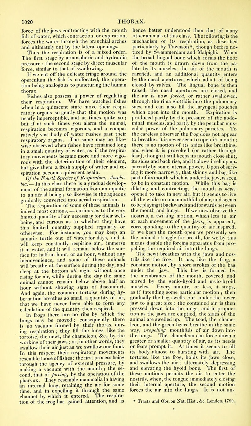 force of the jaws contracting with the mouth full of water, which contraction, or expiration, forces the water through the branchial arches and ultimately out by the lateral openings. Thus the respiration is of a mixed order. The first stage by atmospheric and hydraulic pressure ; the second stage by direct muscular force, similar to that of swallowing. If we cut oft'the delicate fringe around the operculum the fish is suffocated, the opera- tion being analogous to puncturing the human thorax. Fishes also possess a power of regulating their respiration. We have watched fishes when in a quiescent state move their respi- ratory organs so gently that the motion was nearly imperceptible, and at times quite so ; but if at such times you alarm the animal, respiration becomes vigorous, and a compa- ratively vast body of water rushes past their respiratory organs. The same may be like- wise observed when fishes have remained long in a small quantity of water, as if the respira- tory movements became more and more vigo- rous with the deterioration of their element, but give them a fresh supply of water and re- spiration becomes quiescent again. Of the Fourth Species of Respiration. Ampin- Ha.— ln this class there is a gradual develop- ment of the animal formation from an aquatic to an aerial being; so likewise is the aqueous gradually converted into aerial respiration. The respiration of some of these animals is indeed most curious, — curious as to the very limited quantity of air necessary for their well- being, and curious as to whether they have this limited quantity supplied regularly or otherwise. For instance, you may keep an aquatic turtle out of water for da3's, and it will keep constantly respiring air; immerse it in water, and it will remain below the sur- face for half an hour, or an hour, without any inconvenience, and some of these animals will breathe at the surface during the day, and- sleep at the bottom all night without once rising for air, while during the day the same animal cannot remain below above half an hour without showing signs of discomfort. And again, the common tortoise during hy- bernation breathes so small a quantity of air, that we have never been able to form any calculation of the quantity then respired. In frogs there are no ribs by which the lungs may be moved ; consequently there is no vacuum formed by their thorax dur- ing respiration ; they fill the lungs like the tortoise, the newt, the chameleon, &c, by the working of their jaws ; or, in other words, they swallow their air just as we swallow our food. In this respect their respiratory movements resemble those of fishes; the first process being through the agency of external pressure, by making a vacuum with the mouth ; the se- cond, that of forcing, by the operation of the pharynx. They resemble mammalia in having an internal lung, retaining the air for some time, and in expelling it through the same channel by which it entered. The respira- tion of the frog has gained attention, and is hence better understood than that of many other animals of this class. The following is the mechanism of its respiration, as described particularly by Townson *, though before no- ticed by Swammerdam and Malpighi. When the broad lingual bone which forms the floor of the mouth is drawn down from the pa- late by its muscles, the air of the mouth is rarefied, and an additional quantity enters by the nasal apertures, which admit of being closed by valves. The lingual bone is then raised, the nasal apertures are closed, and the air is now forced, or rather swallowed, through the rima glottidis into the pulmonary sacs, and can also fill the laryngeal pouches which open into the mouth. Expiration is produced partly by the pressure of the abdo- minal muscles, and partly by the peculiar mus- cular power of the pulmonary parietes. To the careless observer the frog does not appear to breathe : it is never seen to open its mouth ; there is no motion of its sides like breathing, and when it is provoked (or rather through fear), though it still keeps its mouth close shut, its sides and back rise, and it blows itself up ap- parently by some internal power. Upon observ- ing it more narrowly, that skinny and bag-like part of its mouth which is under the jaw, is seen to be in constant motion. While this bag is dilating and contracting, the mouth is never opened to take in new air, but it seems to live all the while on one mouthful of air, and seems to be playing it backwards and forwards between the mouth and lungs. If we now observe the nostrils, a twirling motion, which lets in air at each movement of the jaws, is apparent, corresponding to the quantity of air inspired. If we keep the mouth open we present!}' see the animal struggle for breath, for we by this means disable the forcing apparatus from pro- pelling the required air into the lungs. The newt breathes with the jaws and nos- trils like the frog. It has, like the frog, a constant motion, by short strokes of the bag under the jaw. This bag is formed by the membranes of the mouth, covered and moved by the genio-hyoid and mylo-hyoid muscles. Every minute, or less, it stops, as if intending some particular motion ; then gradually the bag swells out under the lower jaw to a great size; the contained air is then pressed down into the lungs, and in propor- tion as the jaws are emptied, the sides of the animal are swelled up. The toad, the chame- leon, and the green lizard breathe in the same way, propelling mouthfuls of air down into the lungs. The chameleon can force down a greater or smaller quantity of air, as its needs or fears prompt it. At times it seems to fill its body almost to bursting with air. The tortoise, like the frog, holds its jaws close, and swallows the air ; alternately depressing and elevating the hyoid bone. The first of these motions permits the air to enter the nostrils, when, the tongue immediately closing their internal aperture, the second motion forces the air into the lungs. It is not un- * Tracts and Obs. on Nat. Hist., &c, London, 1799.