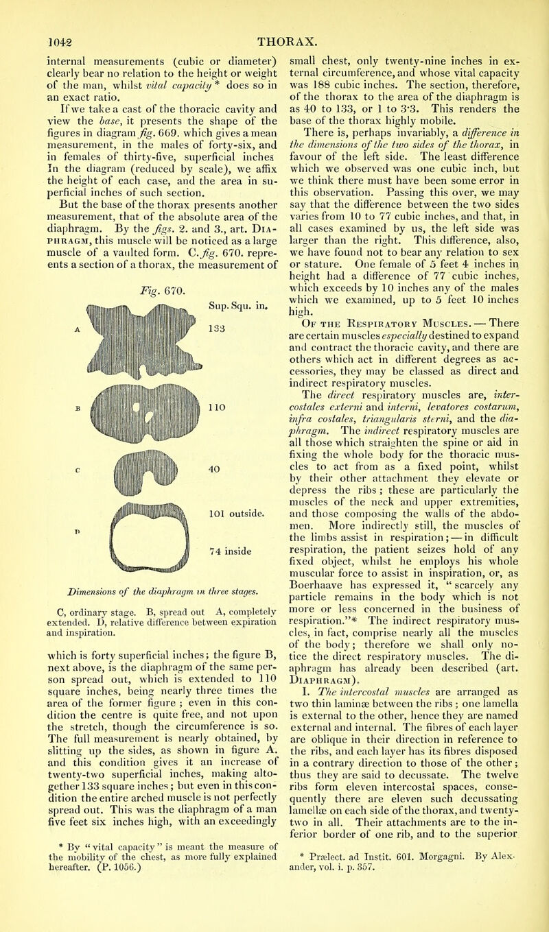 internal measurements (cubic or diameter) clearly bear no relation to the height or weight of the man, whilst vital capacity * does so in an exact ratio. If we take a cast of the thoracic cavity and view the base, it presents the shape of the figures in diagram fig. 669. which gives a mean measurement, in the males of forty-six, and in females of thirty-five, superficial inches In the diagram (reduced by scale), we affix the height of each case, and the area in su- perficial inches of such section. But the base of the thorax presents another measurement, that of the absolute area of the diaphragm. By the Jigs. 2. and 3., art. Dia- phragm, this muscle will be noticed as a large muscle of a vaulted form. C.Jig. 670. repre- ents a section of a thorax, the measurement of Fig. 670. •lliiiimiiflHIti. ^mlllllllliiniiUK, Sup. Squ. in. 110 'HilllilP ipw™^ ,pP™Miili!:' 1 % 1°1 outside. I I §L J 74 inside Dimensions of the diaphragm in three stages. C, ordinary stage. B, spread out A, completely extended. D, relative difference between expiration and inspiration. which is forty superficial inches; the figure B, next above, is the diaphragm of the same per- son spread out, which is extended to 110 square inches, being nearly three times the area of the former figure ; even in this con- dition the centre is quite free, and not upon the stretch, though the circumference is so. The full measurement is nearly obtained, by slitting up the sides, as shown in figure A. and this condition gives it an increase of twenty-two superficial inches, making alto- gether 133 square inches; but even in this con- dition the entire arched muscle is not perfectly spread out. This was the diaphragm of a man five feet six inches high, with an exceedingly * By  vital capacity is meant the measure of the mobility of the chest, as more fully explained hereafter. (P. 1056.) small chest, only twenty-nine inches in ex- ternal circumference, and whose vital capacity- was 188 cubic inches. The section, therefore, of the thorax to the area of the diaphragm is as 40 to 133, or 1 to 3'3. This renders the base of the thorax highly mobile. There is, perhaps invariably, a difference in the dimensions of the two sides of the thorax, in favour of the left side. The least difference which we observed was one cubic inch, but we think there must have been some error in this observation. Passing this over, we may say that the difference between the two sides varies from 10 to 77 cubic inches, and that, in all cases examined by us, the left side was larger than the right. This difference, also, we have found not to bear any relation to sex or stature. One female of 5 feet 4 inches in height had a difference of 77 cubic inches, which exceeds by 10 inches any of the males which we examined, up to 5 feet 10 inches high. Of the Respiratorv Muscles. — There are certain muscles especially destined to expand and contract the thoracic cavity, and there are others which act in different degrees as ac- cessories, they may be classed as direct and indirect respiratory muscles. The direct respirator}' muscles are, inter- costales externi and interni, levatores costarum, infra costa/es, triangularis sterni, and the dia- phragm. The indirect respiratory muscles are all those which straighten the spine or aid in fixing the whole body for the thoracic mus- cles to act from as a fixed point, whilst by their other attachment they elevate or depress the ribs; these are particularly the muscles of the neck and upper extremities, and those composing the walls of the abdo- men. More indirectly still, the muscles of the limbs assist in respiration; — in difficult respiration, the patient seizes hold of any fixed object, whilst he employs his whole muscular force to assist in inspiration, or, as Boerhaave has expressed it,  scarcely any particle remains in the body which is not more or less concerned in the business of respiration.* The indirect respiratory mus- cles, in fact, comprise nearly all the muscles of the body; therefore we shall only no- tice the direct respiratory muscles. The di- aphragm has already been described (art. Diaphragm). I. The intercostal muscles are arranged as two thin laminae between the ribs ; one lamella is external to the other, hence they are named external and internal. The fibres of each layer are oblique in their direction in reference to the ribs, and each layer has its fibres disposed in a contrary direction to those of the other; thus they are said to decussate. The twelve ribs form eleven intercostal spaces, conse- quently there are eleven such decussating lamellas on each side of the thorax, and twenty- two in all. Their attachments are to the in- ferior border of one rib, and to the superior * Prelect, ad Instit. 601. Morgagni. By Alex, ander, vol. i. p. 357.